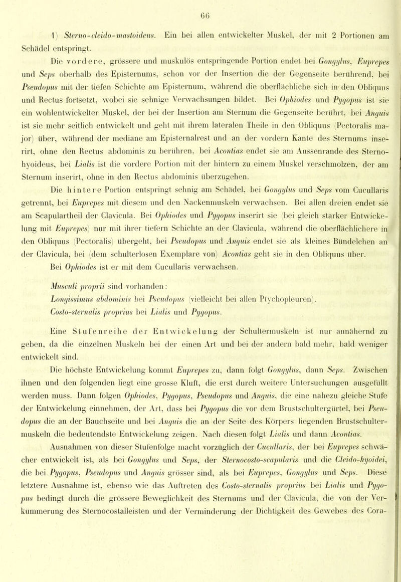 1) Sterno-cleido-mastoideus. Ein bei allen entwickelter Muskel, der mit 2 Portionen am Schädel entspringt. Die vordere, grössere und muskulös entspringende Portion endet bei Gongylus, Euprepes und Seps oberhalb des Episternums, schon vor der Insertion die der Gegenseite berührend, bei Psendopus mit der tiefen Schichte am Episternum, während die oberflächliche sich in- den Obliquus und Rectus fortsetzt, wobei sie sehnige Verwachsungen bildet. Bei Ophiodes und Pygopus ist sie ein wohlentwickelter Muskel, der bei der Insertion am Sternum die Gegenseite berührt, bei Anguis ist sie mehr seitlich entwickelt und geht mit ihrem lateralen Theile in den Obliquus (Pectoralis ma- jor) über, während der mediane am Episternalrest und an der vordem Kante des Sternums inse- rirt, ohne den Rectus abdominis zu berühren, bei Acontias endet sie am Aussenrande des Sterno- hyoideus, bei Lialis ist die vordere Portion mit der hintern zu einem Muskel verschmolzen, der am Sternum inserirt, ohne in den Rectus abdominis überzugehen. Die hintere Portion entspringt sehnig am Schädel, bei Gongylus und Seps vom Cueullaris getrennt, bei Euprepes mit diesem und den Nackenmuskeln verwachsen. Bei allen dreien endet sie am Scapulartheil der Clavicula. Bei Ophiodes und Pygopus inserirt sie (bei gleich starker Entwicke- lung mit Euprepes) nur mit ihrer tiefern Schichte an der Clavicula, während die oberflächlichere in den Obliquus (Pectoralis) übergeht, bei Pseudopus und Anguis endet sie als kleines Bundelchen an der Clavicula, bei (dem schulterlosen Exemplare von) Acontias geht sie in den Obliquus über. Bei Ophiodes ist er mit dem Cueullaris verwachsen. Musctdi proprii sind vorhanden: Longissimus abdominis bei Pseudopus (vielleicht bei allen Ptychopleuren). Costo-sternalis proprius bei Lialis und Pygopus. Eine Stufenreihe der Entwickelung der Schultermuskeln ist nur annähernd zu geben, da die einzelnen Muskeln bei der einen Art und bei der andern bald mehr, bald weniger entwickelt sind. Die höchste Entwickelung kommt Euprepes zu, dann folgt Gongylus, dann Seps. Zwischen ihnen und den folgenden liegt eine grosse Kluft, die erst durch weitere Untersuchungen ausgefüllt werden muss. Dann folgen Ophiodes, Pygopus, Pseudopus und Anguis, die eine nahezu gleiche Stufe der Entwickelung einnehmen, der Art, dass bei Pygopus die vor dem Brustschultergürtel, bei Pseu- dopus die an der Bauchseite und bei Anguis die an der Seite des Körpers liegenden Brustschulter- muskeln die bedeutendste Entwickelung zeigen. Nach diesen folgt Lialis und dann Acontias. Ausnahmen von dieser Stufenfolge macht vorzüglich der Cueullaris, der bei Euprepes schwä- cher entwickelt ist, als bei Gongylus und Seps, der Slernocosto-scapularis und die Cleido-hyoidei, die bei Pygopus, Pseudopus und Anguis grösser sind, als bei Euprepes, Gongylus und Seps. Diese letztere Ausnahme ist, ebenso wie das Auftreten des Costo-sternalis proprius bei Lialis und Pygo- pus bedingt durch die grössere Beweglichkeit des Sternums und der Clavicula, die von der Ver- kümmerung des Sternocostalleisten und der Verminderung der Dichtigkeit des Gewebes des Cora-