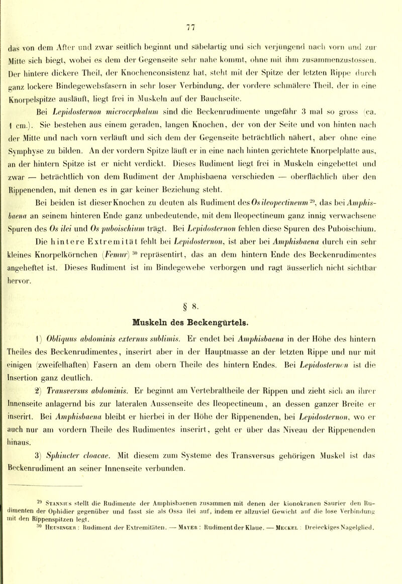 das von dem After und zwar seitlich beginnt und säbelartig und sich verjüngend nach vorn und zur Mitte sich biegt, wobei es dem der Gegenseite sehr nahe kommt, ohne mit ihm zusammenzustoßen. Der hintere dickere Theil, der Knochenconsistenz hat, steht mit der Spitze der letzten Hippe durch ganz lockere Bindegewebsfasern in sehr loser Verbindung, der vordere schmälere Theil. der in eine Knorpelspitze ausläuft, liegt frei in Muskeln auf der Bauchseite. Bei Lepidosternon microeephalum sind die Beckenrudimente ungefähr 3 mal so gross (ca. \ cm.). Sie bestehen aus einem geraden, langen Knochen, der von der Seite und von hinten nach der Mitte und nach vorn verläuft und sich dem der Gegenseite beträchtlich nähert , aber ohne eine Symphyse zu bilden. An der vordem Spitze läuft er in eine nach hinten gerichtete Knorpelplatte aus, an der hintern Spitze ist er nicht verdickt. Dieses Rudiment liegt frei in Muskeln eingebettet und zwar — beträchtlich von dem Rudiment der Amphisbaena verschieden — oberflächlich über den Rippenenden, mit denen es in gar keiner Beziehung steht. Bei beiden ist dieser Knochen zu deuten als Rudiment des Os ileopectineum^, das hei Amphis- baena an seinem hinteren Ende ganz unbedeutende, mit dem Ileopectineum ganz innig verwachsene Spuren des Os ilei und Os puboischium trägt. Bei Lepidosternon fehlen diese Spuren des Puboischium. Die hintere Extremität fehlt bei Lepidosternon, ist aber bei Amphisbaena durch ein sehr kleines Knorpelkörnchen (Femur) 30 repräsentirt , das an dem hintern Ende des Beckenrudimentes angeheftet ist. Dieses Rudiment ist im Bindegewebe verborgen und ragt äusserlich nicht sichtbar hervor. § 8. Muskeln des Beckengürtels. 1) Obliquus abdominis externus sublimis. Er endet bei Amphisbaena in der Höhe des hintei n Theiles des Beckenrudimentes, inserirt aber in der Hauptmasse an der letzten Rippe und nur mit einigen (zweifelhaften) Fasern an dem obern Theile des hintern Endes. Bei Lepidosternon ist die Insertion ganz deutlich. 2) Transversus abdominis. Er beginnt am Vertebraltheile der Rippen und zieht sich an ihrer Innenseite anlagernd bis zur lateralen Aussenseite des Ileopectineum, an dessen ganzer Breite er inserirt. Bei Amphisbaena bleibt er hierbei in der Höhe der Rippenenden, bei Lepidosternon. wo er auch nur am vordem Theile des Rudimentes inserirt , geht er über das Niveau der Rippenenden hinaus. 3) Sphincter cloacae. Mit diesem zum Systeme des Transversus gehörigen Muskel ist das Beckenrudiment an seiner Innenseite verbunden. 2!l Stanmi s stellt die Rudimente der Amphisbaenen zusammen mit denen der kiunokranen Saurier den Ru- dimenten der Ophidier gegenüber und fasst sie als Ossa ilei auf, indem er allzuviel Gewicht, auf die lose Verbindung mit den Rippenspitzen legt. 30 Heusinger: Rudiment der Extremitäten.—-Mayer: Rudiment der Klaue. — Meckel: Dreieckiges Naselslied.