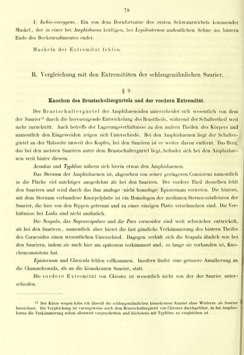 4) Ischio-coccygeus. Ein von dem Dornfortsatze des ersten Schwanzwirbels kommender Muskel, der in einer bei Aniphisbaena kräftigen, bei Lepidosternon undeutlichen Sehne am hintern Ende des Beckenrudimentes endet. Muskeln der Extremität fehlen. B, Yergleichung mit den Extremitäten der schlangenähnlichen Saurier. § 9. Knochen des Brustschultergürtels und der vordem Extremität. Der Brustschultergürtel der Amphibaenoiden unterscheidet sich wesentlich von dem der Saurier31 durch die hervorragende Entwicklung des Brusttheils, während der Schultertheil weit mehr zurücktritt. Auch betreffs der Lagerungsverhältnisse zu den andern Theilen des Körpers und namentlich den Eingeweiden zeigen sich Unterschiede. Bei den Amphisbaenen liegt der Schulter- gürtel an der Halsseite unweit des Kopfes, bei den Sauriern ist er weiter davon entfernt. Das Herz, das bei den meisten Sauriern unter dem Brustschultergürtel liegt, befindet sich bei den Amphisbae- nen weit hinter diesem. Acontias und Typhline nähern sich hierin etwas den Amphisbaenen. Das Sternum der Amphisbaenen ist, abgesehen von seiner geringeren Consistenz namentlich in die Fläche viel mächtiger ausgedehnt als bei den Sauriern. Der vordere Theil desselben fehlt den Sauriern und wird durch das ihm analoge (nicht homologe) Episternum vertreten. Die hintere, mit dem Sternum verbundene Knorpelplatte ist ein Homologon der medianen Sternocostalleisten der Saurier, die hier von den Bippen getrennt und zu einer einzigen Platte verschmolzen sind. Die Ver- hältnisse bei Lialis sind nicht unähnlich. Die Scapula, das Suprascapulare und die Pars coracoidea sind weit schwächer entwickelt, als bei den Sauriern, namentlich aber bietet die fast gänzliche Verkümmerung des hintern Theiles des Coracoides einen wesentlichen Unterschied. Dagegen verhält sich die Scapula ähnlich wie bei den Sauriern, indem sie auch hier am spätesten verkümmert und, so lange sie vorhanden ist, Kno- chenconsistenz hat. Episternum und Clavicula fehlen vollkommen. Insofern findet eine grössere Annäherung an die Chamaeleonida, als an die kionokranen Saurier, statt. Die vordere Extremität von Chiroles ist wesentlich nicht von der der Saurier unter- schieden. 31 Der Kürze wegen habe ich überall die schlangenähnlichen kionokranen Saurier ohne Weiteres als Saurier bezeichnet. Die Vergleichung ist vorzugsweise nach dem Bruslschultergürtel von Chirotes durchgeführt, da bei Amphis- baena die Verkümmerung schon allzuweit vorgeschritten und höchstens mit Typhline zu vergleichen ist.