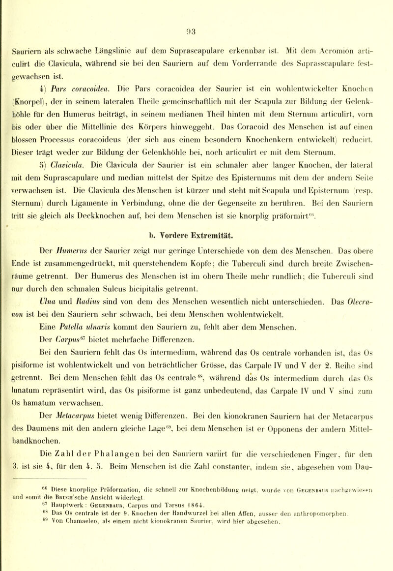 Sauriern als schwache Längslinie auf dem Suprascapulare erkennbar ist. Mit dem Acromion arti- culirt die Clavicula, während sie bei den Sauriern auf dem Vorderrande des Suprasscapularo fest- gewachsen ist. 4) Pars coracoidea. Die Pars coracoidea der Saurier ist ein wohlentwickelter Knochen (Knorpel), der in seinem lateralen Theile gemeinschaftlich mit der Scapula zur Bildung der Gelenk- höhle für den Humerus beiträgt, in seinem medianen Theil hinten mit dem Sternum articulirt, vorn bis oder über die Mittellinie des Körpers hinweggeht. Das Coracoid des Menschen ist auf einen blossen Processus coracoideus (der sich aus einem besondern Knochenkern entwickelt) reducirt. Dieser trägt weder zur Bildung der Gelenkhöhle bei, noch articulirt er mit dem Sternum. 5) Clavicula. Die Clavicula der Saurier ist ein schmaler aber langer Knochen, der lateral mit dem Suprascapulare und median mittelst der Spitze des Episternums mit dem der andern Seite verwachsen ist. Die Clavicula des Menschen ist kürzer und steht mit Scapula und Episternum resp. Sternum) durch Ligamente in Verbindung, ohne die der Gegenseite zu berühren. Bei den Sauriern tritt sie gleich als Deckknochen auf, bei dem Menschen ist sie knorplig präformirt66. b. Vordere Extremität. Der Humerus der Saurier zeigt nur geringe Unterschiede von dem des Menschen. Das obere Ende ist zusammengedrückt, mit querstehendem Kopfe; die Tuberculi sind durch breite Zwischen- räume getrennt. Der Humerus des Menschen ist im obern Theile mehr rundlich; die Tuberculi sind nur durch den schmalen Sulcus bicipitalis getrennt. Ulna und Radius sind von dem des Menschen wesentlich nicht unterschieden. Das Olecra- non ist bei den Sauriern sehr schwach, bei dem Menschen wohlentwickelt. Eine Patella ulnaris kommt den Sauriern zu, fehlt aber dem Menschen. Der Carpusm bietet mehrfache Differenzen. Bei den Sauriern fehlt das Os intermedium, während das Os centrale vorhanden ist, das Os pisiforme ist wohlentwickelt und von beträchtlicher Grösse, das Carpale IV und V der 2. Reihe sind getrennt. Bei dem Menschen fehlt das Os centrale68, während das Os intermedium durch das Os lunatum repräsentirt wird, das Os pisiforme ist ganz unbedeutend, das Carpale IV und V sind zum Os hamatum verwachsen. Der Melacarpus bietet wenig Differenzen. Bei den kionokranen Sauriern hat der Metacarpus des Daumens mit den andern gleiche Lage0'1, bei dem Menschen ist er Opponens der andern Mittel- handknochen. Die Zahl der Phalangen bei den Sauriern variirt für die verschiedenen Finger, für den 3. ist sie 4, für den 4. 5. Beim Menschen ist die Zahl constanter, indem sie, abgesehen vom Dau- 66 Diese knorplige Pr'äformalion, die schnell zur Knochenbildung neigt, wurde von Gegenbai'r nachgewiesen und somit die BftucH'sche Ansicht widerlegt. 67 Hauptwerk: Gegenbavk. Carpus und Tarsus 1 864. 68 Das Os centrale ist der 9. Knochen der Handwurzel bei allen Affen, ausser den anthropomorphen. *>9 Von Chamaeleo, als einem nicht kionokranen Saurier, wird hier abgesehen.