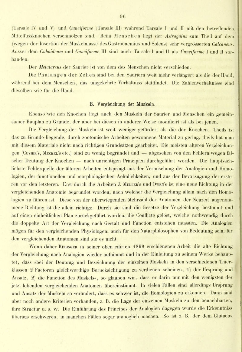 (Tarsale IV und V) und Cuneiforme (Tarsale III) wahrend Tarsale I und II mit den betreffenden Mittelfussknochen verschmolzen sind. Beim Menschen liegt der Astragalm zum Theil auf dem (wegen der Insertion der Muskelmasse des Gastrocnemius und Soleus) sehr vergrößerten Calcaneus. Ausser dem Cuboideum und Cuneiforme III sind auch Tarsale I und II als Cuneiforme I und II vor- handen. Der Metatarsus der Saurier ist von dem des Menschen nicht verschieden. Die Phalangen der Zehen sind bei den Sauriern weit mehr verlängert als die der Hand, wahrend bei dem Menschen, das umgekehrte Verhältniss stattfindet. Die Zahlenverhältnisse sind dieselben wie für die Hand. B. Vergleichung der Muskeln. Ebenso wie den Knochen liegt auch den Muskeln der Saurier und Menschen ein gemein- samer Bauplan zu Grunde, der aber bei diesen in anderer Weise modificirt ist als bei jenen. Die Vergleichung der Muskeln ist weit weniger gefördert als die der Knochen. Theils ist das zu Grunde liegende, durch zootomische Arbeiten gewonnene Material zu gering, theils hat man mit diesem Materiale nicht nach richtigen Grundsätzen gearbeitet. Die meisten älteren Vergleichun- gen (Cuvier's, Meckel's etc.) sind zu wenig begründet und — abgesehen von den Fehlern wegen fal- scher Deutung der Knochen — nach unrichtigen Principien durchgeführt worden. Die hauptsäch- lichste Fehlerquelle der älteren Arbeiten entspringt aus der Vermischung der Analogien und Homo- logien, der functionellen und morphologischen Aehnlichkeiten, und aus der Bevorzugung der erste- ren vor den letzteren. Erst durch die Arbeiten J. Mlller's und Owen's ist eine neue Richtung in der vergleichenden Anatomie begründet worden, nach welcher die Vergleichung allein nach den Homo- logien zu führen ist. Diese von der überwiegenden Mehrzahl der Anatomen der Neuzeit angenom- mene Richtung ist die allein richtige. Durch sie sind die Gesetze der Vergleichung bestimmt und auf einen einheitlichen Plan zurückgeführt worden, die Conflicte gelöst, welche nothwendig durch die doppelte Art der Vergleichung nach Gestalt und Function entstehen mussten. Die Analogien mögen für den vergleichenden Physiologen, auch für den Naturphilosophen von Bedeutung sein, für den vergleichenden Anatomen sind sie es nicht. Wenn daher Rüdinger in seiner oben citirten 1868 erschienenen Arbeit die alte Richtung der Vergleichung nach Analogien wieder aufnimmt und in der Einleitung zu seinem Werke behaup- tet, dass »bei der Deutung und Bezeichnung der einzelnen Muskeln in den verschiedenen Thier- klassen 2 Factoren gleich werthige Berücksichtigung zu verdienen scheinen, 1) der Ursprung und Ansatz, 2) die Function des Muskels«, so glauben wir, dass er darin nur mit den wenigsten der jetzt lebenden vergleichenden Anatomen übereinstimmt. In vielen Fällen sind allerdings Ursprung und Ansatz der Muskeln so verändert, dass es schwer ist, die Homologien zu erkennen. Dann sind aber noch andere Kriterien vorhanden, z. B. die Lage der einzelnen Muskeln zu den benachbarten, ihre Structur u. s. w. Die Einführung des Principes der Analogien dagegen würde die Erkenntniss überaus erschweren, in manchen Fällen sogar unmöglich machen. So ist z. B. der dem Glutaeus