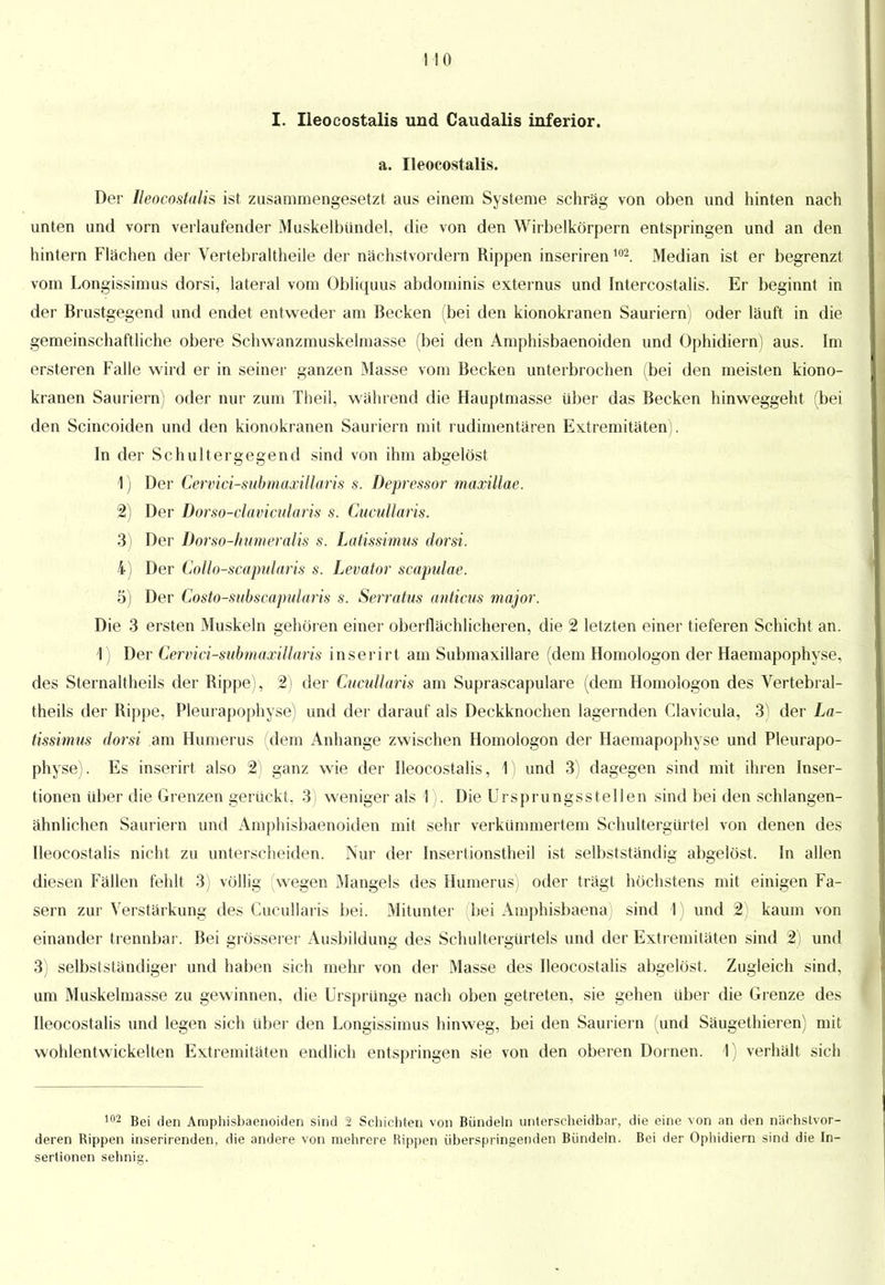 I. Ileocostalis und Caudalis inferior, a. Ileocostalis. Der Ileocostalis ist zusammengesetzt aus einem Systeme schräg von oben und hinten nach unten und vorn verlaufender Muskelbündel, die von den Wirbelkörpern entspringen und an den hintern Flächen der Vertebraltheile der nächstvordern Rippen inseriren m. Median ist er begrenzt vom Longissimus dorsi, lateral vom Obliquus abdominis externus und Intercostalis. Er beginnt in der Brustgegend und endet entweder am Becken (bei den kionokranen Sauriern) oder läuft in die gemeinschaftliche obere Schwanzmuskelmasse (bei den Amphisbaenoiden und Ophidiern) aus. Im ersteren Falle wird er in seiner ganzen Masse vom Becken unterbrochen (bei den meisten kiono- kranen Sauriern) oder nur zum Theil, während die Hauptmasse über das Becken hinweggeht (bei den Scincoiden und den kionokranen Sauriern mit rudimentären Extremitäten). In der Schultergegend sind von ihm abgelöst 1) Der Cervici-submaxillaris s. Depressor maxillae. 2) Der Dorso-clavicularis s. Cucullaris. 3) Der Dorso-humeralis s. Latissimus dorsi. 4) Der Collo-scapularis s. Levator scapulae. 5) Der Costo-subscapularis s. Serratus anticus major. Die 3 ersten Muskeln gehören einer oberflächlicheren, die 2 letzten einer tieferen Schicht an. 1) Der Cervici-submaxillaris inserirt am Submaxillare (dem Homologon der Haemapophyse, des Sternaltheils der Rippe), 2) der Cucullaris am Suprascapulare (dem Homologon des Vertebral- theils der Rippe, Pleurapophyse) und der darauf als Deckknochen lagernden Clavicula, 3) der La- tissimus dorsi am Humerus (dem Anhange zwischen Homologon der Haemapophyse und Pleurapo- physe). Es inserirt also 2) ganz wie der Ileocostalis, 1) und 3) dagegen sind mit ihren Inser- tionen über die Grenzen gerückt, 3) weniger als 1). Die Ursprungsstellen sind bei den schlangen- ähnlichen Sauriern und Amphisbaenoiden mit sehr verkümmertem Schultergürtel von denen des Ileocostalis nicht zu unterscheiden. Nur der Insertionstheil ist selbstständig abgelöst. In allen diesen Fällen fehlt 3) völlig (wegen Mangels des Humerus) oder trägt höchstens mit einigen Fa- sern zur Verstärkung des Cucullaris bei. Mitunter (bei Amphisbaena) sind 1) und 2) kaum von einander trennbar. Bei grösserer Ausbildung des Schultergürtels und der Extremitäten sind 2) und 3) selbstständiger und haben sich mehr von der Masse des Ileocostalis abgelöst. Zugleich sind, um Muskelmasse zu gewinnen, die Ursprünge nach oben getreten, sie gehen über die Grenze des Ileocostalis und legen sich über den Longissimus hinweg, bei den Sauriern (und Säugethieren) mit wohlentwickelten Extremitäten endlich entspringen sie von den oberen Dornen. 1) verhält sich 102 Bei den Amphisbaenoiden sind 2 Schichten von Bündeln unterscheidb.tr, die eine von an den nächstvor- deren Rippen inserirenden, die andere von mehrere Rippen überspringenden Bündeln. Bei der Ophidiern sind die In- sertionen sehnig.