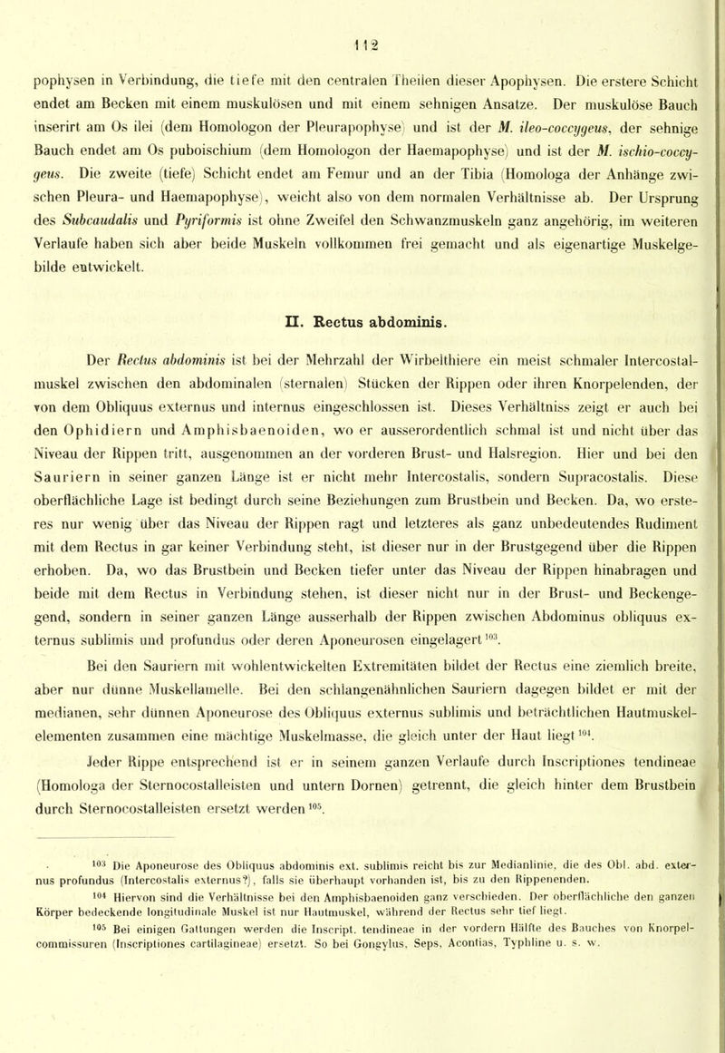 pophysen in Verbindung, die tiefe mit den centralen Theiien dieser Apophysen. Die erstere Schicht endet am Becken mit einem muskulösen und mit einem sehnigen Ansätze. Der muskulöse Bauch inserirt am Os ilei (dem Homologon der Pleurapophyse) und ist der M. ileo-coccygeus, der sehnige Bauch endet am Os puboischium (dem Homologon der Haemapophyse) und ist der M. ischio-coccy- geus. Die zweite (tiefe) Schicht endet am Femur und an der Tibia (Homologa der Anhänge zwi- schen Pleura- und Haemapophyse), weicht also von dem normalen Verhältnisse ab. Der Ursprung des Subcaudalis und Pyriformis ist ohne Zweifel den Schwanzmuskeln ganz angehörig, im weiteren Verlaufe haben sich aber beide Muskeln vollkommen frei gemacht und als eigenartige Muskelge- bilde entwickelt. II. Reetus abdominis. Der Reclus abdominis ist bei der Mehrzahl der Wirbelthiere ein meist schmaler Intercostal- muskel zwischen den abdominalen (sternalen) Stücken der Rippen oder ihren Knorpelenden, der von dem Obliquus externus und internus eingeschlossen ist. Dieses Verhältniss zeigt er auch bei den Ophidiern und Amphisbaenoiden, wo er ausserordentlich schmal ist und nicht über das Niveau der Rippen tritt, ausgenommen an der vorderen Brust- und Halsregion. Hier und bei den Sauriern in seiner ganzen Länge ist er nicht mehr Intercostalis, sondern Supracostalis. Diese oberflächliche Lage ist bedingt durch seine Beziehungen zum Brustbein und Becken. Da, wo erste- res nur wenig über das Niveau der Rippen ragt und letzteres als ganz unbedeutendes Rudiment mit dem Rectus in gar keiner Verbindung steht, ist dieser nur in der Brustgegend über die Rippen erhoben. Da, wo das Brustbein und Becken tiefer unter das Niveau der Rippen hinabragen und beide mit dem Rectus in Verbindung stehen, ist dieser nicht nur in der Brust- und Beckenge- gend, sondern in seiner ganzen Länge ausserhalb der Rippen zwischen Abdominus obliquus ex- ternus sublimis und profundus oder deren Aponeurosen eingelagert103. Bei den Sauriern mit wohlentwickelten Extremitäten bildet der Rectus eine ziemlich breite, aber nur dünne Muskellamelle. Bei den schlangenähnlichen Sauriern dagegen bildet er mit der medianen, sehr dünnen Aponeurose des Obliquus externus sublimis und beträchtlichen Hautmuskel- elementen zusammen eine mächtige Muskelmasse, die gleich unter der Haut liegt104. Jeder Rippe entsprechend ist er in seinem ganzen Verlaufe durch Inscriptiones tendineae (Homologa der Sternocostalleisten und untern Dornen) getrennt, die gleich hinter dem Brustbein durch Sternocostalleisten ersetzt werden m. 103 Die Aponeurose des Obliquus abdominis ext. sublimis reicht bis zur Medianlinie, die des Ob!, abd. exter- nus profundus (Intercostalis externus?), falls sie überhaupt vorhanden ist, bis zu den Rippenenden. 104 Hiervon sind die Verhältnisse bei den Amphisbaenoiden ganz verschieden. Der oberflächliche den ganzen Körper bedeckende longitudinale Muskel ist nur Hautmuskel, während der Rectus sehr tief liegt. 105 Bei einigen Gattungen werden die Inscript. tendineae in der vordem Hälfte des Bauches von Knorpel- commissuren (Inscriptiones carttlagineae) ersetzt. So bei Gongylus, Seps, Acontias, Typhline u. s. w.