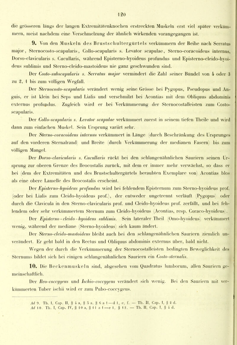 die grösseren längs der langen Extremitätenknochen erstreckten Muskeln erst viel später verküm- mern, meist nachdem eine Verschmelzung der ähnlich wirkenden vorangegangen ist. 9. Von den Muskeln des Brustschultergürtels verkümmern der Reihe nach Serratus major, Sternocosto-scapularis, Collo-scapularis s. Levator scapulae, Sterno-coracoideus internus, Dorso-clavicularis s. Cucullaris, während Episterno-hyoideus profundus und Episterno-cleido-hyoi- deus sublimis und Sterno-cleido-mastoideus nie ganz geschwunden sind. Der Costo-subscapularis s. Serratus major vermindert die Zahl seiner Bündel von 4 oder 3 zu 2, 1 bis zum völligen Wegfall. Der Sternocosto-scapularis verändert wenig seine Grösse bei Pygopus, Pseudopus und An- guis, er ist klein bei Seps und Lialis und verschmilzt bei Acontias mit dem Obliquus abdominis externns profundus. Zugleich wird er bei Verkümmerung der Sternocostalleisten zum Costo- scapularis. Der Collo-scapularis s. Levator scapulae verkümmert zuerst in seinem tiefen Theile und wird dann zum einfachen Muskel. Sein Ursprung variirt sehr. Der Sterno-coracoideus internus verkümmert in Länge (durch Beschränkung des Ursprunges auf den vorderen Sternalrand) und Breite (durch Verkümmerung der medianen Fasern) bis zum völligen Mangel. Der Dorso-clavicularis s. Cucullaris rückt bei den schlangenähnlichen Sauriern seinen Ur- sprung zur oberen Grenze des lleocostalis zurück, mit dem er immer mehr verwächst, so dass er bei (dem der Extremitäten und des Brustschultergürtels beraubten Exemplare von) Acontias blos als eine obere Lamelle des lleocostalis erscheint. Der Episterno-kyoideas profundus wird bei fehlendem Episternum zum Sterno-hyoideus prof. (oder bei Lialis zum Cleido-hyoideus prof.), der entweder ungetrennt verläuft (Pygopus) oder durch die Clavicula in den Sterno-clavicularis prof. und Cleido-hyoideus prof. zerfällt, und bei feh- lendem oder sehr verkümmertem Sternum zum Cleido-hyoideus (Acontias, resp. Coraco-hyoideus). Der Episterno-cleido-hyoideus sublimis. Sein lateraler Theil (Omo-hyoideus) verkümmert wenig, während der mediane (Sterno-hyoideus) sich kaum ändert. Der Sterno-cleido-mastoideus bleibt auch bei den schlangenälmlichen Sauriern ziemlich un- verändert. Er geht bald in den Rectus und Obliquus abdominis externus über, bald nicht. Wegen der durch die Verkümmerung der Sternocostalleisten bedingten Beweglichkeit des Sternunis bildet sich bei einigen schlangenähnlichen Sauriern ein Costo-sternalis. 10. Die Beckenmuskeln sind, abgesehen vom Quadratus lumborum, allen Sauriern ge- meinschaftlich. Der Ileo-coccygeus und Ischio-coccygeus verändert sich wenig. Bei den Sauriern mit ver- kümmerten Tuber ischii wird er zum Pubo-coccygeus. Ad 9. Th. I, Cap. II, § 4 a, § 5 a, § 6 a I —d I, e, f. — Ad \ 0. Th. I, Cap. IV, § 1 0 a, § M a 1 —e I, § 11. Th. II, Cap. I, § 2 d. Th. II, Cap. I, § 4 d.