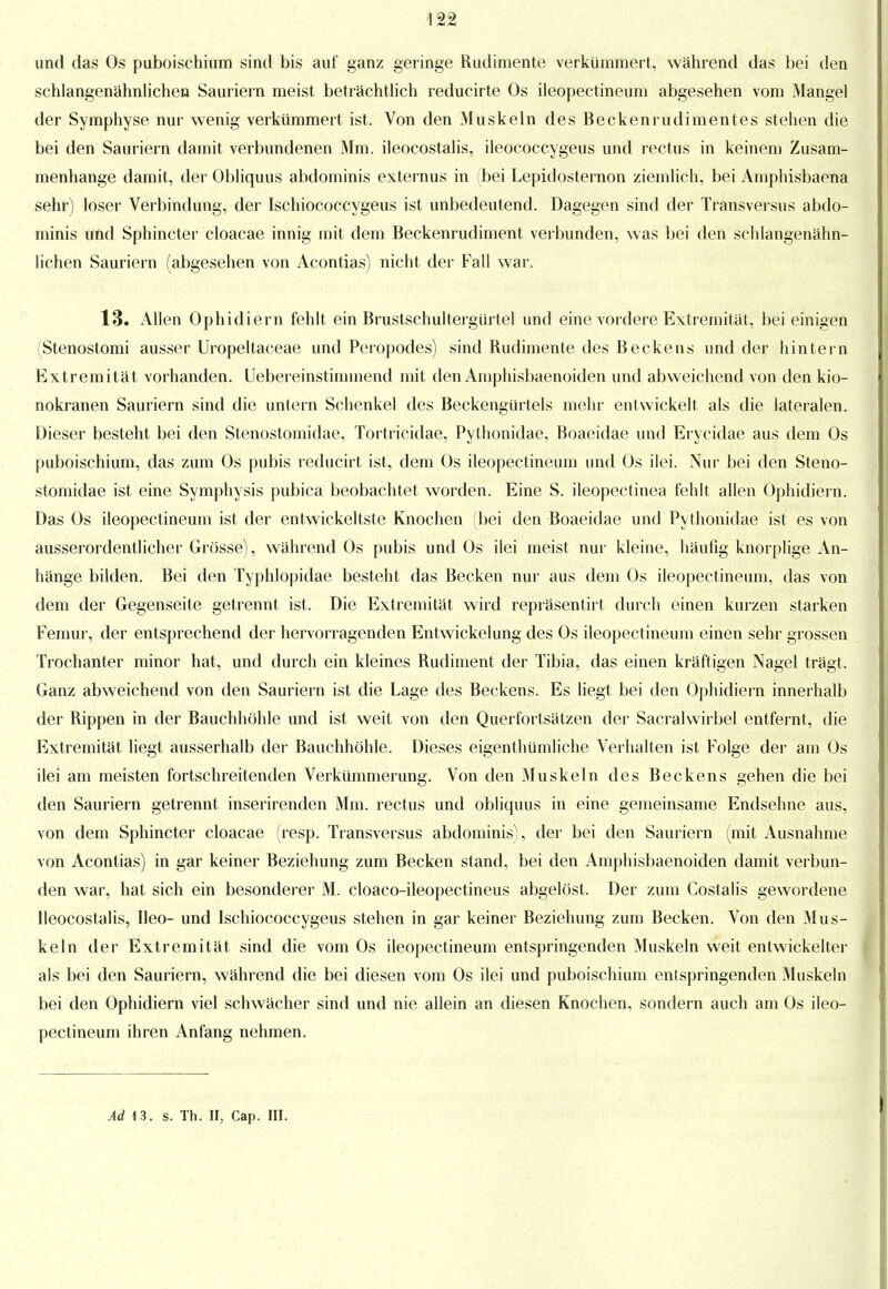 4 22 und das Os puboischium sind bis auf ganz geringe Rudimente verkümmert, während das bei den schlangenähnlichen Sauriern meist beträchtlich reducirte Os ileopectineum abgesehen vom Mangel der Symphyse nur wenig verkümmert ist. Von den Muskeln des Beckenrudimentes stehen die bei den Sauriern damit verbundenen Mm. ileocostalis, ileococcygeus und rectus in keinem Zusam- menhange damit, der Obliquus abdominis externus in (bei Lepidosternon ziemlich, bei Amphisbaena sehr) loser Verbindung, der Ischiococcygeus ist unbedeutend. Dagegen sind der Transversus abdo- minis und Sphincter cloacae innig mit dem Beckenrudiment verbunden, was bei den schlangenähn- lichen Sauriern (abgesehen von Acontias) nicht der Fall war. 13. Allen Ophidiern fehlt ein Brustschultergürtel und eine vordere Extremität, bei einigen (Stenostomi ausser Uropeltaceae und Peropodes) sind Rudimente des Beckens und der hintern Extremität vorhanden. Uebereinstimmend mit denAmphisbaenoiden und abweichend von den kio- nokranen Sauriern sind die untern Schenkel des Beckengürtels mehr entwickelt als die lateralen. Dieser besteht bei den Stenostomidae, Tortricidae, Pythonidae, Boaeidae und Erycidae aus dem Os puboischium, das zum Os pubis reducirt ist, dem Os ileopectineum und Os ilei. Nur bei den Steno- stomidae ist eine Symphysis pubica beobachtet worden. Eine S. ileopectinea fehlt allen Ophidiern. Das Os ileopectineum ist der entwickeltste Knochen (bei den Boaeidae und Pythonidae ist es von ausserordentlicher Grösse), während Os pubis und Os ilei meist nur kleine, häufig knorplige An- hänge bilden. Bei den Typhlopidae besteht das Becken nur aus dem Os ileopectineum, das von dem der Gegenseite getrennt ist. Die Extremität wird repräsentirt durch einen kurzen starken Femur, der entsprechend der hervorragenden Entwicklung des Os ileopectineum einen sehr grossen Trochanter minor hat, und durch ein kleines Rudiment der Tibia, das einen kräftigen Nagel trägt. Ganz abweichend von den Sauriern ist die Lage des Beckens. Es liegt bei den Ophidiern innerhalb der Rippen in der Bauchhöhle und ist weit von den Querfortsätzen der Sacralwirbel entfernt, die Extremität liegt ausserhalb der Bauchhöhle. Dieses eigenthümliche Verhalten ist Folge der am Os ilei am meisten fortschreitenden Verkümmerung. Von den Muskeln des Beckens gehen die bei den Sauriern getrennt inserirenden Mm. rectus und obliquus in eine gemeinsame Endsehne aus, von dem Sphincter cloacae (resp. Transversus abdominis), der bei den Sauriern (mit Ausnahme von Acontias) in gar keiner Beziehung zum Becken stand, bei den Amphisbaenoiden damit verbun- den war, hat sich ein besonderer M. cloaco-ileopectineus abgelöst. Der zum Costaiis gewordene Ileocostalis, Ileo- und Ischiococcygeus stehen in gar keiner Beziehung zum Becken. Von den Mus- keln der Extremität sind die vom Os ileopectineum entspringenden Muskeln weit entwickelter als bei den Sauriern, während die bei diesen vom Os ilei und puboischium entspringenden Muskeln bei den Ophidiern viel schwächer sind und nie allein an diesen Knochen, sondern auch am Os ileo- pectineum ihren Anfang nehmen.