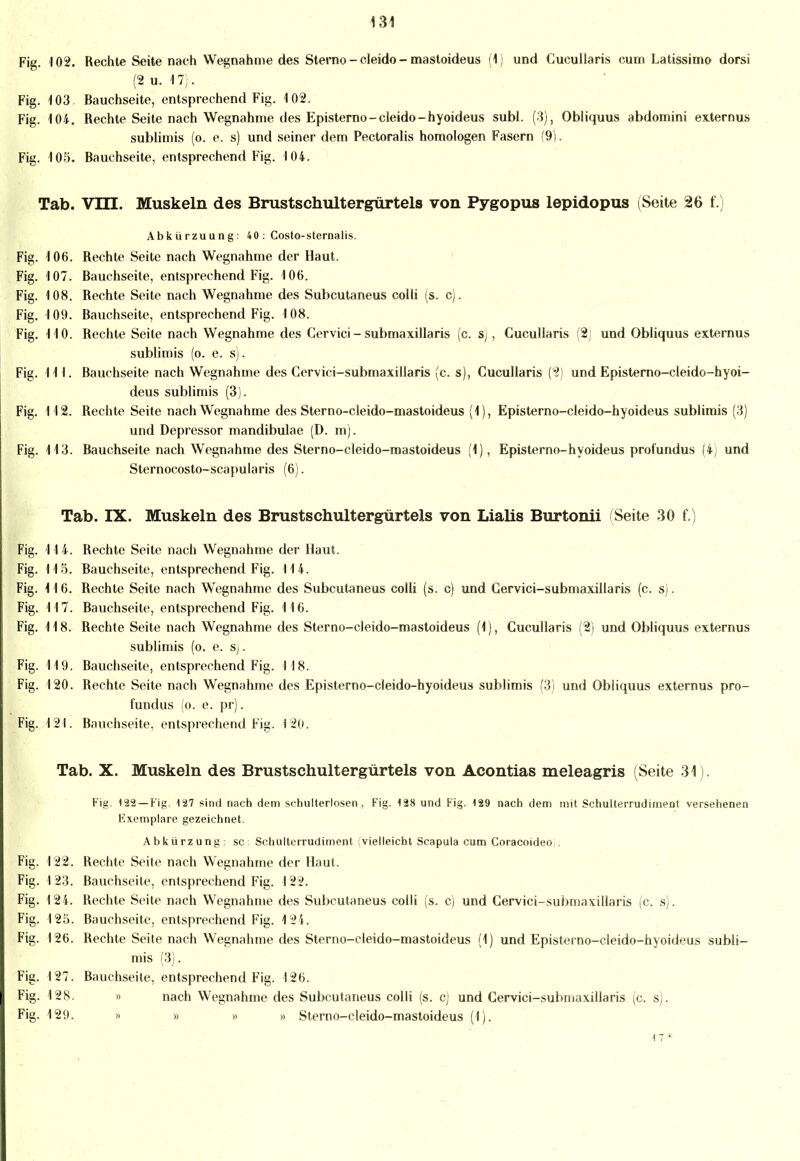 Fig. 102. Rechte Seite nach Wegnahme des Sterno - cleido - mastoideus (1) und CucuUaris cum Latissimo dorsi (2 u. 17;. Fig. 103 Bauchseite, entsprechend Fig. 102. Fig. 104. Rechte Seite nach Wegnahme des Episterno-cleido-hyoideus subl. (3), Obliquus abdomini externus sublimis (o. e. s) und seiner dem Pectoralis homologen Fasern (9). Fig. 105. Bauchseite, entsprechend Fig. 104. Tab. VDI. Muskeln des Brustschultergürtels von Pygopus lepidopus (Seite 26 f.) Abkürzuung: 40 : Costo-sternalis. Fig. 106. Rechte Seite nach Wegnahme der Haut. Fig. 107. Bauchseite, entsprechend Fig. 106. Fig. 108. Rechte Seite nach Wegnahme des Subcutaneus colli (s. c). Fig. 109. Bauchseite, entsprechend Fig. 108. Fig. 110. Rechte Seite nach Wegnahme des Cervici - submaxillaris (c. s), CucuUaris (2) und Obliquus externus sublimis (o. e. s). Fig. 111. Bauchseite nach Wegnahme des Cervici-submaxillaris (c. s), CucuUaris (2) und Episterno-cleido-hyoi- deus sublimis (3). Fig. 112. Rechte Seite nach Wegnahme des Sterno-cleido-mastoideus (1), Episterno-cleido-hyoideus sublimis (3) und Depressor mandibulae (D. m). Fig. 113. Bauchseite nach Wegnahme des Sterno-cleido-mastoideus (1), Episterno-hyoideus profundus (4) und Sternocosto-scapularis (6). Tab. IX. Muskeln des Brustschultergürtels von Lialis Burtonii Seite 30 f.) Fig. 114. Rechte Seite nach Wegnahme der Haut. Fig. 115. Bauchseite, entsprechend Fig. 114. Fig. 116. Rechte Seite nach Wegnahme des Subcutaneus colli (s. c) und Cervici-submaxillaris (c. s). Fig. 117. Bauchseite, entsprechend Fig. 116. Fig. 118. Rechte Seite nach Wegnahme des Sterno-cleido-mastoideus (1), CucuUaris (2) und Obliquus externus sublimis (o. e. sj. Fig. 119. Bauchseite, entsprechend Fig. 118. Fig. 120. Rechte Seite nach Wegnahme des Episterno-cleido-hyoideus sublimis (3) und Obliquus externus pro- fundus (o. e. pr). Fig. 121. Bauchseite, entsprechend Fig. 120. Tab. X. Muskeln des Brustschultergürtels von Acontias meleagris (Seite 31). Fig. 122 —Fig. 427 sind nach dem schulterlosen, Fig. 128 und Fig. 129 nach dem mit Schulterrudiment versehenen Exemplare gezeichnet. Abkürzung: sc: Schulterrudiment vielleicht Scapula cum Coracoideo;. Fig. 122. Rechte Seite nach Wegnahme der Haut. Fig. 123. Bauchseite, entsprechend Fig. 122. Fig. 124. Rechte Seite nach Wegnahme des Subcutaneus colli (s. c) und Cervici-submaxillaris (c. s). Fig. 125. Bauchseite, entsprechend Fig. 124. Fig. 126. Rechte Seite nach Wegnahme des Sterno-cleido-mastoideus (1) und Episterno-cleido-hyoideus subli- mis (3). Fig. 127. Bauchseite, entsprechend Fig. 126. Fig. 128. » nach Wegnahme des Subcutaneus colli (s. c) und Cervici-submaxillaris (c. s). Fig. 129. » » » i) Sterno-cleido-mastoideus (1). 4 7*