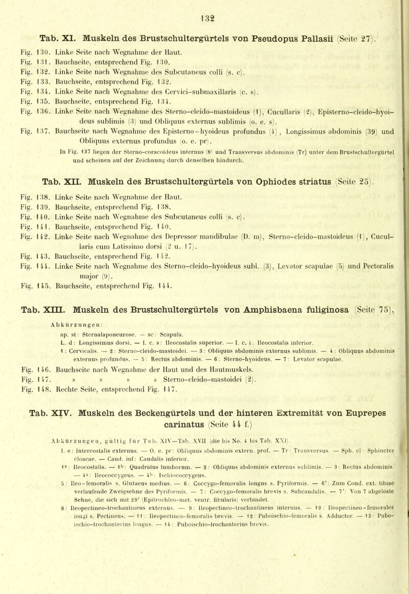 Tab. XI. Muskeln des Brustschultergürtels von Pseudopus Pallasii (Seite 27). Fig. 130. Linke Seite nach Wegnahme der Haut. Fig. 131. Bauchseite, entsprechend Fig. 130. Fig. 132. Linke Seite nach Wegnahme des Subcutaneus colli (s. c). Fig. 133. Bauchseite, entsprechend Fig. 132. Fig. 134. Linke Seite nach Wegnahme des Cervici-submaxillaris (c. s). Fig. 135. Bauchseite, entsprechend Fig. 134. Fig. 136. Linke Seite nach Wegnahme des Sterno-eleido-mastoideus (1), Cucullaris (2), Episterno-cleido-hyoi- deus sublimis (3) und Obliquus externus sublimis (o. e. s). Fig. 137. Bauchseite nach Wegnahme des Episterno-hyoideus profundus (4), Longissimus abdominis (39) und Obliquus exlernus profundus (o.e. pr). In Fig. 137 liegen der Sterno-coracoideus internus (8) und Transversus abdominis (Tr) unter dem Brustschultergürtel und scheinen auf der Zeichnung durch denselben hindurch. Tab. XII. Muskeln des Brustschultergürtels von Ophiodes striatus (Seite 25). Fig. 138. Linke Seite nach Wegnahme der Haut. Fig. 139. Bauchseite, entsprechend Fig. 138. Fig. 140. Linke Seite nach Wegnahme des Subcutaneus colli (s. c). Fig. 141. Bauchseite, entsprechend Fig. 140. Fig. 142. Linke Seite nach Wegnahme des Depressor mandibulae (D. m), Sterno-cleido-mastoideus (1), Cucul- laris cum Latissimo dorsi (2 u. 17). Fig. 143. Bauchseite, entsprechend Fig. 142. Fig. 1 44. Linke Seite nach Wegnahme des Sterno-cleido-hyoideus subl. (3), Levator scapulae (5) und Pectoralis major (9). Fig. 145. Bauchseite, entsprechend Fig. 144. Tab. XHI. Muskeln des Brustschultergürtels von Amphisbaena fuliginosa (Seite 75), Abkürzungen: ap. st: Sternalaponeurose. — sc: Scapula. L. d: Longissimus dorsi. — I. c. s: Ileocostalis superior. — Lei: Ueocostalis inferior. 1 : Cervicalis. — 2: Sterno-cleido-mastoidei. — 3: Obliquus abdominis externus sublimis. — 4: Obliquus abdominis externus profundus. — 5: Rectus abdominis. — 6: Sterno-hyoideus. — 7: Levator scapulae. Fig. 1 46. Bauchseite nach Wegnahme der Haut und des Hautmuskels. Fig. 147. » » » » Sterno-cleido-mastoidei (2). Fig. 148. Bechte Seite, entsprechend Fig. 147. Tab. XIV. Muskeln des Beckengürtels und der hinteren Extremität von Euprepes carinatus (Seite 44 f.) Abkürzungen, gültig für Tal.. XIV—Tab. XVII (die bis No. 4 bis Tab. XXI). I. e: Intercostalis externus. — 0. e. pr: Obliquus abdominis extern, prof. — Tr: Transversus. — Sph. cl: Sphinctei cloacae. — Caud. inf: Caudalis inferior. 1a: Ileocostalis. — 1b: Quadratus lumborum. — 2: Obliquus abdominis externus sublimis. — 3: Rectus abdominis. — 4a: Ileococcygeus. —4b: Ischiococcygeus. 5: Ileo-femoralis s. Glutaeus medius. — 6: Coccygo-femoralis longus s. Pyriformis. — 6': Zum Cond. ext. tibiae verlaufende Zweissehne des Pyriformis. — 7: Coccygo-femoralis brevis s. Subcaudalis. — 7': Von 7 abgelöste Sehne, die sich mit 29' (Epitrochleo-met. ventr. fibularis) verbindet. 8: Ileopectineo-trochantineus externus. — 9: lleopectineo-trochantineus internus. — 10: lleopectineo - femorales iongi s. Pectineus. — II : Ileopectineo-femoralis brevis. — 12: Puboischio-femoralis s. Adductor. — 13: Pubo- ischio-trochantei ius loneus. — 14 : Puboischio-trochanterius brevis.