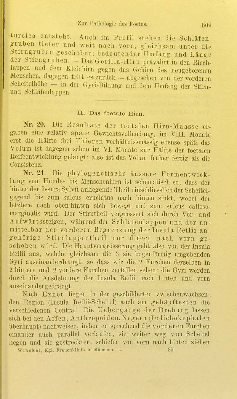 turcica entsteht. Aucli im Profil stehen die Schläfen- griiben tiefer und weit nach vorn, gleichsam unter die Stirng-ruben geschoben; bedeutender Umfang und Länge der Stirngruben. — Das G orilla-Hirn prävalirt in den Eiecli- lappcn und dem Kleinhirn gegen das Gehirn des neugeborenen Menschen, dagegen tritt es zurück ~ abgesehen von der vorderen Scheitelhöhe — in der Gyri-Bildung und dem Umfang der Stiru- und Schläfenlappen. n. Das foetale Hirn. Nr. 20. Die Resultate der foetalen Hirn-Maasse er- gaben eine relativ späte Gewichtsvollendung, im VIII. Monate erst die Hälfte (bei Thieren verhältnissmässig ebenso spät; das Volum ist dagegen schon im VI. Monate zur Hälfte der foetalen Reifeentwicklung gelangt: also ist das Volum früher fertig als die Consistenz. Nr. 21. Die phylogenetische äussere Formentwick- lung vom Hunde- bis Menschenhirn ist schematisch so, dass der hinter der fissura Sylvii anliegende Theil einschliesslich der Scheitel- gegend bis zum sulcus cruciatus nach hinten sinkt, wobei der letztere nach oben-hinten sich bewegt und zum sulcus calloso- marginalis wird. Der Stirntheil vergrössert sich durch Vor- und ^ Aufwärts steigen, während der Schläfenlappen und der un- mittelbar der vorderen Begrenzung der Insula Reilii an- gehörige Stirnlappentheil nur direct nach vorn ge- schoben wird. Die Hauptvergrösserung geht also von der Insula Reilii aus, welche gleichsam die 3 sie bogenförmig umgebenden Gyri auseinander drängt, so dass wir die 2 Furchen derselben in 2 hintere und 2 vordere Furchen zerfallen seilen: die Gyri werden durch die Ausdehnung der Insula Reilii nach hinten und vorn auseinandergedrängt. ■ Nach Exner liegen in der geschilderten zwischenwachsen- den Region (Insula Reilii-Scheitel) auch am gehäuftesten die verschiedenen Central Die Uebergänge der Drehung lassen sich bei den Affen, Anthropoiden, Negern (Dolichokephalen überhaupt) nachweisen, indem entsprechend die vorderen Furchen einander auch parallel verlaufen, sie weiter weg vom Scheitel liegen und sie gestreckter, schiefer von vorn nach hinten ziehen W in ck el, Kgl. Frauenklinik in München. I. 39