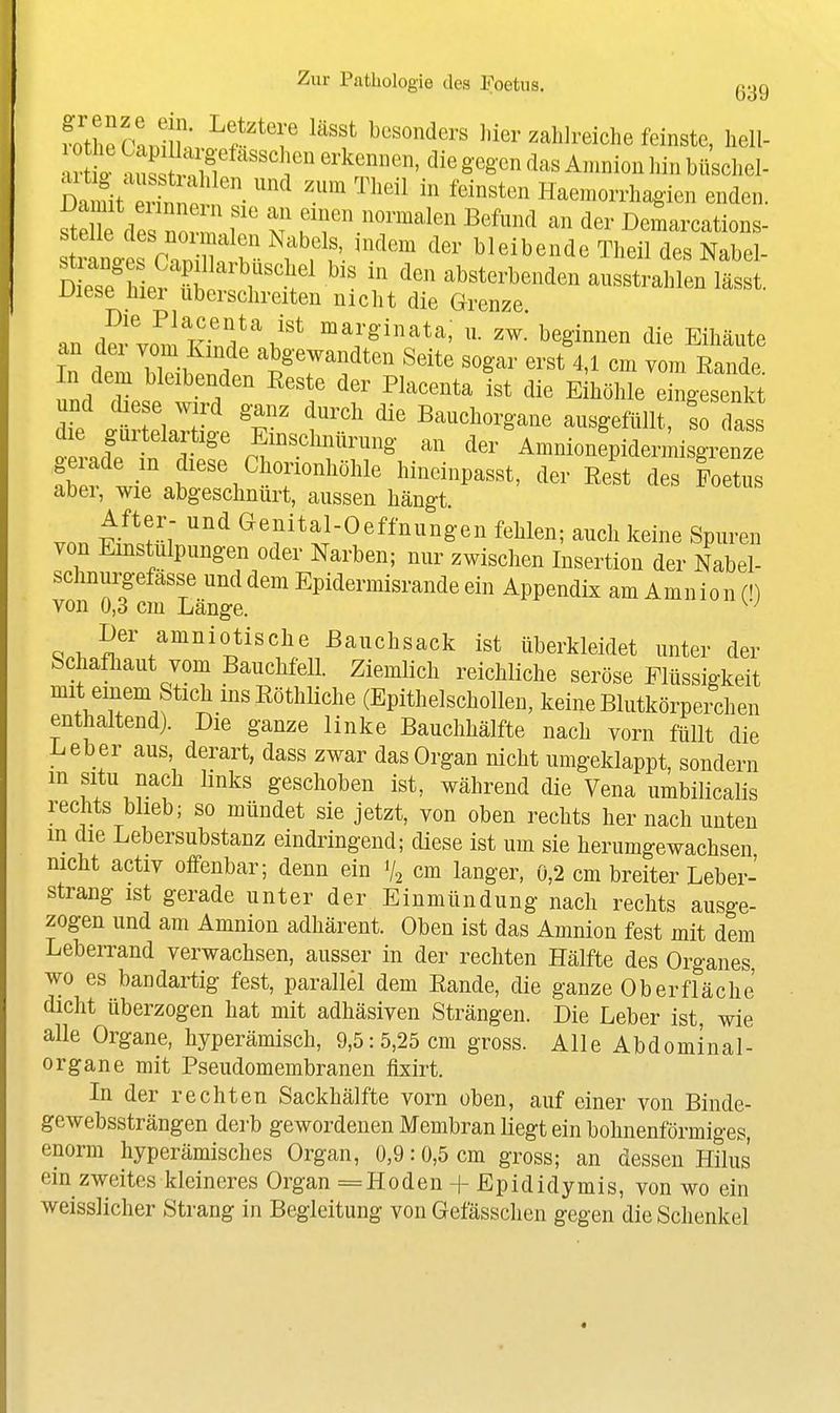 fZTcl^u ^^•'^'f ^^''^ Mer zahlreiche feinste, hell- D^^i^^^^- '^ ^^^^^^ ^'^''''^ Haemorrhagien enden. Se des ,1^^^ m ?T'-'T'^''' ^^^^^ d^^ Demarcations- tra^^^^^^^^ t^ff- bleibende Theil des Nabel- S ese^hl? fW^^^^ absterbenden ausstrahlen lässt. JJiese niei überschreiten nicht die Grenze an der vo^.! Finr\''^ marginata; n. zw.' beginnen die Eihäute In dem lllt f abgewandten Seite sogar erst 4,1 cm vom Eande. In dem bleibenden Eeste der Placenta ist die Eihöhle ein-esenkt r T f'-^' ^--^^^or,.ne ausgefüllt, ^odat ol i Amnionepidermisgrenze ?h.v ^^^^h7°^l^öhle hineinpasst, der Eest des Foetus aber, wie abgeschnürt, aussen hängt After- und Genital-Oeffnungen fehlen; auch keine Spuren von Einstülpungen oder Narben; nur zwischen Insertion der Nabel- schnuiyefässe und dem Epidermisrande ein Appendix am Amnion (') von 0,3 cm Länge. ^'^ Der amniotische Bauchsack ist überkleidet unter der Schafliaut vom Bauchfell. Ziemlich reichliche seröse Flüssigkeit mit einem Stich insEöthliche (Epithelschollen, keine Blutkörperchen enthaltend). Die ganze linke Bauchhälfte nach vorn füllt die Leber aus, derart, dass zwar das Organ nicht umgeklappt, sondern m situ nach links geschoben ist, während die Vena umbilicalis rechts blieb; so mündet sie jetzt, von oben rechts her nach unten m die Lebersubstanz eindringend; diese ist um sie herumgewachsen nicht activ offenbar; denn ein V2 cm langer, 0,2 cm breiter Leber- strang ist gerade unter der Einmündung nach rechts ausge- zogen und am Amnion adhärent. Oben ist das Amnion fest mit dem Leberrand verwachsen, ausser in der rechten Hälfte des Organes wo es bandartig fest, parallel dem Eande, die ganze Oberfläche dicht überzogen hat mit adhäsiven Strängen. Die Leber ist, wie alle Organe, hyperämisch, 9,5:5,25 cm gross. Alle Abdominal- organe mit Pseudomembranen fixirt. In der rechten Sackhälfte vorn oben, auf einer von Binde- gewebssträngen derb gewordenen Membran liegt ein bohnenförmiges, enorm hyperämisches Organ, 0,9:0,5 cm gross; an dessen Hilus ein zweites kleineres Organ =Hoden + Epididymis, von wo ein weisslicher Strang in Begleitung von Gefässchen gegen die Schenkel
