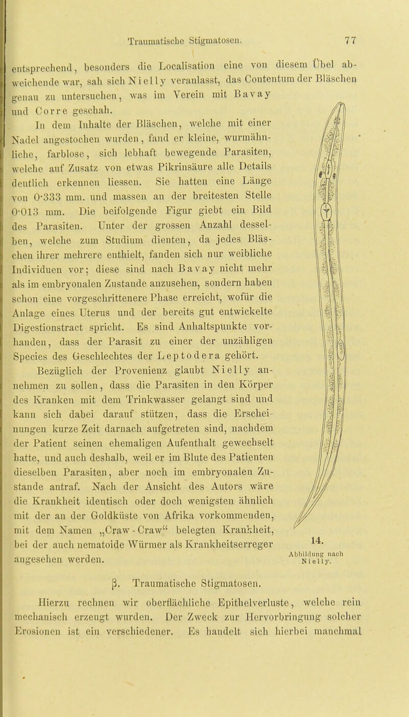 en tspreohend, besonders die Localisation eine von diesem Übel ab- weichende war, sah sich NieUy veranlasst, das Contentum der Wäschen genau zu untersuchen, was im Verein mit Bavay und Corre geschah. In dem Inhalte der Wäschen, welche mit einer Nadel angestochen wurden, fand er kleine, wurmähn- liche, farblose, sieb lebhaft bewegende Parasiten, welche auf Zusatz von etwas Pikrinsäure alle Details deutlich erkennen Hessen. Sie hatten eine Länge von 0-333 mm. und massen an der breitesten Stelle 0-013 mm. Die beifolgende Figur giebt ein Bild des Parasiten. Unter der grossen Anzahl dessel- ben, welche zum Studium dienten, da jedes Bläs- chen ihrer mehrere enthielt, fanden sich nur weibliche Individuen vor; diese sind nach Bavay nicht mehr als im embryonalen Zustande anzusehen, sondern haben schon eine vorgeschrittenere Phase erreicht, wofür die Anlage eines Uterus und der bereits gut entwickelte Digestionstract spricht. Es sind Anhaltspunkte vor- handen, dass der Parasit zu einer der unzähligen Species des Geschlechtes der Leptodera gehört. Bezüglich der Provenienz glaubt Nielly an- nehmen zu sollen, dass die Parasiten in den Körper des Kranken mit dem Trinkwasser gelangt sind und kann sich dabei darauf stützen, dass die Erschei- nungen kurze Zeit darnach aufgetreten sind, nachdem der Patient seinen ehemaligen Aufenthalt gewechselt hatte, und auch deshalb, weil er im Blute des Patienten dieselben Parasiten, aber noch im embryonalen Zu- stande antraf. Nach der Ansicht des Autors wäre die Krankheit identisch oder doch wenigsten ähnlich mit der an der Goldküste von Afrika vorkommenden, mit dem Namen „Oraw-Craw belegten Krankheit, bei der auch nematoide Würmer als Krankheitserreger 14. angesehen werden. Abbildung nach Nielly. ß. Traumatische Stigmatosen. Hierzu rechnen wir oberflächliche Epithelverluste, welche rein mechanisch erzeugt wurden. Der Zweck zur Hervorbringung solcher Krosioncn ist ein verschiedener. Es handelt sich hierbei manchmal