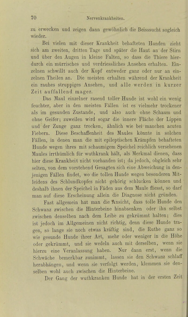 zu erwecken und zeigen dann gewöhnlich die Beisssucht sogleich wieder. Bei vielen mit dieser Krankheit behafteten Hunden zieht sich am zweiten, dritten Tage und später die Haut an der Stirn und über den Augen in kleine Falten, so dass die Thiere hier- durch ein mürrisches und verdriessliches Ansehen erhalten. Ein- zelnen schwillt auch der Kopf entweder ganz oder nur an ein- zelnen Theilen an. Die meisten erhalten während der Krankheit ein rauhes struppiges Ansehen, und alle werden in kurzer Zeit auffallend mager. Das Maul einzelner rasend toller Hunde ist wohl ein wenig feuchter, aber in den meisten Fällen ist es vielmehr trockener als im gesunden Zustande, und also auch ohne Schaum und ohne Geifer; zuweilen wird sogar die innere Fläche der Lippen und der Zunge' ganz trocken, ähnlich wie hei manchen acuten Fiebern. Diese Beschaffenheit des Maules könnte in solchen Fällen, in denen man die mit epileptischen Krämpfen behafteten Hunde wegen ihres mit schaumigem Speichel reichlich versehenen Maules irrthümlich für wuthkrank hält, als Merkmal dienen, dass hier diese Krankheit nicht vorhanden ist; da jedoch, obgleich sehr selten, von dem vorstehend Gesagten sich eine Abweichung in den- jenigen Fällen findet, wo die tollen Hunde wegen besonderen Mit- leidens des Schlundkopfes nicht gehörig schlucken können und deshalb ihnen der Speichel in Fäden aus dem Maule fliesst, so darf man auf diese Erscheinung allein die Diagnose nicht gründen. Fast allgemein hat man die Ansicht, dass tolle Hunde den Schwanz zwischen die Hinterbeine hinabsenken oder ihn selbst zwischen denselben nach dem Leibe zu gekrümmt halten; dies ist jedoch im Allgemeinen nicht richtig, denn diese Hunde tra- gen, so lange sie noch etwas kräftig sind, die Ruthe ganz so wie gesunde Hunde ihrer Art, mehr oder weniger in die Höhe oder gekrümmt, und sie wedeln auch mit derselben, wenn sie hierzu eine Veranlassung haben. Nur dann erst, wenn die Schwäche bemerkbar zunimmt, lassen sie den Schwanz schlaff herabhängen, und wenn sie verfolgt werden, klemmen sie den- selben wohl auch zwischen die Hinterbeine. Der Gang der wuthkrankon Hunde hat in der ersten Zeit