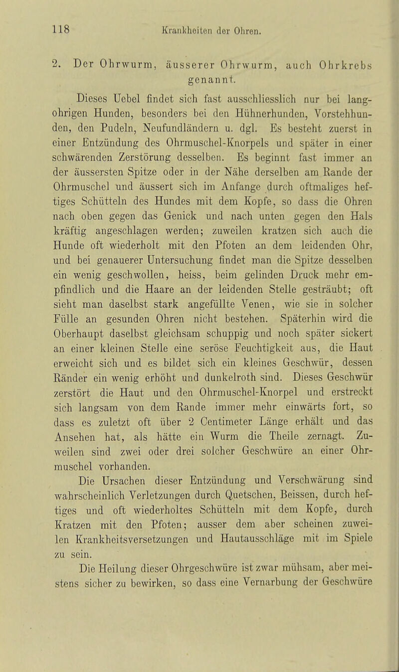 2. Der Ohrwurm, äusserer Ohrwurm, auch Ohrkrebs genannt. Dieses Uebel findet sich fast ausschliesslich nur bei lang- ohrigen Hunden, besonders bei den Hühnerhunden, Vorstehhun- den, den Pudeln, Neufundländern u. dgl. Es besteht zuerst in einer Entzündung des Ohrmuschel-Knorpels und später in einer schwärenden Zerstörung desselben. Es beginnt fast immer an der äussersten Spitze oder in der Nähe derselben am Rande der Ohrmuschel und äussert sich im Anfange durch oftmaliges hef- tiges Schütteln des Hundes mit dem Kopfe, so dass die Ohren nach oben gegen das Genick und nach unten gegen den Hals kräftig angeschlagen werden; zuweilen kratzen sich auch die Hunde oft wiederholt mit den Pfoten an dem leidenden Ohr. und bei genauerer Untersuchung findet man die Spitze desselben ein wenig geschwollen, heiss, beim gelinden Druck mehr em- pfindlich und die Haare an der leidenden Stelle gesträubt; oft sieht man daselbst stark angefüllte Venen, wie sie in solcher Fülle an gesunden Ohren nicht bestehen. Späterhin wird die Oberhaupt daselbst gleichsam schuppig und noch später sickert an einer kleinen Stelle eine seröse Feuchtigkeit aus, die Haut erweicht sich und es bildet sich ein kleines Geschwür, dessen Ränder ein wenig erhöht und dunkelroth sind. Dieses Geschwür zerstört die Haut und den Ohrmuschel-Knorpel und erstreckt sich langsam von dem Rande immer mehr einwärts fort, so dass es zuletzt oft über 2 Centimeter Länge erhält und das Ansehen hat, als hätte ein Wurm die Theile zernagt. Zu- weilen sind zwei oder drei solcher Geschwüre an einer Ohr- muschel vorhanden. Die Ursachen dieser Entzündung und Verschwärung sind wahrscheinlich Verletzungen durch Quetschen, Beissen, durch hef- tiges und oft wiederholtes Schütteln mit dem Kopfe, durch Kratzen mit den Pfoten; ausser dem aber scheinen zuwei- len Krankheitsversetzungen und Hautausschläge mit im Spiele zu sein. Die Heilung dieser Ohrgeschwüre ist zwar mühsam, aber mei- stens sicher zu bewirken, so dass eine Vernarbung der Geschwüre