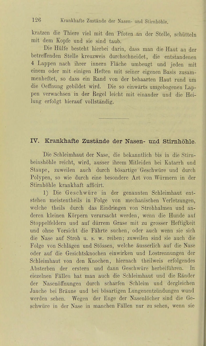 kratzen die Thiere viel mit den Pfoten .an der Stelle, schütteln mit dem Kopfe und sie sind taub. Die Hülfe besteht hierbei darin, dass man die Haut an der betreffenden Stelle kreuzweis durchschneidet, die entstandenen 4 Lappen nach ihrer innern Fläche um beugt und jeden mit einem oder mit einigen Heften mit seiner eigenen Basis zusam- menheftet, so dass ein Rand von der behaarten Haut rund um die Oeffnung gebildet wird. Die so einwärts umgebogenen Lap- pen verwachsen in der Regel leicht mit einander und die Hei- lung erfolgt hierauf vollständig. IV. Krankhafte Zustände der Nasen- und Stirnhöhle. Die Schleimhaut der Nase, die bekanntlich bis in die Stirn- beinshöhle reicht, wird, ausser ihrem Mitleiden bei Katarrh und Staupe, zuweilen auch durch bösartige Geschwüre und durch Polypen, so wie durch eine besondere Art von Würmern in der Stirnhöhle krankhaft afficirt. 1) Die Geschwüre in der genannten Schleimhaut ent- stehen meistentheils in Folge von mechanischen Verletzungen, welche theils durch das Eindringen von Strohhalmen und an- deren kleinen Körpern verursacht werden, wenn die Hunde auf Stoppelfeldern und auf dürrem Grase mit zu grosser Heftigkeit und ohne Vorsicht die Fährte suchen, oder auch wenn sie sich die Nase auf Stroh u. s. w. reiben; zuweilen sind sie auch die Folge von Schlägen und Stössen, welche äusserlich auf die Nase oder auf die Gesichtsknochen einwirken und Lostrennungen der Schleimhaut von den Knochen, hiernach theilweis erfolgendes Absterben der erstem und dann Geschwüre herbeiführen. In eiezelnen Fällen hat man auch die Schleimhaut und die Ränder der Nasenöffnungen durch scharfen Schleim und dergleichen Jauche bei Bräune und bei bösartigen Lungenentzündungen wuud werden sehen. Wegen der Enge der Nasenlöcher sind die Ge- schwüre in der Nase in manchen Fällen nur zu sehen, wenn sie