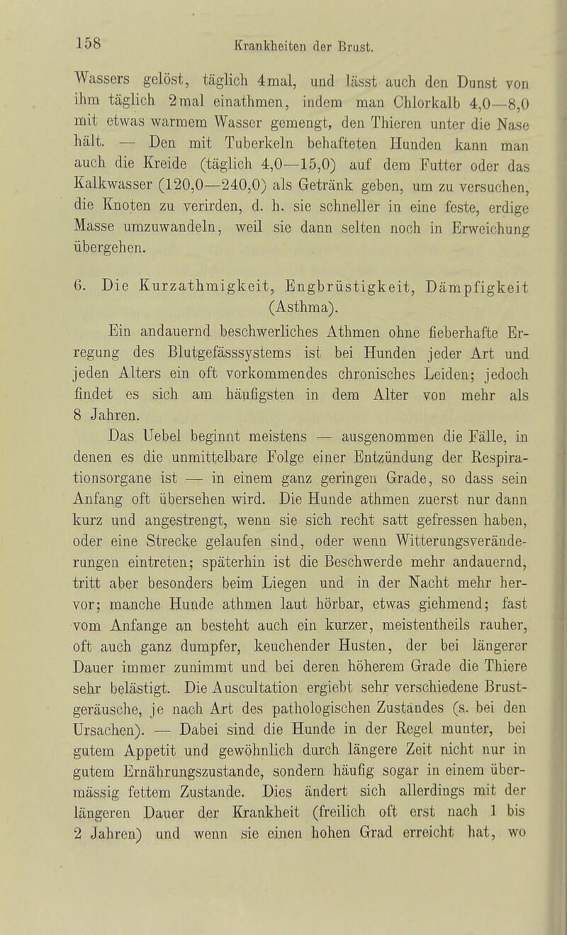 Wassers gelöst, täglich 4mal, und lässt auch den Dunst von ihm täglich 2 mal einathmen, indem man Chlorkalb 4,0—8,0 mit etwas warmem Wasser gemengt, den Thieren unter die Nase hält. — Den mit Tuberkeln behafteten Hunden kann man auch die Kreide (täglich 4,0—15,0) auf dem Futter oder das Kalkwasser (120,0—240,0) als Getränk geben, um zu versuchen, die Knoten zu verirden, d. h. sie schneller in eine feste, erdige Masse umzuwandeln, weil sie dann selten noch in Erweichung übergehen. 6. Die Kurzathmigkeit, Engbrüstigkeit, Dämpfigkeit (Asthma). Ein andauernd beschwerliches Athmen ohne fieberhafte Er- regung des Blutgefässsystems ist bei Hunden jeder Art und jeden Alters ein oft vorkommendes chronisches Leiden; jedoch findet es sich am häufigsten in dem Alter von mehr als 8 Jahren. Das Uebel beginnt meistens — ausgenommen die Fälle, in denen es die unmittelbare Folge einer Entzündung der Respira- tionsorgane ist — in einem ganz geringen Grade, so dass sein Anfang oft übersehen wird. Die Hunde athmen zuerst nur dann kurz und angestrengt, wenn sie sich recht satt gefressen haben, oder eine Strecke gelaufen sind, oder wenn Witterungsverände- rungen eintreten; späterhin ist die Beschwerde mehr andauernd, tritt aber besonders beim Liegen und in der Nacht mehr her- vor; manche Hunde athmen laut hörbar, etwas giehmend; fast vom Anfange an besteht auch ein kurzer, meistentheils rauher, oft auch ganz dumpfer, keuchender Husten, der bei längerer Dauer immer zunimmt und bei deren höherem Grade die Thiere sehr belästigt. Die Auscultation ergiebt sehr verschiedene Brust- geräusche, je nach Art des pathologischen Zuständes (s. bei den Ursachen). — Dabei sind die Hunde in der Regel munter, bei gutem Appetit und gewöhnlich durch längere Zeit nicht nur in gutem Ernährungszustande, sondern häufig sogar in einem über- mässig fettem Zustande. Dies ändert sich allerdings mit der längeren Dauer der Krankheit (freilich oft erst nach 1 bis 2 Jahren) und wenn sie einen hohen Grad erreicht hat, wo