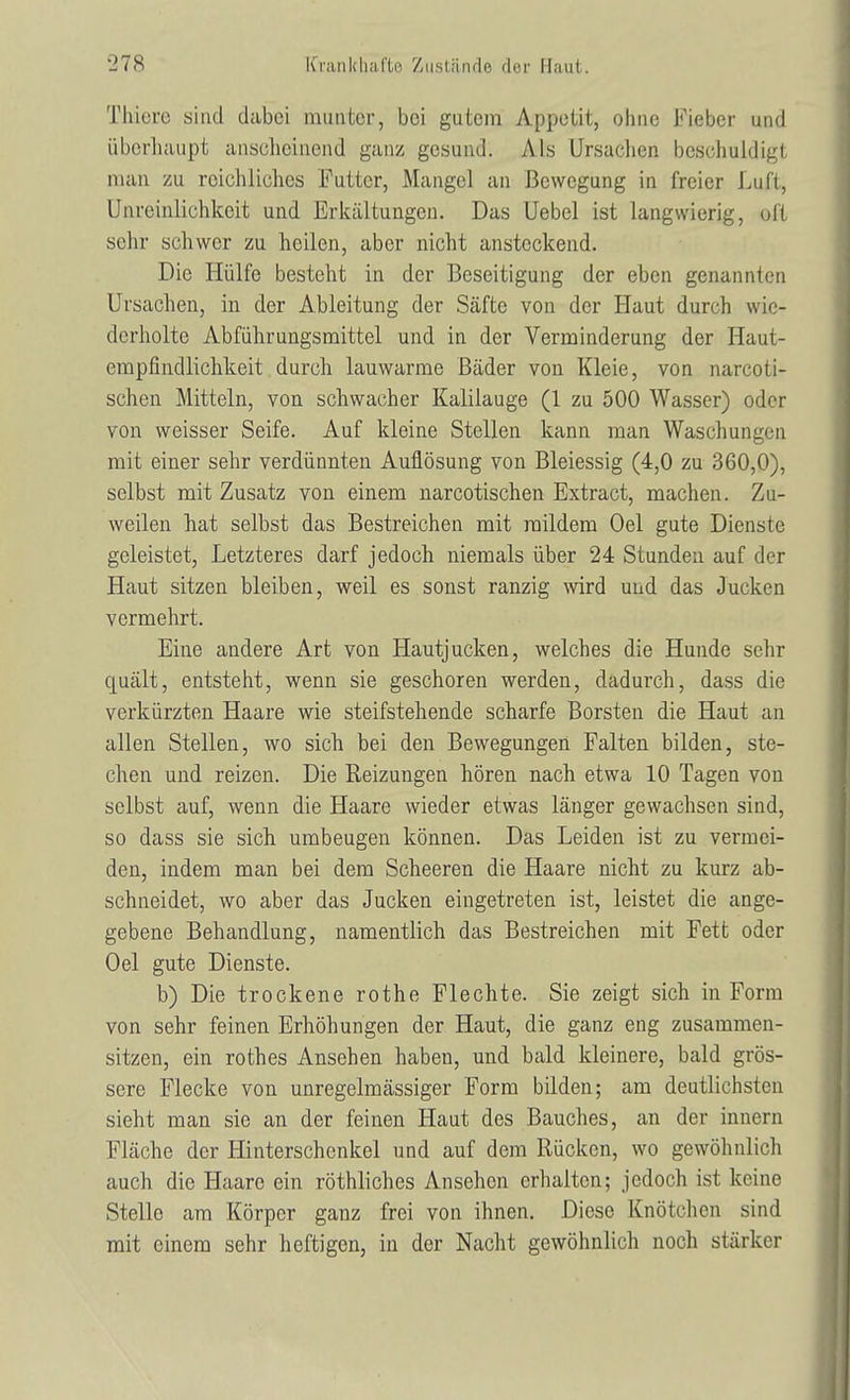 Thiere sind dabei munter, bei gutem Appetit, ohne Fieber und Überhaupt anscheinend ganz gesund. Als Ursachen beschuldigt man zu reichliches Futter, Mangel an Bewegung in freier Luft, Unreinlichkeit und Erkältungen. Das Uebel ist langwierig, oft sehr schwer zu heilen, aber nicht ansteckend. Die Hülfe besteht in der Beseitigung der eben genannten Ursachen, in der Ableitung der Säfte von der Haut durch wie- derholte Abführungsmittel und in der Verminderung der Haut- empfindlichkeit durch lauwarme Bäder von Kleie, von narcoti- schen Mitteln, von schwacher Kalilauge (1 zu 500 Wasser) oder von weisser Seife. Auf kleine Stellen kann man Waschungen mit einer sehr verdünnten Auflösung von Bleiessig (4,0 zu 360,0), selbst mit Zusatz von einem narcotischen Extract, machen. Zu- weilen hat selbst das Bestreichen mit mildem Oel gute Dienste geleistet, Letzteres darf jedoch niemals über 24 Stunden auf der Haut sitzen bleiben, weil es sonst ranzig wird und das Jucken vermehrt. Eine andere Art von Hautjucken, welches die Hunde sehr quält, entsteht, wenn sie geschoren werden, dadurch, dass die verkürzten Haare wie steifstehende scharfe Borsten die Haut an allen Stellen, wo sich bei den Bewegungen Falten bilden, ste- chen und reizen. Die Reizungen hören nach etwa 10 Tagen von selbst auf, wenn die Haare wieder etwas länger gewachsen sind, so dass sie sich umbeugen können. Das Leiden ist zu vermei- den, indem man bei dem Scheeren die Haare nicht zu kurz ab- schneidet, wo aber das Jucken eingetreten ist, leistet die ange- gebene Behandlung, namentlich das Bestreichen mit Fett oder Oel gute Dienste. b) Die trockene rothe Flechte. Sie zeigt sich in Form von sehr feinen Erhöhungen der Haut, die ganz eng zusammen- sitzen, ein rothes Ansehen haben, und bald kleinere, bald grös- sere Flecke von unregelmässiger Form bilden; am deutlichsten sieht man sie an der feinen Haut des Bauches, an der hinern Fläche der Hinterschenkel und auf dem Rücken, wo gewöhnlich auch die Haare ein röthliches Ansehen erhalten; jedoch ist keine Stello am Körper ganz frei von ihnen. Diese Knötchen sind mit einem sehr heftigen, in der Nacht gewöhnlich noch stärker