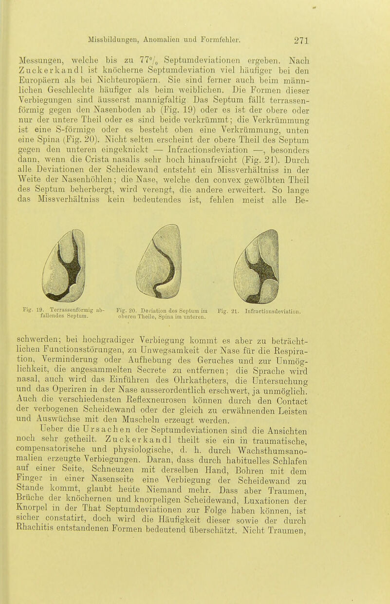 Messungen, welche bis zu 77/o Septumdeviutionen ergeben. Nach Zuckerkand l ist knöcherne Septumdeviation viel häufiger bei den Europäern als bei Niciiteuropäern. Sie sind ferner auch beim männ- lichen Geschlechte häufiger als beim weiblichen. Die Formen dieser Yerbiegungen sind äusserst mannigfaltig Das Septum fällt terrassen- förmig gegen den Nasenboden ab (Fig. 19) oder es ist der obere oder nur der untere Theil oder es sind beide vorkrümmt; die Verkrümmung ist eine S-förmige oder es besteht oben eine Verkrümmung, unten eine Spina (Fig. 2Ü). Nicht selten erscheint der obere Theil des Septum gegen den unteren eingeknickt — Infractionsdeviation —, besonders dann, wenn die Crista nasalis sehr hoch hinaufreicht (Fig. 21). Durch alle Deviationen der Scheidewand entsteht ein Missverhältniss in der Weite der Nasenhöhlen; die Nase, welche den convex gewölbten Theil des Septum beherbergt, wird verengt, die andere erweitert. So lange das Missverhältniss kein bedeutendes ist, fehlen meist alle Be- schwerden; bei hochgradiger Verbiegung kommt es aber zu beträcht- lichen Functionsstörungen, zu Unwegsamkeit der Nase für die Respira- tion, Verniinderung oder Aufhebung des Geruches und zur Unmög- lichkeit, die angesammelten Secrete zu entfei-nen; die Sprache wird nasaL auch wird das Einführen des Ohrkatheters, die Untersuchung und das Operiren in der Nase ausserordentlich erschwert, ja unmöglich. Auch die verschiedensten Reflexneurosen können durch den Contact der verbogenen Scheidewand oder der gleich zu erwähnenden Leisten und Auswüchse mit den Muscheln erzeugt werden. Ueber die Ursachen der Septumdeviationen sind die Ansichten noch sehr getheilt. Zuckerkandl theilt sie ein in traumatische, compensatorische und physiologische, d. h. durch Wachsthumsano- raahen erzeugte Verbiegungen. Daran, dass durch habituelles Schlafen auf einer Seite, Schneuzen mit derselben Pfand, Bohren mit dem Finger in einer Nasenseite eine Verbiegung der Scheidewand zu Stande kommt, glaubt heüte Niemand mehr. Dass aber Traumen, Brüche der knöchernen und knorpeligen Scheidewand, Luxationen der Knorpel in der That Septumdeviationen zur Folge haben können, ist sicher constatirt, doch wird die Häufigkeit dieser sowie der durch Rhachitis entstandenen Formen bedeutend überschätzt. Nicht Traumen,