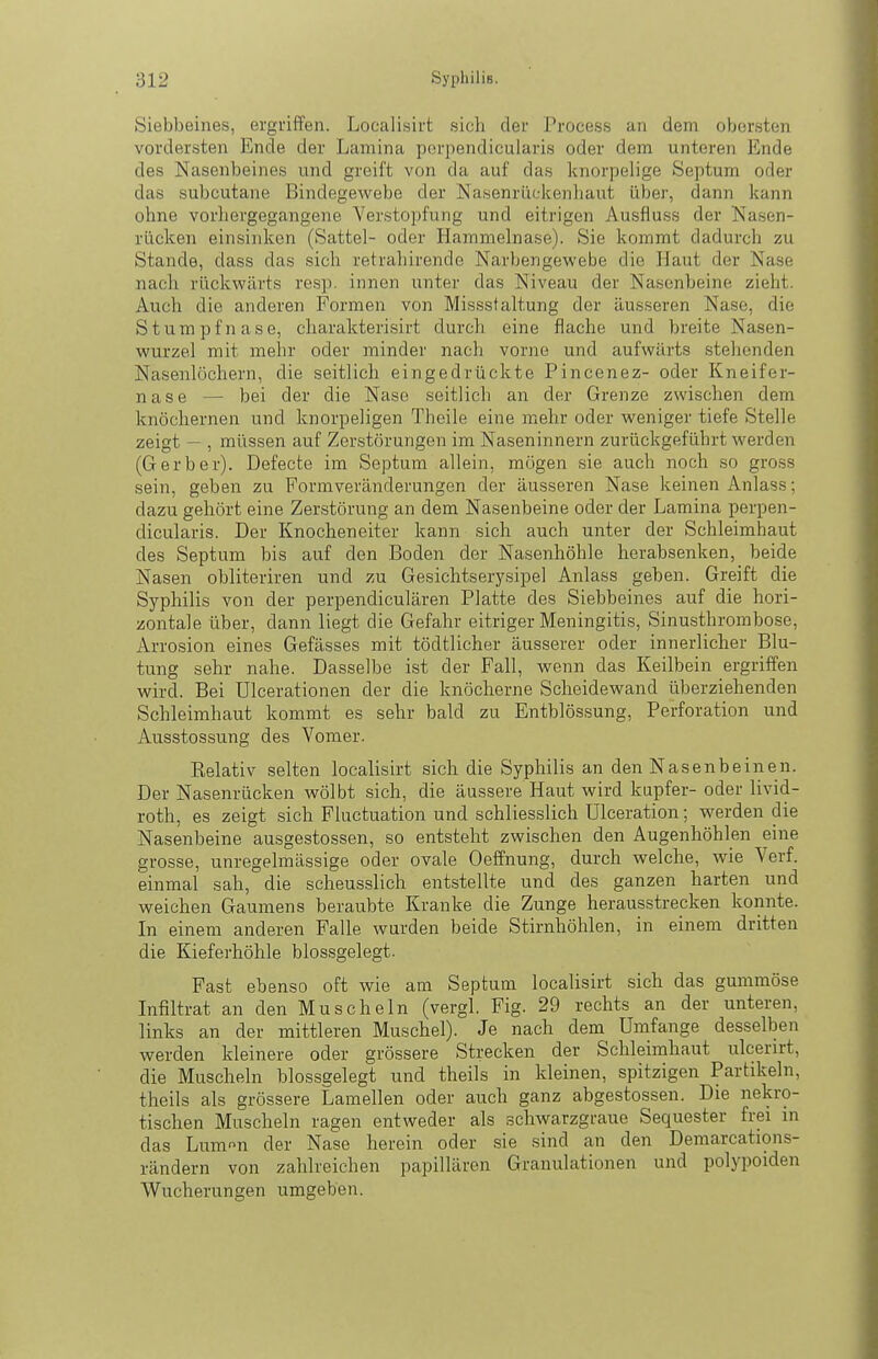 Siebbeines, ergriffen. Localisirt .sich der Process an dem obersten vordersten Ende der Lamina porpendicularis oder dem unteren Ende des Nasenbeines und greift von da auf das knorpelige Septum oder das subcutane Bindegewebe der Na.senrückenhaut über, dann kann ohne vorliergegangene Verstopfung und eitrigen Ausfluss der Nasen- rücken einsinken (Sattel- oder Hammelnase). Sie kommt dadurch zu Stande, dass das sich retrahirende Narbengewebe die Haut der Nase nach rückwärts resp. innen unter das Niveau der Nasenbeine zieht. Auch die anderen Formen von Missstaltung der äusseren Nase, die Stumpfnase, charakterisirt durch eine flache und breite Nasen- wurzel mit mehr oder minder nach vorne und aufwärts stehenden Nasenlöchern, die seitlich eingedrückte Pincenez- oder Kneifer- nase — bei der die Nase seitlich an der Grenze zwischen dem knöchernen und knorpeligen Theile eine mehr oder weniger tiefe Stelle zeigt — , müssen auf Zerstörungen im Naseninnern zurückgeführt werden (Gerber). Defecte im Septum allein, mögen .sie auch noch so gross sein, geben zu Formveränderungen der äusseren Nase keinen Anlass; dazu gehört eine Zer.störung an dem Nasenbeine oder der Lamina perpen- dicularis. Der Knocheneiter kann sich auch unter der Schleimhaut des Septum bis auf den Boden der Nasenhöhle herabsenken, beide Nasen obliteriren und zu Gesichtserysipel Anlass geben. Greift die Syphilis von der perpendiculären Platte des Siebbeines auf die hori- zontale über, dann liegt die Gefahr eitriger Meningitis, Sinusthrombose, Arrosion eines Gefässes mit tödtlicher äusserer oder innerlicher Blu- tung sehr nahe. Dasselbe ist der Fall, wenn das Keilbein ergriffen wird. Bei Ulcerationen der die knöcherne Scheidewand überziehenden Schleimhaut kommt es sehr bald zu Entblössung, Perforation und Ausstossung des Vomer. Relativ selten localisirt sich die Syphilis an den Nasenbeinen. Der Nasenrücken wölbt sich, die äussere Haut wird kupfer- oder livid- roth, es zeigt sich Fluctuation und schliesslich Ulceration; werden die Nasenbeine ausgestossen, so entstellt zwischen den Augenhöhlen eine grosse, unregelmässige oder ovale Oeffnung, durch welche, wie Verf. einmal sah, die scheusslich entstellte und des ganzen harten und weichen Gaumens beraubte Kranke die Zunge herausstrecken konnte. In einem anderen Falle wurden beide Stirnhöhlen, in einem dritten die Kieferhöhle blossgelegt. Fast ebenso oft wie am Septum localisirt sich das gummöse Infiltrat an den Muscheln (vergl. Fig. 29 rechts an der unteren, links an der mittleren Muschel). Je nach dem Umfange desselben werden kleinere oder grössere Strecken der Schleimhaut ulcerirt, die Muscheln blossgelegt und theils in kleinen, spitzigen Partikeln, theils als grössere Lamellen oder auch ganz abgestossen. Die nekro- tischen Muscheln ragen entweder als scliwarzgraue Sequester frei in das Lumn der Nase herein oder sie sind an den Demarcations- rändern von zahlreichen papillären Granulationen und polypoiden Wucherungen umgeben.