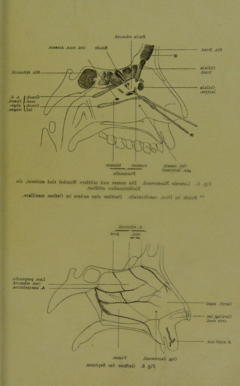 .aiti stBiaiii atabiov elsaßa .ia(> allaasitiol .Janllöia fr9U9S0i9dd9i8 .biotndls .A ieoq .Jm .oibnsqteq .mfij .biooiifjs ,88oi .«nitÄfsqoBÄfl .A .tatnoV .iinoBdooBl .gtO