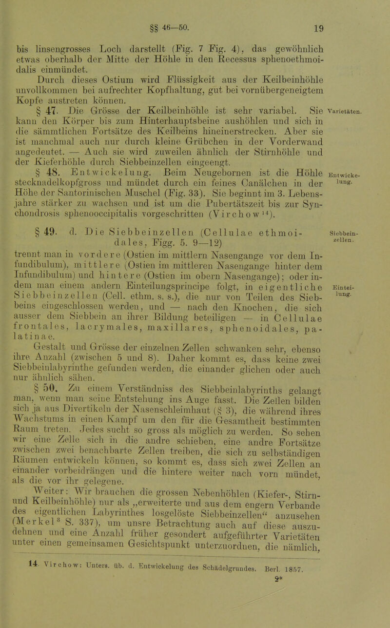 bis linsengrosses Loch darstellt (Fig. 7 Fig. 4), das gewöhnlich etwas oberhalb der Mitte der Höhle in den Recessus sphenoethmoi- dalis einmündet. Durch dieses Ostium wird Flüssigkeit aus der Keilbeinhöhle unvollkommen bei aufrechter Kopfhaltung, gut bei vornübergeneigtem Kopfe austreten können. § 47- Die Grösse der Keilbeinhöhle ist sehr variabel. Sie Varietäten, kann den Körper bis zum Hinterhauptsbeine aushöhlen und sich in die sämmtlichen Fortsätze des Keilbeins hineinerstrecken. Aber sie ist manchmal auch nur durch kleine Grrübchen in der Vorderwand angedeutet. — Auch sie wird zuweilen ähnlich der Stirnhöhle und der Kieferhöhle durch Siebbeinzellen eingeengt. § 48. EntWickelung. Beim Neugebornen ist die Höhle Bntwicke- stecknadelkopfgross und mündet durch ein feines Canälchen in der Höhe der Santorinischeu Muschel (Fig. 33). Sie beginnt im 3. Lebens- jahre stärker zu wachsen und ist um die Pubertätszeit bis zur Syn- chondrosis sphenooccipitalis vorgeschritten (V i r c h o w ' §49. d. Die Siebbeinzellen (Cellulae ethmoi- siebbein- dales, Figg. 5. 9—12) trennt man in vordere (Ostien im mittlem Nasengange vor dem In- fundibulum), mittlere (Ostien im mittleren Nasengange hinter dem Infundibulura) und hintere (Ostien im obern Nasengange); oder in- dem man einem andern Einteilungsprincipe folgt, in eigentliche Eintei- Siebbeiuzellen (Gell. ethm. s. s.), die nur von Teilen des Sieb- beins eingeschlossen Averdeu, und — nach den Knochen, die sich ausser dem Siebbein an ihrer Bildung beteiligen — in Gellulae frontales, lacrymales, maxillares, sphenoidales, pa- latinae. Gestalt und Grösse der einzelnen Zellen schwanken sehr, ebenso ihre Anzahl (zwischen 5 und 8). Daher kommt es, dass keine zwei Siebbeinlabyrinthe gefunden werden, die einander glichen oder auch nur ähnlich sähen. § 50. Zu einem Verständniss des Siebbeinlabyrinths gelangt man, wenn man seine Entstehung ins Auge fasst. Die Zellen bilden sich ja aus Divertikeln der Nasenschleimhaut (§ 3), die während ihres Waclistums in einen Kampf um den für die Gesamtheit bestimmten Raum treten. Jedes sucht so gross als möglich zu werden. So sehen wir eine Zelle sich in die andre schieben, eine andre Fortsätze zwischen zwei benachbarte Zellen treiben, die sich zu selbständigen Räumen entwickeln können, so kommt es, dass sich zwei Zellen^n einander vorbeidrängen und die hintere weiter nach vorn mündet als die vor ihr gelegene. ' Weiter: Wir brauchen die grossen Nebenhöhlen (Kiefer-, Stirn- und Keilbemhöhle) nur als „erweiterte und aus dem engern Verbände des eigentlichen Labyrinthes losgelöste Siebbeinzellen anzusehen (Merkel b. 337), um unsre Betrachtung auch auf diese auszu- dehnen und eine Anzahl früher gesondert aufgeführter Varietäten unter einen gemeinsamen Gesichtspunkt unterzuordnen, die nämlich, 14. Virchow: Unters, üb. d. Entwickelung des Schädelgrundes. Berl. 1857. 2*
