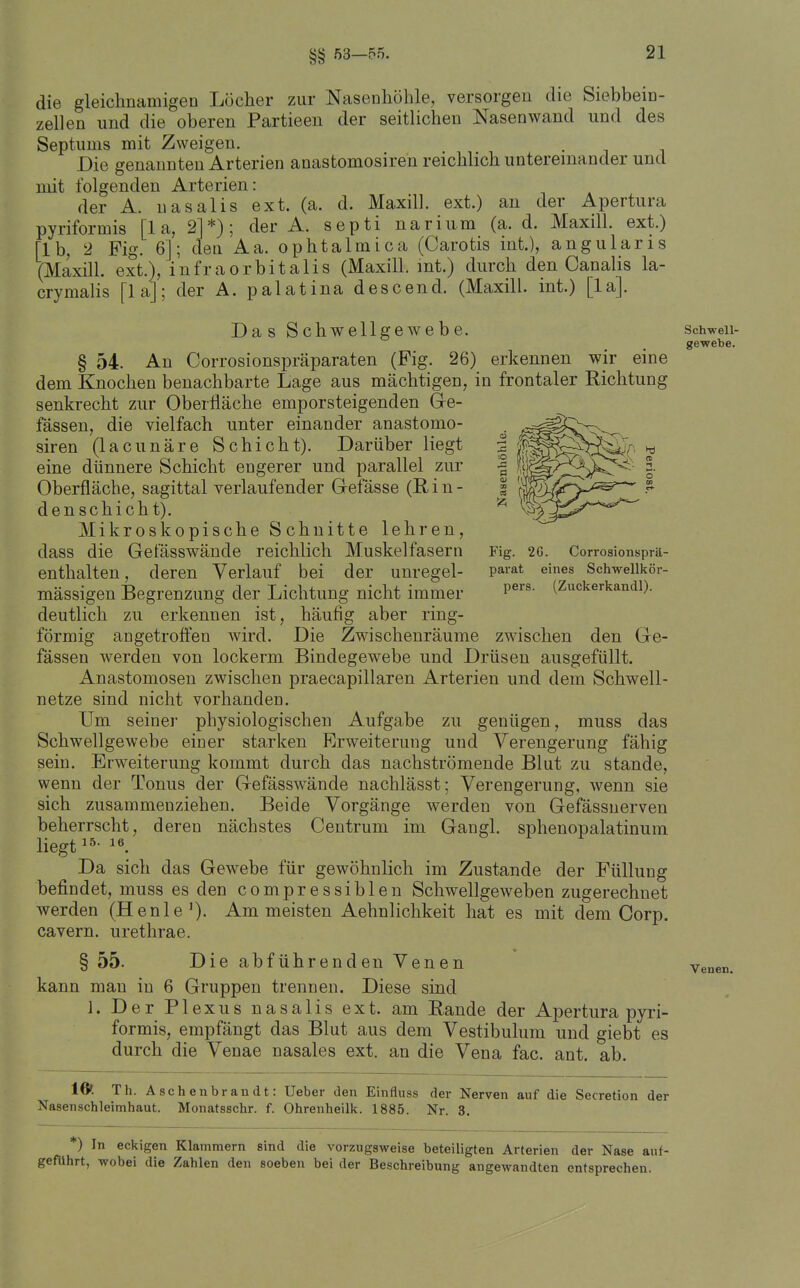 §§ 53-55. die gleichnamigen Löcher zur Nasenhöhle, versorgen die Siebbein- zellen und die oberen Partieen der seitlichen Nasenwand und des Septums mit Zweigen. Die genannten Arterien anastomosiren reichlich untereinander und mit folgenden Arterien: der A. uasalis ext. (a. d. Maxill. ext.) an der Apertura pyriformis [1 a, 2]*); der A. septi narium (a. d. Maxill. ext.) ri b, 2 Fig. 6]; den Aa. ophtalmica (Carotis int), angularis (Maxill. ext.), infraorbitalis (Maxill. mt.) durch den Canalis la- crymalis [1 a]; der A. palatina descend. (Maxill. int.) [la]. Da s Schwellgewebe. schweu- gewebe. § 54. An Corrosionspräparaten (Fig. 26) erkennen wir eine dem Knochen benachbarte Lage aus mächtigen, in frontaler Richtung senkrecht zur Oberfläche emporsteigenden Ge- fässen, die vielfach unter einander anastomo- siren (lacunäre Schicht). Darüber liegt eine dünnere Schicht engerer und parallel zur Oberfläche, sagittal verlaufender Grefässe (Rin- denschicht). Mikroskopische Schnitte lehren, dass die Gefässwände reichlich Muskelfasern Fig. 26. Corrosionsprä- enthalten, deren Verlauf bei der unregel- v^r&t eines Schweiikör- mässigen Begrenzung der Lichtung nicht immer P®*' (Zuckerkandi). deutlich zu erkennen ist, häufig aber ring- förmig angetroffen wird. Die Zwischenräume zwischen den Ge- fässen werden von lockerm Bindegewebe und Drüsen ausgefüllt, Anastomosen zwischen praecapillaren Arterien und dem Schwell- netze sind nicht vorhanden. Um seiner physiologischen Aufgabe zu genügen, muss das Schwellgewebe einer starken Erweiterung und Verengerung fähig sein. Erweiterung kommt durch das nachströmende Blut zu stände, wenn der Tonus der Gefässwände nachlässt; Verengerung, wenn sie sich zusammenziehen. Beide Vorgänge werden von Gefässnerven beherrscht, deren nächstes Centrum im Gangl. sphenopalatinum liegt 15- 18. Da sich das Gewebe für gewöhnlich im Zustande der Füllung befindet, muss es den compressiblen Schwellgeweben zugerechnet werden (Henle'). Am meisten Aehnlichkeit hat es mit dem Corp. cavern. urethrae. § 55. Die abführenden Venen kann man in 6 Gruppen trennen. Diese sind 1. Der Plexus nasalis ext. am Rande der Apertura pyri- formis, empfängt das Blut aus dem Vestibulum und giebt es durch die Venae nasales ext. an die Vena fac. ant. ab. 16t Th. Aschenbrandt: Ueber den Einfluss der Nerven auf die Secretion der Nasenschleimhaut. Monatsschr. f. Ohrenheilk. 1885. Nr. 3. Venen. *) In eckigen Klammern sind die vorzugsweise beteiligten Arterien der Nase auf- geführt, wobei die Zahlen den soeben bei der Beschreibung angewandten entsprechen.