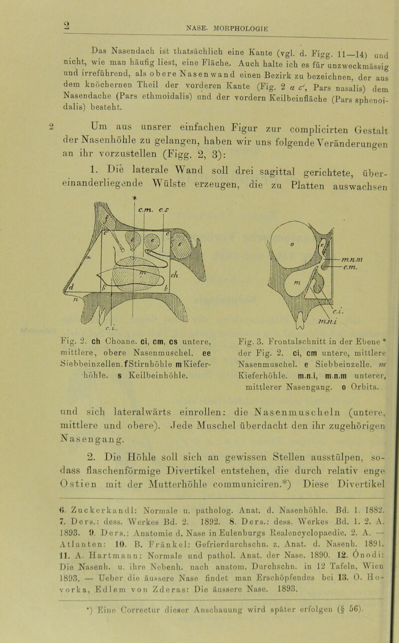 NASE. MORPHOLOGIE Das Nasendach, ist thatsächlich eine Kante (vgl. d. Figg. 11—14) uu(l nicht, wie man häufig liest, eine Fläche. Auch halte ich es für unzweckmässig und irreführend, als obere Nasenwand einen Bezirk zu bezeichnen, der aus dem knöchernen Theü der vorderen Kante (Fig. 2 « Pars nasalis) dem Nasendache (Pars cthmoidalis) und der vordem Keilbeinfläche (Pars sphenoi- dalis) besteht. Um aus unsrer einfachen Figur zur complicirten Gestalt der Nasenhöhle zu gelangen, haben wir uns folgende Veränderungen an ihr Arorzustellen (Figg. 2, 3): 1. Die laterale Wand soll drei sagittal gerichtete, über- einanderliegende Wülste erzeugen, die zu Platten auswachsen und sich lateralwärts einrollen: die Nasenmuscheln (untere, mittlere und obere). .Jede Muschel überdacht den ihr zugehörigen Nasengang. O O 2. Die Plöhle soll sich an gewissen Stellen ausstülpen, so- dass flaschenförmige Divertikel entstehen, die durch l-elativ enge Ostien mit der Mutterhöhle communiöiren.*) Diese Divertikel <5. Zuckerkandl: Normale u. patholog. Anat. d. Nasenhöhle. Bd. 1. 1882. 7. Ders.: dess. Werkes Bd. 2. 1892. 8. Ders.: dess. Werkes Bd. 1. 2. A. 1893. 9. Ders.: Anatomie d. Nase in Eulenburgs liealencyclopaedie. 2. A. — Atlanten: 10. B. Fränkcl: Gefrierdurchschn. z. Anat. d. Nasenh. 1891. 11. A. Hartmann: Normale und pathol. Anat. der Nase. 1890. 12. Onodi: Die Nasenh. u. ihre Ncbenh. nach anatom. Dtirchschn. in 12 Tafeln, Wien 1893. — (Jeher die äussere Nase findet man Erschöpfendes bei 13. 0. Ho* vorka, Edlem von Zderas: Die äussere Nase. 1893. Fig. 2. ch Ghoane. Ci, cm, cs untere, mittlere, obere Nasenmuschel, ee Siebbeinzellen.fStirnhöhle m Kiefer- höhle. s Keilbeinhöhle. Fig. 3. Frontalschnitt in der Ebene * der Fig. 2. ci, cm untere, mittlere Nasenmuschel, e Siebbeinzelle, m Kieferhöhle, m.n.i, mn.m unterer, mittlerer Nasengang, o Orbita. ) Eine Correctur dieser Anschauung wird später erfolgen (§ 56).