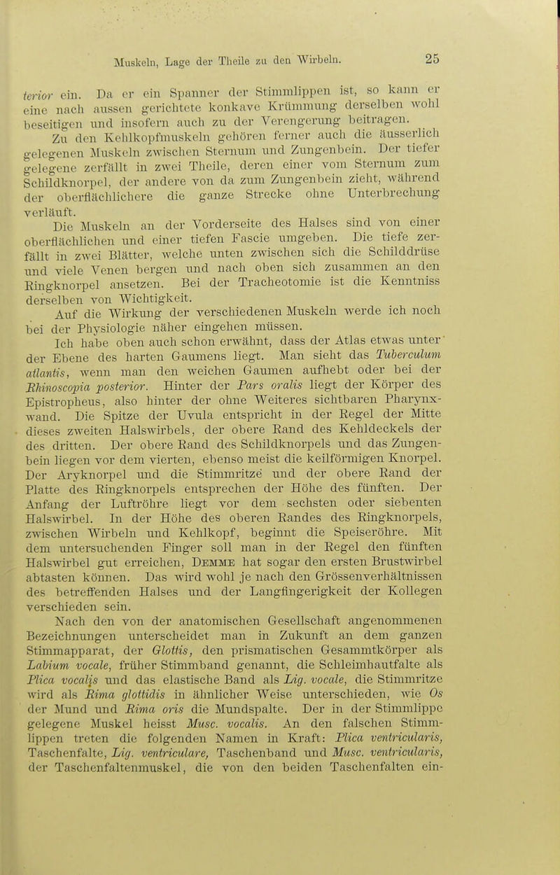 Muskeln, Lage der Theile zu den AVirbeln. terior ein. Da er ein Spanner der Stinimlippen ist, so kann er eine nach aussen gerichtete konkave Krünmuing derselben wohl beseitigen und insofern auch zu der Verengerung beitragen. Zu den Kehlkopfmuskeln gehören ferner auch die äusserlich gelegenen Muskeln zwischen Sternum und Zungenbein. Der tiefer gelegene zerfnllt in zwei Theile, deren einer vom Sternum zum Schildknorpel, der andere von da zum Zungenbein zieht, während der oberflächlichere die ganze Strecke ohne Unterbrechung verläuft. Die Muskeln an der Vorderseite des Halses sind von emer oberflächlichen \mcl einer tiefen Fascie umgeben. Die tiefe zer- fällt in zwei Blätter, welche unten zwischen sich die Schilddrüse und viele Venen bergen und nach oben sich zusammen an den Ringknorpel ansetzen. Bei der Tracheotomie ist die Kenntniss derselben von Wichtigkeit. Auf die Wirkung der verschiedenen Muskeln werde ich noch bei der Physiologie näher eingehen müssen. Ich habe oben auch schon erwähnt, dass der Atlas etwas unter' der Ebene des harten Gaumens liegt. Man sieht das Tuberculum aüaniis, wenn man den weichen Gaumen aufhebt oder bei der ItMnosco2na posterior. Hinter der Pars oralis liegt der Körper des Epistropheus, also hinter der ohne Weiteres sichtbaren Pharynx- wand. Die Spitze der Uvula entspricht in der Regel der Mitte dieses zAveiten Halswirbels, der obere Rand des Kehldeckels der des dritten. Der obere Rand des Schildknorpels und das Zungen- bein liegen vor dem vierten, ebenso meist die keilförmigen Knorpel. Der Aryknorpel und die Stimmritze und der obere Rand der Platte des Ringknorpels entsprechen der Höhe des fünften. Der Anfang der Luftröhre liegt vor dem sechsten oder siebenten Halswirbel. In der Höhe des oberen Randes des Ringknorpels, zwischen Wii-beln und Kehlkopf, beginnt die Speiseröhre. Mit dem untersuchenden Finger soll man in der Regel den fünften Halswirbel gut erreichen, Dehme hat sogar den ersten Brustwirbel abtasten können. Das wird wohl je nach den Grössenverhältnissen des betreffenden Halses und der Langflngerigkeit der Kollegen verschieden sein. Nach den von der anatomischen Gesellschaft angenommenen Bezeichnungen unterscheidet man in Zukunft an dem ganzen Stimmapparat, der Glottis, den prismatischen Gesammtkörper als Ldbium vocale, früher Stimmband genannt, die Schleimhautfalte als Flica vocaljs und das elastische Band als Lig. vocale, die Stimmritze wird als Eima glottidis in ähnlicher Weise unterschieden, wie Os der Mund und Rima oris die Mundspalte. Der in der Stimmlippc gelegene Muskel helsst Muse, vocalis. An den falschen Stimm- lippen treten die folgenden Namen in Kraft: Plica ventricularis, Taschenfalte, Lig. ventriculare, Taschenband und Mtsc. ventricularis, der Taschenfaltenmuskel, die von den beiden Taschenfalten ein-