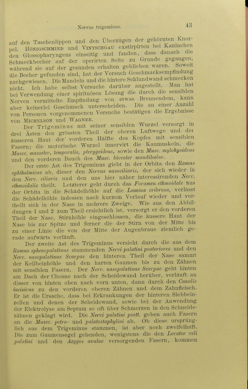 Nervus trigemiiius. auf den Taschenlippen und den Überzügen der gehörnten Knoi- pel HÖNIGSCHMIED und ViNTSCHGAU cxstirpirten bei Kanmcheii den Glossopharvngeus einseitig und fanden, dass danach die Schmeckbecher \iuf der operirten Seite zu Grunde gegangen während sie auf der gesunden erhalten geblieben waren. Soweit die Becher gefunden sind, hat der Versuch GeschmacksemiDÜndung nachgewiesen. Die Mandeln und die hintere Schlundwand schmecken nicht Ich habe selbst Versuche darüber angestellt. Man hat bei Verwendung einer spüituösen Lösung die durch die sensiblen Nerven vermittelte Emplindung von etwas Brennendem, kann aber keinerlei Geschmack unterscheiden. Die an einer Anzahl von Personen vorgenommenen Versuche bestätigen die Ergebnisse von MicHELSON und Wagneb. Der Trio-eminus mit seiner sensiblen Wurzel versorgt m drei Ästen den grössten Theil der oberen Luftwege und dei äusseren Haut der' vorderen Hälfte des Kopfes mit sensiblen Fasern- die motorische Wurzel innervirt die Kaumuskeln, die Muscc. masseter, temporalis, pterygoideus, sowie den Muse, mylohyoideus und den vorderen Bauch des Muse, biventer manäibulae. Der erste Ast des Trigeminus giebt in der Orbita den Bamus opMhalmicus ab, dieser den Nervus nasociUaris, der sich wieder m den Nerv, ciliaris und den uns hier näher interessirenden Nerv, ethmoidalis theilt. Letzterer geht durch das Foramen ethmoidale -aus der Orbita in die Schädelhöhle auf die Lamina cribrosa, verlässt die Schädelhöhle indessen nach kurzem Verlauf wieder und ver- theilt sich in der Nase in mehrere Zweige. Wie aus den Abbil- dungen 1 und 2 zum Theil ersichtlich ist, versorgt er den vorderen Theil der Nase, Stirnhöhle eingeschlossen, die äussere Haut der Nase bis zur Spitze und ferner die der Stirn von der Mitte bis zu einer Linie die von der Mitte der Augenbraue ziemlich ge- rade aufwärts verläuft. Der zweite Ast des Trigeminus versieht durch die aus dem Bamus sxihenopalatmas stammenden Nervi palatini posteriores und den Nerv, nasopalatinus Scarpae den hinteren Theil der Nase sammt der Keilbeinhöhle und den harten Gaumen bis zu den Zähnen mit sensiblen Fasern. Der Nerv, nasopalatinus Scarpae geht hinten am Dach der Choane nach der Scheidewand herüber, verläuft an dieser von hinten oben nach vorn unten, dann durch den Ganalis inäsivus zu den vorderen oberen Zähnen und dem Zahnfleisch. Er ist die Ursache, dass bei Erkrankungen der hinteren Siebbein- zellen und denen der Scheidewand, sowie bei der Anwendung der Elektrolyse am Septum so oft über Schmerzen in den Schneide- zähnen geklagt wird. Die Nervi palatini postt. geben auch Fasern an die Muscc. petro- und palatostaphylini ab. Ob diese ursprüng- lich aus dem Trigeminus stammen, ist aber noch zweifelhaft. Die zum Gaumensegel gehenden, wenigstens die den Levator veli palatini und den Äzygos uvulae versorgenden Fasern, kommen