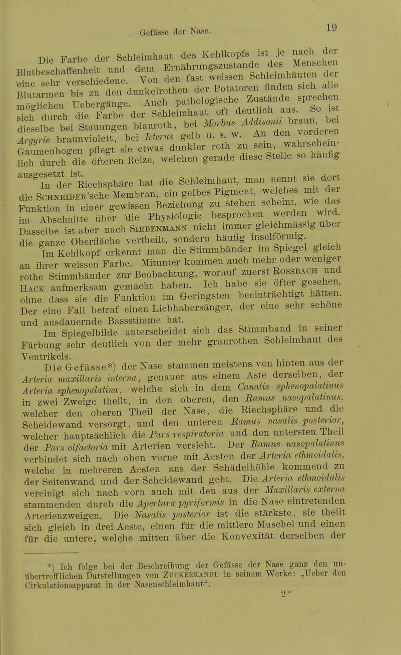 Gefässe der Nase. r,ie Farbe der Schleimhaut des Kehlkopfs ist Je nach der ^nd de. —r^h^?^.~ dSelttitauungen blauroth, hei Aravrie braunviolett, bei Icterus gelb u. s. w. An den Loreleien tZ:ils^n pflegt' sie etwas dunkler roth -^-^^^ lieh dm-ch die öfteren Reize, welchen gerade diese Stelle so hauhg ''ifder Riechsphäre hat die Schleimhaut, man nennt sie dort die ScHNEiDEn'sche Membran, ein gelbes Pigment, welches mit der Fi^ktion in einer gewissen Beziehung zu stehen -^^^ ' --J^ im Abschnitte über 'die Physiologie besprochen werden_ wiid Dasselbe ist aber nach Siebenmann nicht immer gleichmassig über die ganze Oberfäche vertheilt, sondern häufig inselformig Im Kehlkopf erkennt man die Stimmbänder im Spiegel gleich an ihrer weissen Farbe. Mitunter kommen auch mehr oder weniger rothe Stimmbänder zur Beobachtung, worauf zuerst Rossbach und Hack aufmerksam gemacht haben. Ich habe sie öfter gesehen, ohne dass sie die Funktion im Geringsten beeinträchtigt hatten. Der eine Fall betraf einen Liebhabersänger, der eine sehr schone und ausdauernde Bassstimme hat. Im Spiegelbilde unterscheidet sich das Stimmband m semer Färbung sehr deutlich von der mehr graurothen Schleimhaut des Ventrikels * Die Gefässe*) der Nase stammen meistens von hinten aus der Ärteria maxillaris interna, genauer aus einem Aste derselben, der Arteria sphenopalatma, welche sich in dem Canalis sphenopalatmus in zwei Zweige theilt, in den oberen, den Bamus nasopalatmus, welcher den oberen Theil der Nase, die Riechsphäre und die Scheidewand versorgt, und den unteren Bamis nasahs posterior, welcher hauptsächlich die Pars respiratoria und den untersten Theil der Pars olfadoria mit Arterien versieht. Der Bamus nasopalatmus verbindet sich nach oben vorne mit Aesten der Arteria ethmoidahs, welche in mehreren Aesten aus der Schädelhöhle kommend zu der Seitenwand und der Scheidewand geht. Die Arteria ethmoidahs vereinigt sich nach vorn auch mit den aus der Maxillaris externa stammenden durch die Apertura pyriformis in die Nase eintretenden Arterienzweigen. Die Nasalis posterior ist die stärkste, sie theilt sich gleich in drei Aeste, einen für die mittlere Muschel und einen für die untere, welche mitten über die Konvexität derselben der *) Icli folge bei der Besclireibung der Gefässe der Nase gauz den un- übertrefflichen Darstellungen von ZucKEEKANDL in seinem Werke: „Ueber den Girkulationsapparat in der Naseuschleimhaut. 2*