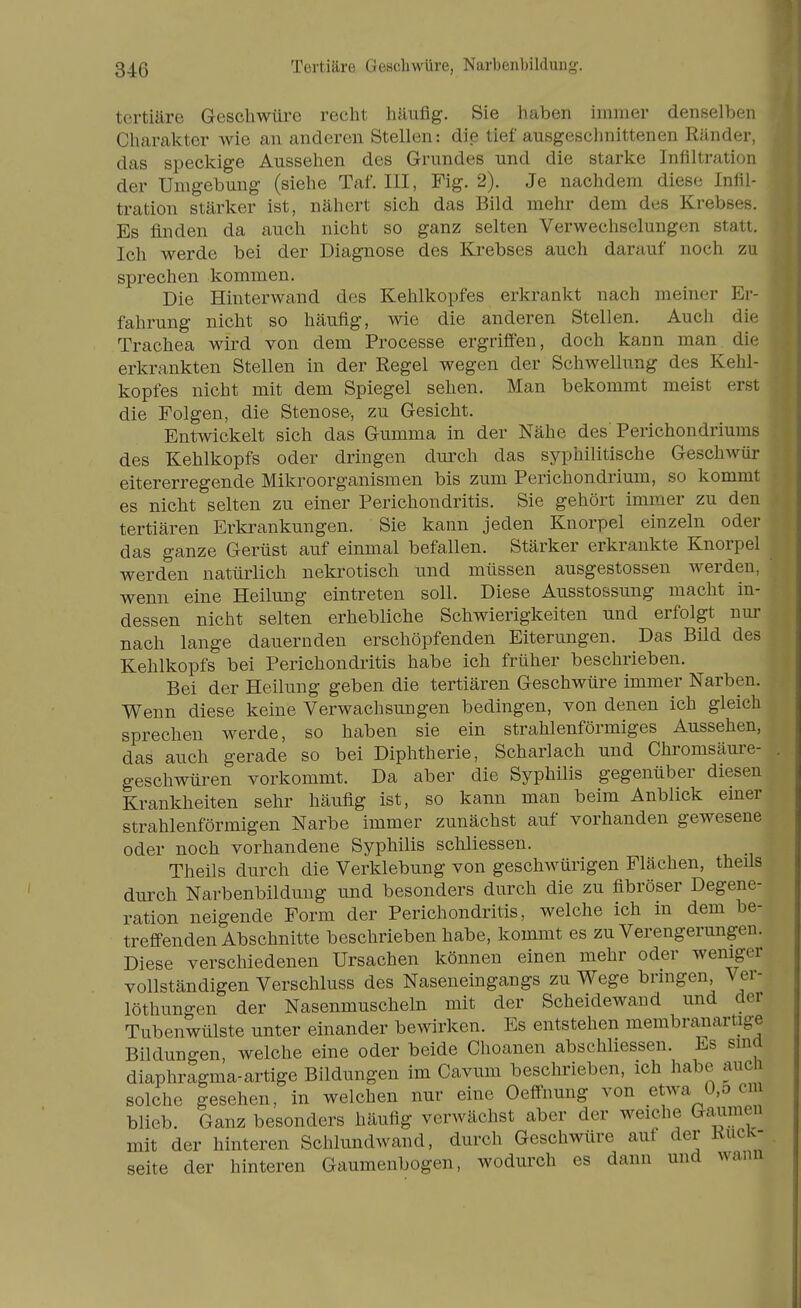 tertiäre Geschwüre recht häufig. Sie haben immer denselben Charakter wie an anderen Stellen: die tief ausgeschnittenen Ränder, das speckige Aussehen des Grundes und die starke Infiltration der Umgebung (siehe Taf. III, Fig. 2). Je nachdem diese Infil- tration stärker ist, nähert sich das Bild mehr dem des Krebses. Es finden da auch nicht so ganz selten Verwechselungen stall. Ich werde bei der Diagnose des Krebses auch darauf noch zu sprechen kommen. Die Hinterwand des Kehlkopfes erkrankt nach meiner Ei- fahrung nicht so häufig, wie die anderen Stellen. Auch die Trachea wird von dem Processe ergrifi'en, doch kann man die erkrankten Stellen in der Regel wegen der Schwellung des Kehl- kopfes nicht mit dem Spiegel sehen. Man bekommt meist erst die Folgen, die Stenose, zu Gesicht. Entwickelt sich das Gumma in der Nähe des'Perichondriums des Kehlkopfs oder dringen durch das syphilitische Geschwür eitererregende Mikroorganismen bis zum Perichondrium, so kommt es nicht selten zu einer Perichondritis. Sie gehört immer zu den tertiären Erkrankungen. Sie kann jeden Knorpel einzeln oder das ganze Gerüst auf einmal befallen. Stärker erkrankte Knorpel werden natürlich nekrotisch und müssen ausgestossen werden, wenn eine Heilung eintreten soll. Diese Ausstossung macht in- dessen nicht selten erhebliche Schwierigkeiten und erfolgt nur nach lange dauernden erschöpfenden Eiterungen. Das Bild des Kehlkopfs bei Perichondritis habe ich früher beschrieben. Bei der Heilung geben die tertiären Geschwüre immer Narben. Wenn diese keine Verwachsungen bedingen, von denen ich gleich sprechen werde, so haben sie ein strahlenförmiges Aussehen, das auch gerade so bei Diphtherie, Schariach und Chromsäure- geschwüren vorkommt. Da aber die Syphilis gegenüber diesen Krankheiten sehr häufig ist, so kann man beim Anblick emer strahlenförmigen Narbe immer zunächst auf vorhanden gewesene oder noch vorhandene Syphilis schliessen. Theils durch die Verklebung von geschwürigen Flächen, theils durch Narbenbildung imd besonders durch die zu fibröser Degene- ration neigende Form der Perichondritis, welche ich m dem be- treff-enden Abschnitte beschrieben habe, kommt es zu Verengerungen. Diese verschiedenen Ursachen können einen mehr oder weniger vollständigen Verschluss des Naseneingangs zu Wege brmgen, Ver- löthungen der Nasenmuscheln mit der Scheidewand und der Tubenwülste unter einander bewirken. Es entstehen membranartige Bildungen welche eine oder beide Choanen abschliessen. Es sind diaphragma-artige Bildungen im Cavum beschrieben, ich habe auch solche gesehen, in welchen nur eine Oeff-nung von etwa ü,ö cm blieb. Ganz besonders häufig verwächst aber der weiche Gaumen mit der hinteren Schlundwand, durch Geschwüre auf der Kuck- seite der hinteren Gaumenbogen, wodurch es dann und wann