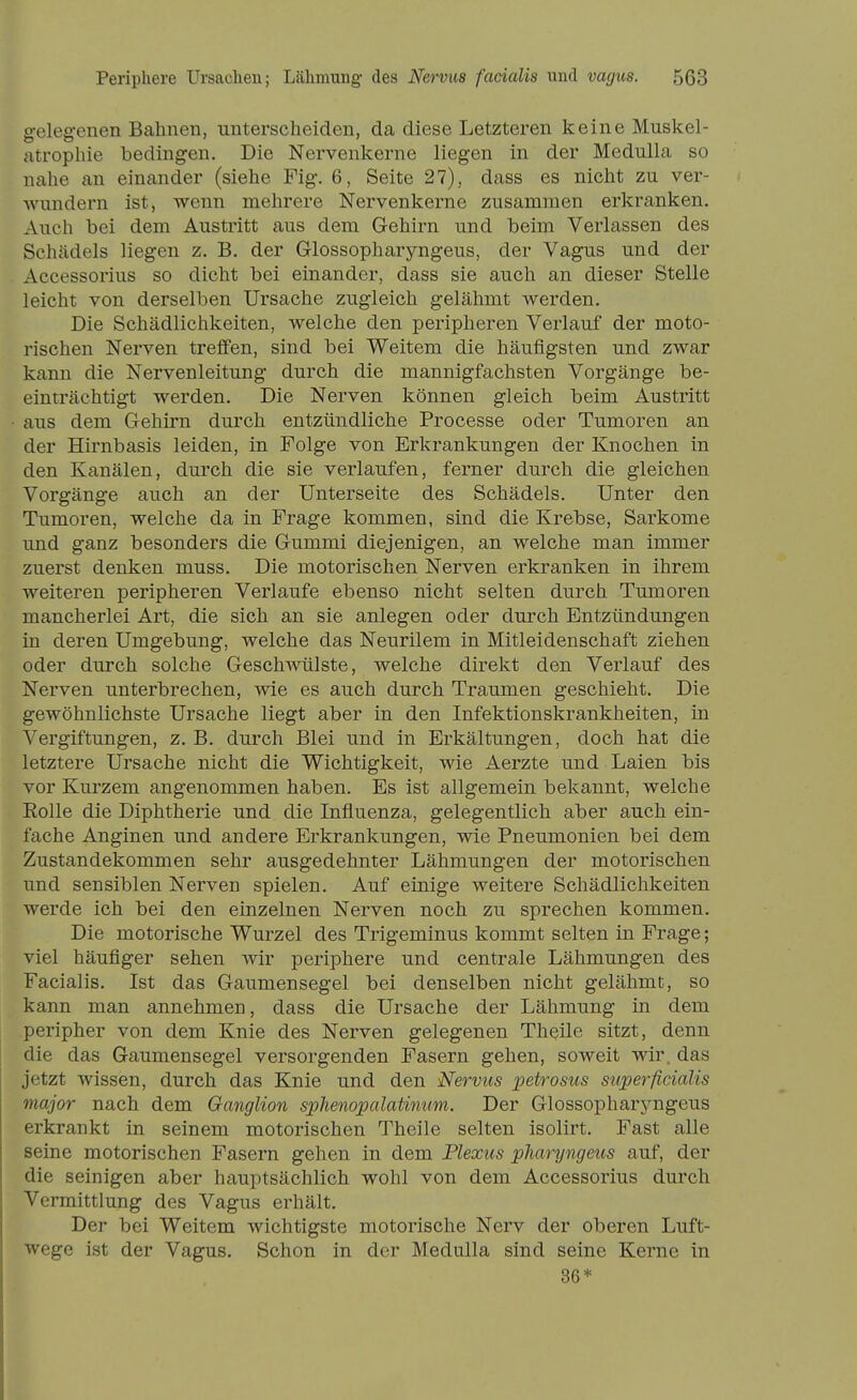 gelegenen Bahnen, unterscheiden, da diese Letzteren keine Muskel- ntrophie bedingen. Die Nervenkerne liegen in der Medulla so nahe an einander (siehe Fig. 6, Seite 27), dass es nicht zu ver- Avundern ist, wenn mehrere Nervenkerne zusammen erkranken. Auch bei dem Austritt aus dem Gehirn und beim Verlassen des Schädels liegen z. B. der Glossopharyngeus, der Vagus und der Accessorius so dicht bei einander, dass sie auch an dieser Stelle leicht von derselben Ursache zugleich gelähmt werden. Die Schädlichkeiten, welche den peripheren Verlauf der moto- rischen Nerven treffen, sind bei Weitem die häufigsten und zwar kann die Nervenleitung durch die mannigfachsten Vorgänge be- einträchtigt werden. Die Nerven können gleich beim Austritt aus dem Gehirn durch entzündliche Processe oder Tumoren an der Hirnbasis leiden, in Folge von Erkrankungen der Knochen in den Kanälen, durch die sie verlaufen, ferner durch die gleichen Vorgänge auch an der Unterseite des Schädels. Unter den Tumoren, welche da in Frage kommen, sind die Krebse, Sarkome und ganz besonders die Gummi diejenigen, an welche man immer zuerst denken muss. Die motorischen Nerven erkranken in ihrem weiteren peripheren Verlaufe ebenso nicht selten durch Tumoren mancherlei Art, die sich an sie anlegen oder durch Entzündungen in deren Umgebung, welche das Neurilem in Mitleidenschaft ziehen oder durch solche Geschwülste, welche direkt den Verlauf des Nerven unterbrechen, wie es auch durch Traumen geschieht. Die gewöhnlichste Ursache liegt aber in den Infektionskrankheiten, in Vergiftungen, z. B. durch Blei und in Erkältungen, doch hat die letztere Ursache nicht die Wichtigkeit, wie Aerzte und Laien bis vor Kurzem angenommen haben. Es ist allgemein bekannt, welche Rolle die Diphtherie und die Influenza, gelegentlich aber auch ein- fache Anginen und andere Erkrankungen, wie Pneumonien bei dem Zustandekommen sehr ausgedehnter Lähmungen der motorischen und sensiblen Nerven spielen. Auf einige weitere Schädlichkeiten werde ich bei den einzelnen Nerven noch zu sprechen kommen. Die motorische Wurzel des Trigeminus kommt selten in Frage; viel häufiger sehen wir periphere und centrale Lähmungen des Facialis. Ist das Gaumensegel bei denselben nicht gelähmt, so kann man annehmen, dass die Ursache der Lähmung in dem peripher von dem Knie des Nerven gelegenen Theile sitzt, denn die das Gaumensegel versorgenden Fasern gehen, soweit wir. das jetzt wissen, durch das Knie und den Nervus petrosus superficialis major nach dem Ganglion sphenopalatimim. Der Glossopharyngeus erkrankt in seinem motorischen Theile selten isolirt. Fast alle seine motorischen Fasern gehen in dem Plexus pharyngeus auf, der die seinigen aber hauptsächlich wohl von dem Accessorius durch Vermittlung des Vagus erhält. Der bei Weitem wichtigste motorische Nerv der oberen Luft- wege ist der Vagus. Schon in der Medulla sind seine Kerne in 36*