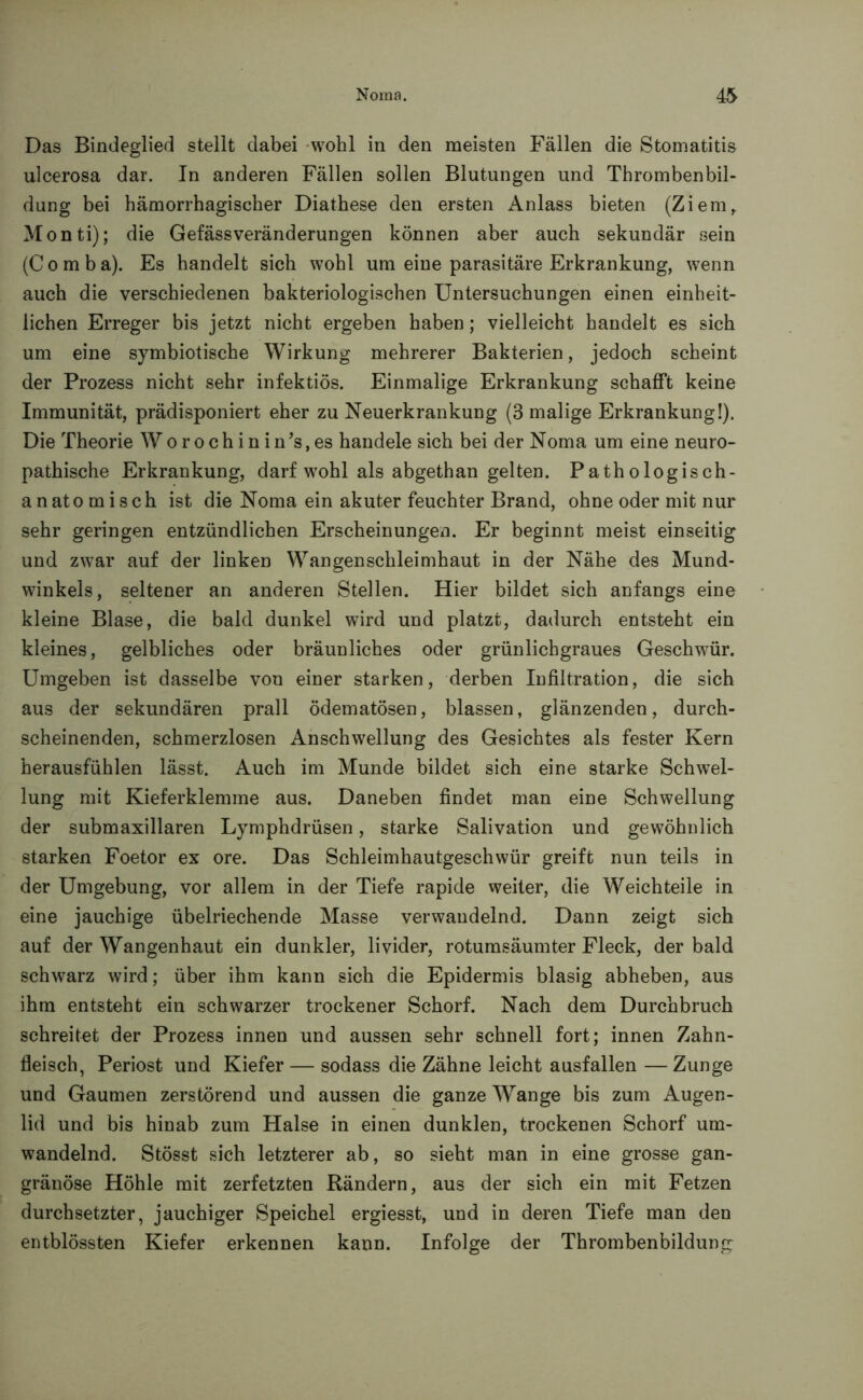 Das Bindeglied stellt dabei wohl in den meisten Fällen die Stomatitis ulcerosa dar. In anderen Fällen sollen Blutungen und Thrombenbil- dung bei hämorrhagischer Diathese den ersten Anlass bieten (Ziem, Monti); die GefässVeränderungen können aber auch sekundär sein (Comba). Es handelt sich wohl um eine parasitäre Erkrankung, wenn auch die verschiedenen bakteriologischen Untersuchungen einen einheit- lichen Erreger bis jetzt nicht ergeben haben; vielleicht handelt es sich um eine symbiotische Wirkung mehrerer Bakterien, jedoch scheint der Prozess nicht sehr infektiös. Einmalige Erkrankung schafft keine Immunität, prädisponiert eher zu Neuerkrankung (3 malige Erkrankung!). Die Theorie W o r o c h i n i n 's, es handele sich bei der Noma um eine neuro- pathische Erkrankung, darf wohl als abgethan gelten. Pathologisch- anatomisch ist die Noma ein akuter feuchter Brand, ohne oder mit nur sehr geringen entzündlichen Erscheinungen. Er beginnt meist einseitig und zwar auf der linken Wangenschleimhaut in der Nähe des Mund- winkels, seltener an anderen Stellen. Hier bildet sich anfangs eine kleine Blase, die bald dunkel wird und platzt, dadurch entsteht ein kleines, gelbliches oder bräunliches oder grünlichgraues Geschwür. Umgeben ist dasselbe von einer starken, derben Infiltration, die sich aus der sekundären prall ödematösen, blassen, glänzenden, durch- scheinenden, schmerzlosen Anschwellung des Gesichtes als fester Kern herausfühlen lässt. Auch im Munde bildet sich eine starke Schwel- lung mit Kieferklemme aus. Daneben findet man eine Schwellung der submaxillaren Lymphdrüsen, starke Salivation und gewöhnlich starken Foetor ex ore. Das Schleimhautgeschwür greift nun teils in der Umgebung, vor allem in der Tiefe rapide weiter, die Weichteile in eine jauchige übelriechende Masse verwandelnd. Dann zeigt sich auf der Wangenhaut ein dunkler, livider, rotumsäumter Fleck, der bald schwarz wird; über ihm kann sich die Epidermis blasig abheben, aus ihm entsteht ein schwarzer trockener Schorf. Nach dem Durchbruch schreitet der Prozess innen und aussen sehr schnell fort; innen Zahn- fleisch, Periost und Kiefer — sodass die Zähne leicht ausfallen—Zunge und Gaumen zerstörend und aussen die ganze Wange bis zum Augen- lid und bis hinab zum Halse in einen dunklen, trockenen Schorf um- wandelnd. Stösst sich letzterer ab, so siebt man in eine grosse gan- gränöse Höhle mit zerfetzten Rändern, aus der sich ein mit Fetzen durchsetzter, jauchiger Speichel ergiesst, und in deren Tiefe man den entblössten Kiefer erkennen kann. Infolge der Thrombenbildung