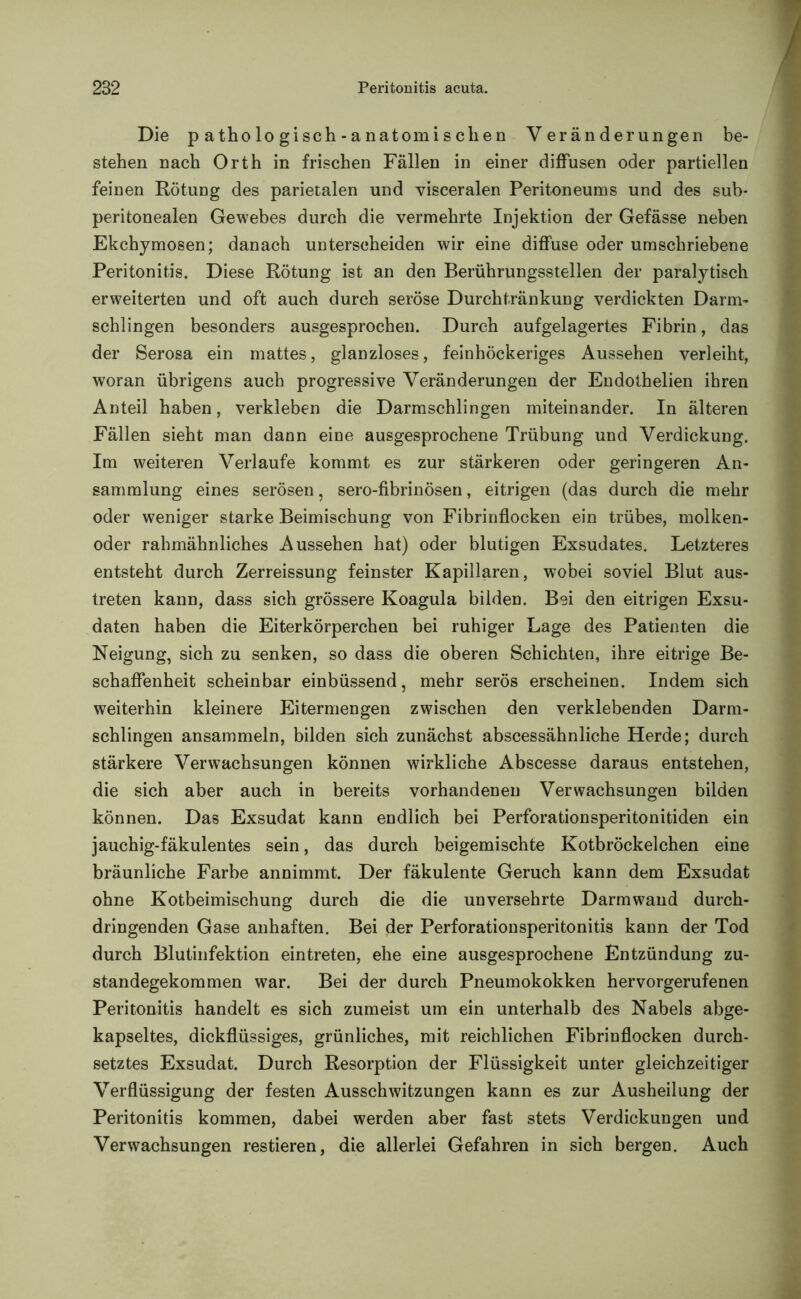 Die pathologisch-anatomischen Veränderungen be- stehen nach Orth in frischen Fällen in einer diffusen oder partiellen feinen Rötung des parietalen und visceralen Peritoneums und des sub- peritonealen Gewebes durch die vermehrte Injektion der Gefässe neben Ekchymosen; danach unterscheiden wir eine diffuse oder umschriebene Peritonitis. Diese Rötung ist an den Berührungsstellen der paralytisch erweiterten und oft auch durch seröse Durchtränkung verdickten Darm- schlingen besonders ausgesprochen. Durch aufgelagertes Fibrin, das der Serosa ein mattes, glanzloses, feinhöckeriges Aussehen verleiht, woran übrigens auch progressive Veränderungen der Eudothelien ihren Anteil haben, verkleben die Darmschlingen miteinander. In älteren Fällen sieht man dann eine ausgesprochene Trübung und Verdickung. Im weiteren Verlaufe kommt es zur stärkeren oder geringeren An- sammlung eines serösen, sero-fibrinösen, eitrigen (das durch die mehr oder weniger starke Beimischung von Fibrinflocken ein trübes, molken- oder rahmähnliches Aussehen hat) oder blutigen Exsudates. Letzteres entsteht durch Zerreissung feinster Kapillaren, wobei soviel Blut aus- treten kann, dass sich grössere Koagula bilden. Bei den eitrigen Exsu- daten haben die Eiterkörperchen bei ruhiger Lage des Patienten die Neigung, sich zu senken, so dass die oberen Schichten, ihre eitrige Be- schaffenheit scheinbar einbüssend, mehr serös erscheinen. Indem sich weiterhin kleinere Eitermengen zwischen den verklebenden Darm- schlingen ansammeln, bilden sich zunächst abscessähnliche Herde; durch stärkere Verwachsungen können wirkliche Abscesse daraus entstehen, die sich aber auch in bereits vorhandenen Verwachsungen bilden können. Das Exsudat kann endlich bei Perforationsperitonitiden ein jauchig-fäkulentes sein, das durch beigemischte Kotbröckelchen eine bräunliche Farbe annimmt. Der fäkulente Geruch kann dem Exsudat ohne Kotbeimischung durch die die unversehrte Darmwand durch- dringenden Gase anhaften. Bei der Perforationsperitonitis kann der Tod durch Blutinfektion eintreten, ehe eine ausgesprochene Entzündung zu- standegekommen war. Bei der durch Pneumokokken hervorgerufenen Peritonitis handelt es sich zumeist um ein unterhalb des Nabels abge- kapseltes, dickflüssiges, grünliches, mit reichlichen Fibrinflocken durch- setztes Exsudat. Durch Resorption der Flüssigkeit unter gleichzeitiger Verflüssigung der festen Ausschwitzungen kann es zur Ausheilung der Peritonitis kommen, dabei werden aber fast stets Verdickungen und Verwachsungen restieren, die allerlei Gefahren in sich bergen. Auch