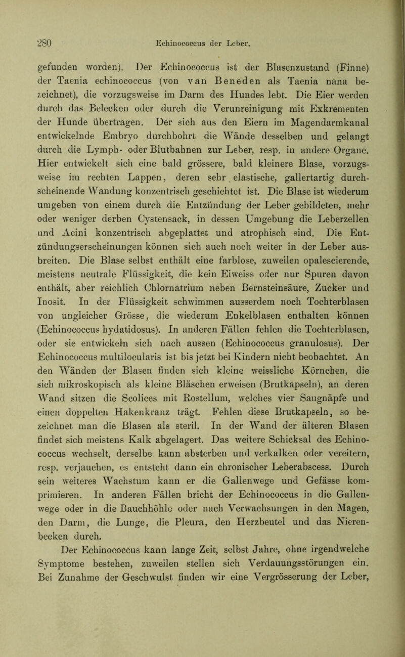 gefunden worden). Der Echinococcus ist der Blasenzustand (Finne) der Taenia echinococcus (von van Bene den als Taenia nana be- zeichnet), die vorzugsweise im Darm des Hundes lebt. Die Eier werden durch das Belecken oder durch die Verunreinigung mit Exkrementen der Hunde übertragen. Der sich aus den Eiern im Magendarmkanal entwickelnde Embryo durchbohrt die Wände desselben und gelangt durch die Lymph- oder Blutbahnen zur Leber, resp. iu andere Organe. Hier entwickelt sich eine bald grössere, bald kleinere Blase, vorzugs- weise im rechten Lappen, deren sehr elastische, gallertartig durch- scheinende Wandung konzentrisch geschichtet ist. Die Blase ist wiederum umgeben von einem durch die Entzündung der Leber gebildeten, mehr oder weniger derben Cystensack, in dessen Umgebung die Leberzellen und Acini konzentrisch abgeplattet und atrophisch sind. Die Ent- zündungserscheinungen können sich auch noch weiter in der Leber aus- breiten. Die Blase selbst enthält eine farblose, zuweilen opalescierende, meistens neutrale Flüssigkeit, die kein Eiweiss oder nur Spuren davon enthält, aber reichlich Chlornatrium neben Bernsteinsäure, Zucker und Inosit. In der Flüssigkeit schwimmen ausserdem noch Tochterblasen von ungleicher Grösse, die wiederum Enkelblasen enthalten können (Echinococcus hydatidosus). In anderen Fällen fehlen die Tochterblasen, oder sie entwickeln sich nach aussen (Echinococcus granulosus). Der Echinococcus multilocularis ist bis jetzt bei Kindern nicht beobachtet. An den Wänden der Blasen finden sich kleine weissliche Körnchen, die sich mikroskopisch als kleine Bläschen erweisen (Brutkapseln), an deren Wand sitzen die Scolices mit Rostellum, welches vier Saugnäpfe und einen doppelten Hakenkranz trägt. Fehlen diese Brutkapseln, so be- zeichnet man die Blasen als steril. In der Wand der älteren Blasen findet sich meistens Kalk abgelagert. Das weitere Schicksal des Echino- coccus wechselt, derselbe kann absterben und verkalken oder vereitern, resp. verjauchen, es entsteht dann ein chronischer Leberabscess. Durch sein weiteres Wachstum kann er die Gallenwege und Gefässe kom- primieren. In anderen Fällen bricht der Echinococcus in die Gallen- wege oder in die Bauchhöhle oder nach Verwachsungen in den Magen, den Darm, die Lunge, die Pleura, den Herzbeutel und das Nieren- becken durch. Der Echinococcus kann lange Zeit, selbst Jahre, ohne irgendwelche Symptome bestehen, zuweilen stellen sich Verdauungsstörungen ein. Bei Zunahme der Geschwulst finden wir eine Vergrösserung der Leber,