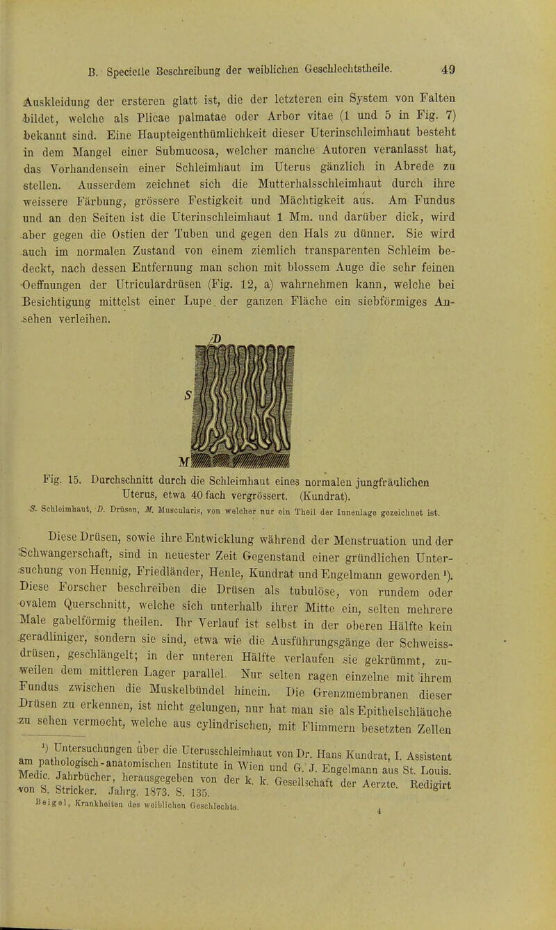 Auskleidung der ersteren glatt ist, die der letzteren ein System von Falten iildet, welche als Plicae palmatae oder Arbor vitae (1 und 5 in Fig. 7) bekannt sind. Eine Haupteigentliümlichkeit dieser Uterinschleimhaut besteht in dem Mangel einer Submucosa, welcher manche Autoren veranlasst hat, das Vorhandensein einer Schleimhaut im Uterus gänzlich in Abrede zu stellen. Ausserdem zeichnet sich die Mutterhalsschleimhaut durch ihre weissere Färbung, grössere Festigkeit und Mächtigkeit aus. Am Fundus und an den Seiten ist die Uterinschleimhaut 1 Mm. und darüber dick, wird aber gegen die Ostien der Tuben und gegen den Hals zu dünner. Sie wird auch im normalen Zustand von einem ziemlich transparenten Schleim be- deckt, nach dessen Entfernung man schon mit blossem Auge die sehr feinen Oeffnungen der Utriculardrüsen (Fig. 12, a) wahrnehmen kann, welche bei Besichtigung mittelst einer Lupe der ganzen Fläche ein siebförmiges An- sehen verleihen. 'Mywmmäm/m////m////m. Fig. 15. Durchschnitt durch die Schleimhaut eines normalen jungfräulichen Uterus, etwa 40 fach vergrössert. (Kundrat). ■S. Schloimhaut, B. Drüssn, M. Muscularis, von welcher nur ein Theil der Innenlage gezeichnet ist. Diese Drüsen, sowie ihre Entwicklung während der Menstruation und der Schwangerschaft, sind in neuester Zeit Gegenstand einer gründlichen Unter- suchung von Hennig, Friedländer, Henle, Kundrat und Engelmann geworden i). Diese Forscher beschreiben die Drüsen als tubulöse, von rundem oder ovalem Querschnitt, welche sich unterhalb ihrer Mitte ein, seiton mehrere Male gabelförmig theilen. Ihr Verlauf ist selbst in der oberen Hälfte kein geradliniger, sondern sie sind, etwa wie die Ausführungsgänge der Schweiss- drüsen, geschlängelt; in der unteren Hälfte verlaufen sie gekrümmt zu- weilen dem mittleren Lager parallel. Nur selten ragen einzelne mit ihrem Fundus zwischen die Muskelbündel hinein. Die Grenzmembranen dieser Drusen zu erkennen, ist nicht gelungen, nur hat man sie als Epithelschläuche zu^^ehen^ vermocht, welche aus cylindrischen, mit Flimmern besetzten Zellen am .'!tL?'™?^' ^'!' '^Uterusschleimhaut von Dr. Hans Kundrat, I. Assistent ^ C^. J. Engelmann aus St. Louis. Med: . J hrbucher herausgegeben von der k. k. Geselhchaft der Aerzte. Redigirt von b. Stricker. Jahrg. 1873. S. 135. »■^igiiu Waigel, Krankheiten des weibliohoti Geschlechts.