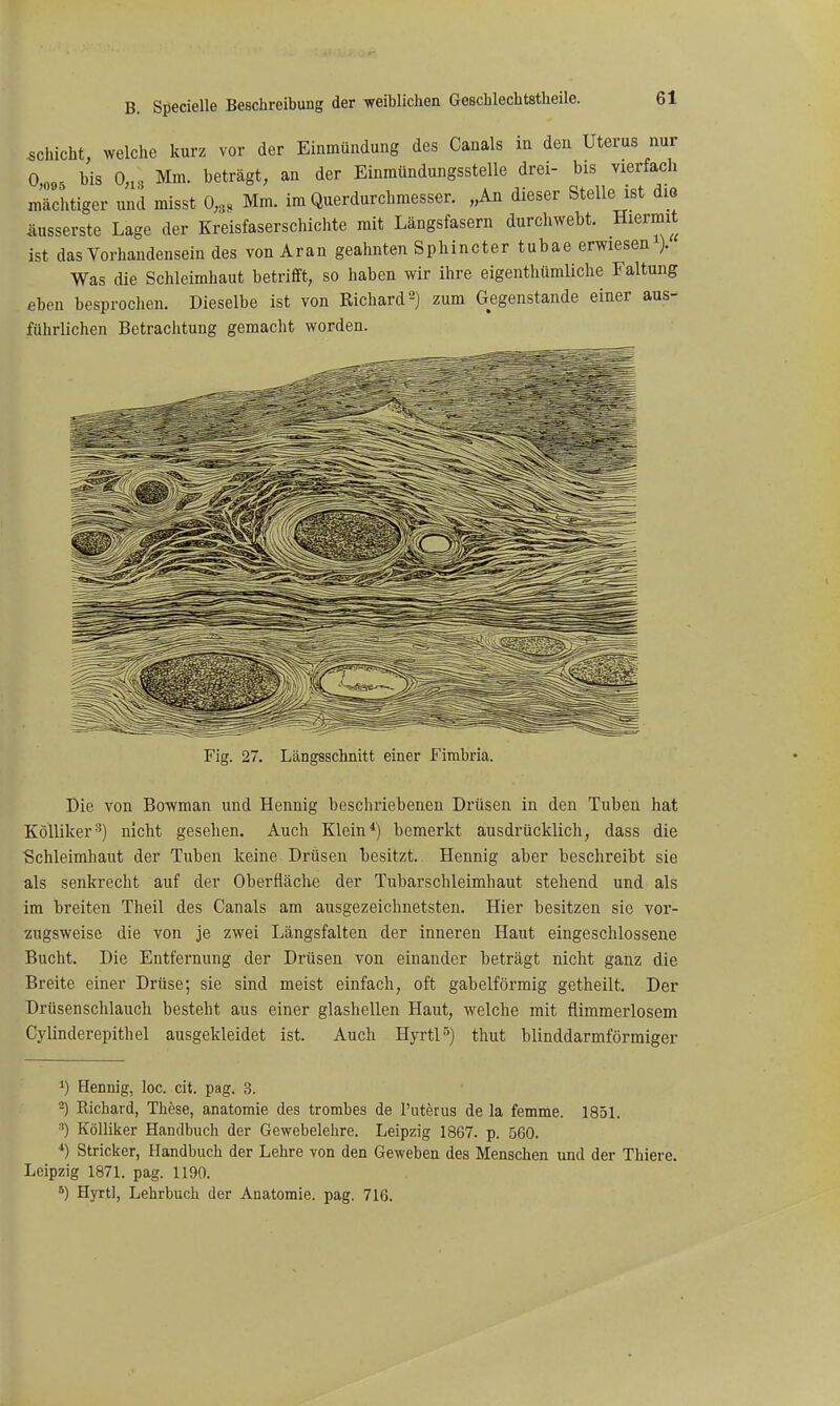 schiebt, welche kurz vor der Einmündung des Canals in den Uterus nur Ooo5 tis 0,13 Mm. beträgt, an der Einmündungsstelle drei- bis vierfach mächtiger und misst 0,3, Mm. im Querdurchmesser. „An dieser Stelle ist die Äusserste Lage der Kreisfaserschichte mit Längsfasern durchwebt. Hiermit ist das Vorhandensein des von Aran geahnten Sphincter tubae erwiesen ). Was die Schleimhaut betrifft, so haben wir ihre eigenthümliche Faltung eben besprochen. Dieselbe ist von Richard 2) zum Gegenstande einer aus- führlichen Betrachtung gemacht worden. Fig. 27. Längsschnitt einer Fimbria. Die von Bowman und Hennig beschriebenen Drüsen in den Tuben hat Kölliker-') nicht gesehen. Auch Klein*) bemerkt ausdrücklich, dass die Schleimhaut der Tuben keine Drüsen besitzt. Hennig aber beschreibt sie als senkrecht auf der Oberfläche der Tubarschleimhaut stehend und als im breiten Theil des Canals am ausgezeichnetsten. Hier besitzen sie vor- zugsweise die von je zwei Längsfalten der inneren Haut eingeschlossene Bucht. Die Entfernung der Drüsen von einander beträgt nicht ganz die Breite einer Drüse; sie sind meist einfach, oft gabelförmig getheilt. Der Drüsenschlauch besteht aus einer glashellen Haut, welche mit flimmerlosein Cylinderepithel ausgekleidet ist. Auch Hyrtl-'') thut blinddarmförmiger 1) Hennig, loc. cit. pag. 3. -) Eichard, These, anatomie des trombes de l'utkus de la femme. 1851. ■') Kölliker Handbuch der Gewebelehre. Leipzig 1867. p. 560. ■*) Stricker, Handbuch der Lehre von den Geweben des Menschen und der Thiere. Leipzig 1871. pag. 1190. Hyrtl, Lehrbuch der Anatomie, pag. 716.