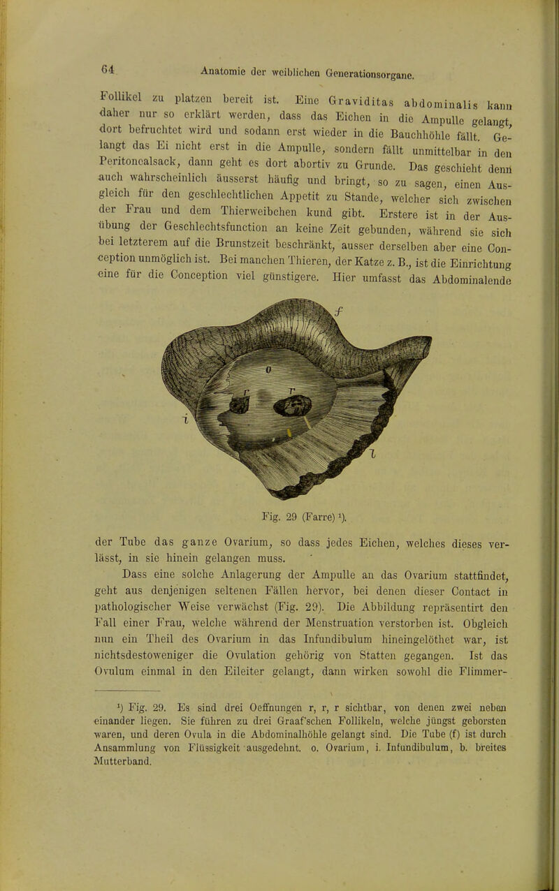 Follikel zu platzen bereit ist. Eine Graviditas abdominalis kann daher nur so erklärt werden, dass das Eichen in die Ampulle gelangt dort befruchtet wird und sodann erst wieder in die Bauchhölile fällt Ge- langt das Ei nicht erst in die Ampulle, sondern fällt unmittelbar 'in den Pentonealsack, dann geht es dort abortiv zu Grunde. Das geschieht denri auch wahrscheinlich äusserst häufig und bringt, so zu sagen, einen Aus- gleich für den geschleclitlichen Appetit zu Stande, welcher sich zwischen der Frau und dem Thierweibchen kund gibt. Erstere ist in der Aus- übung der Geschlechtsfunction an keine Zeit gebunden, während sie sich bei letzterem auf die Brunstzeit beschränkt, ausser derselben aber eine Gon- «eption unmöglich ist. Bei manchen Thieren, der Katze z. B., ist die Einrichtung •eine für die Conception viel günstigere. Hier umfasst das Abdominalende Fig. 29 (Farre) i). der Tube das ganze Ovarium, so dass jedes Eichen, welches dieses ver- lässt, in sie hinein gelangen muss. Dass eine solche Anlagerung der Ampulle an das Ovarium stattfindet, geht aus denjenigen seltenen Fällen hervor, bei denen dieser Gontact in pathologischer Weise verwächst (Fig. 29). Die Abbildung repräsentirt den Fall einer Frau, welche während der Menstruation verstorben ist. Obgleich nun ein Theil des Ovarium in das Infundibulum hineingelöthet war, ist nichtsdestoweniger die Ovulation gehörig von Statten gegangen. Ist das Ovulum einmal in den Eileiter gelangt, dann wirken sowohl die Flimmei-- 1) Fig. 29. Es sind drei Oeffnungen r, r, r sichtbar, von denen zwei neben «inander liegen. Sie führen zu drei Graafschen Follikeln, welche jüngst geborsten waren, und deren Ovula in die Abdominalhöhle gelangt sind. Die Tube (f) ist durch Ansammlung von Flüssigkeit ausgedehnt, o. Ovarium, i. Infundibulum, b. breites Mutterband.