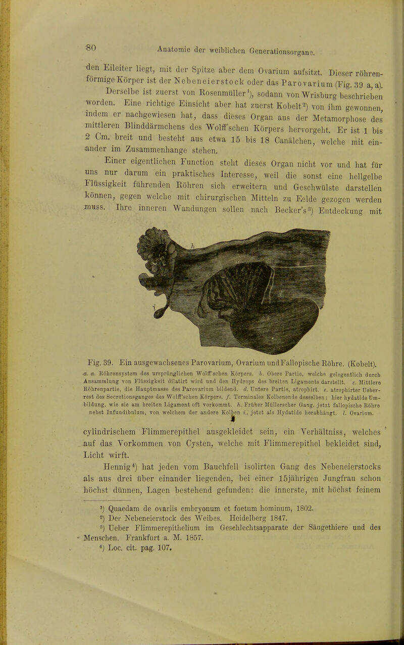 ^en Eileiter liegt, mit der Spitze aber dem Ovarium aufsitzt. Dieser röhren- formige Körper ist der Nebeneierstock oder das Parovarium (Fig. 39 a a) Derselbe ist zuerst von Rosenmüller'), sodann vonWrisburg beschrieben worden. Eine richtige Einsicht aber hat zuerst Kobelt^) von ilim gewonnen indem er nachgewiesen hat, dass dieses Organ aus der Metamorphose des mittleren Blinddärmchens des Wolff'schen Körpers hervorgeht. Er ist 1 bis 2 Cm. breit und besteht aus etwa 15 bis 18 Canälchen, welche mit ein- ander im Zusammenhange stehen. Einer eigentliclien Function steht dieses Organ nicht vor und hat für uns nur darum ein praktisches Interesse, weil die sonst eine hellgelbe Flüssigkeit führenden Röhren sich erweitern und Geschwülste darstellen können, gegen welclie mit chirurgischen Mitteln zu Eelde gezogen werden jnuss. Ihre inneren Wandungen sollen nach Becker'sS) Entdeckung mit Fig. 39. Ein ausgewachsenes Parovarium, Ovarium undFallopische Röhre. (Kobelt). a. a- Köhrensystem des ursprünglichen Wolff'schen Körpers. Ii. Obere Partie, welche gelegentlich durch Ansammlung von Flüssigkeit dilatirt wird und den Hydrops des breiten Ligaments darstellt, c. Mittlore Röhrenpartie, die Hauptmasse des Parov.ariura bildend, d. Untere Partie, atrophirt. e. atrophirter üeber- rest des Secretionsganges des Wolff'schen Körper.^. /. Terrainales Kolbenende desselben: hier hydatide Um- bildung, wie sie am breiten Ligament oft Torkommt. h. Früher Müllerscher Gang, jetzt fallopische Röhre nehst Infundibnlum, von welchem der andere Kolben i'., jetzt alä Hydatide herabhängt. /. Ovarium. cylindrischem Flimmerepithel ausgekleidet sein, ein Verhältniss, welches auf das Vorkommen von Cysten, welche mit Flimmerepithel bekleidet sind, Licht wirft. Hennig*) hat jeden vom Bauchfell isolirten Gang des Nebeneierstocks als aus drei über einander liegenden, bei einer 15jährigen Jungfrau schon liöchst dünnen, Lagen bestehend gefunden: die innerste, mit höclist feinem ') Quaedam de ovariis embryonum et foetum hominum, 1802. -) Der Nebeneierstock des Weibes. Heidelberg 1847. 3) Ueber Flimmerepitlielium im Geschlechtsapparate der Säugetliiere und des Menschen. Frankfurt a. M. 1857. ■*) Loc. cit. pag. 107.