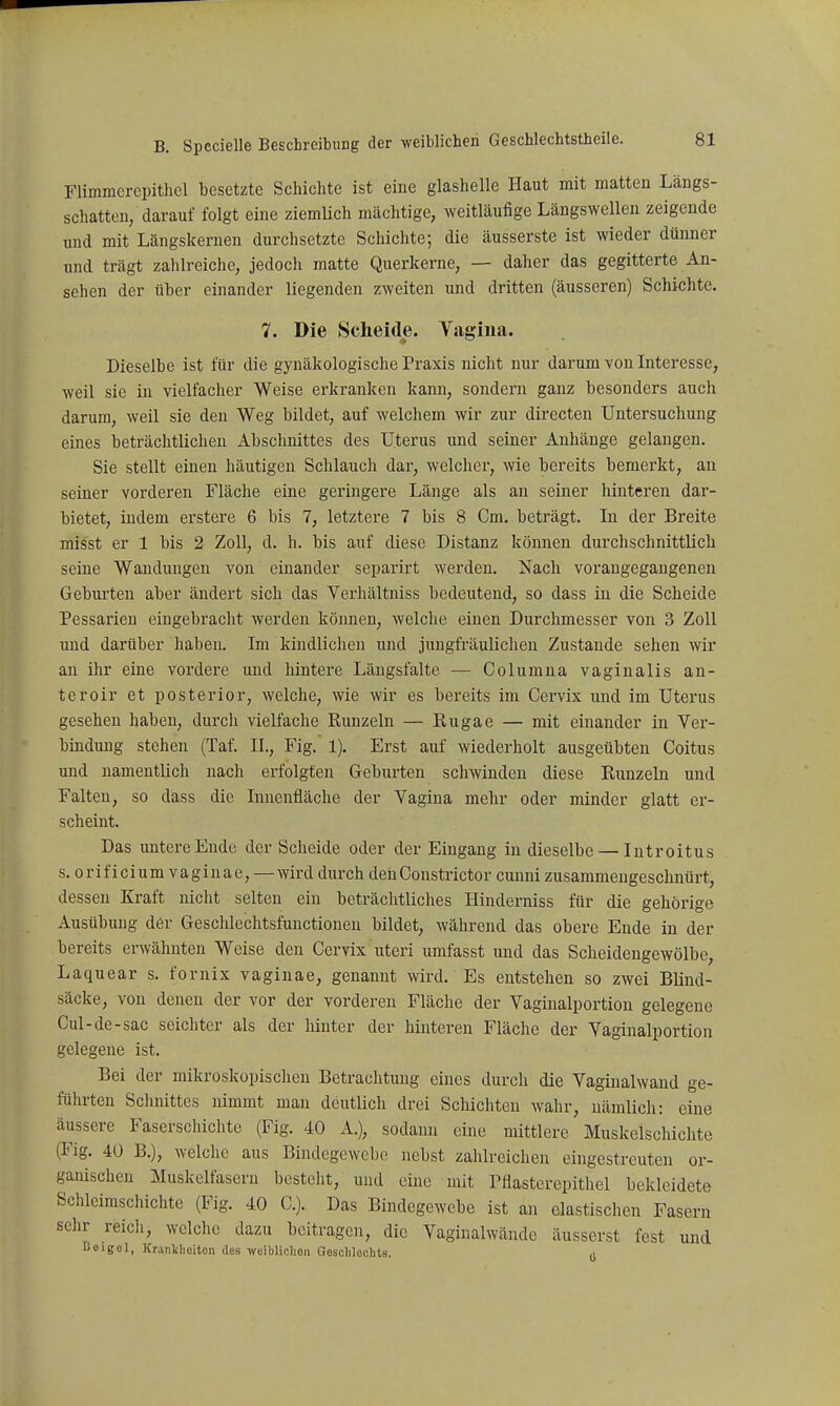 Flimmcrepithel besetzte Schichte ist eine glashelle Haut mit matten Längs- schatteu, darauf folgt eine ziemUch mächtige, weitläufige Längswellen zeigende und mit Längskernen durchsetzte Schichte; die äusserste ist wieder dünner und trägt zahlreiche, jedoch matte Querkerne, — daher das gegitterte An- sehen der über einander liegenden zweiten und dritten (äusseren) Schichte. 7. Die Scheide. Vagina. Dieselbe ist für die gynäkologische Praxis nicht nur darum von Interesse, weil sie in vielfacher Weise erkranken kann, sondern ganz besonders auch darum, weil sie den Weg bildet, auf welchem wir zur directen Untersuchung eines beträchtlichen Abschnittes des Uterus und seiner Anhänge gelangen. Sie stellt einen häutigen Schlauch dar, welcher, wie bereits bemerkt, an seiner vorderen Fläche eine geringere Länge als an seiner hinteren dar- bietet, indem erstere 6 bis 7, letztere 7 bis 8 Cm. beträgt. In der Breite misst er 1 bis 2 Zoll, d. h. bis auf diese Distanz können durchschnittlich seine Wandungen von einander separirt werden. Nach vorangegangenen Gebui'ten aber ändert sich das Verhältniss bedeutend, so dass in die Scheide Pessarieu eingebracht werden können, welche einen Durchmesser von 3 Zoll und darüber haben. Im kindlichen und jungfräulichen Zustande sehen wir au ihr eine vordere und hintere Längsfalte — Columna vaginalis an- teroir et posterior, welche, wie wir es bereits im Cervix und im Uterus gesehen haben, durch vielfache Runzeln — Rugae — mit einander in Ver- bindung stehen (Taf. IL, Fig. 1). Erst auf wiederholt ausgeübten Coitus und namentlich nach erfolgten Geburten schwinden diese Runzeln und Falten, so dass die Innenfläche der Vagina mehr oder minder glatt er- scheint. Das untere Ende der Scheide oder der Eingang in dieselbe — Introitus s. orificium vaginae, —wird durch dehConstrictor cunni zusammengeschnürt, dessen Kraft nicht selten ein beträchtliches Hinderniss für die gehörige Ausübung der Geschlechtsfunctionen bildet, während das obere Ende in der bereits erwähnten Weise den Cervix uteri umfasst und das Scheidengewölbe, Laquear s. fornix vaginae, genannt wird. Es entstehen so zwei Blind- säcke, von denen der vor der vorderen Fläche der Vaginalportiou gelegene Cul-de-sac seichter als der hinter der hinteren Fläche der Vaginalportion gelegene ist. Bei der mikroskopischen Betrachtung eines durch die Vaginalwaud ge- führten Schnittes nimmt man deutlich drei Schichten wahr, nämlich: eine äussere Faserschichte (Fig. 40 A.), sodann eine mittlere Muskelschichte (Fig. 40 B.), welche aus Bindegewebe nebst zahlreichen eingestreuten or- ganischen Muskelfasern besteht, und eine mit Pflasterepithel bekleidete Schleimschichte (Fig. 40 C). Das Bindegewebe ist an elastischen Fasern sehr reich, welche dazu beitragen, die Vaginalwände äusserst fest und ßeigel, Kranüieitcn des weibliclioii Gescliloclits. d