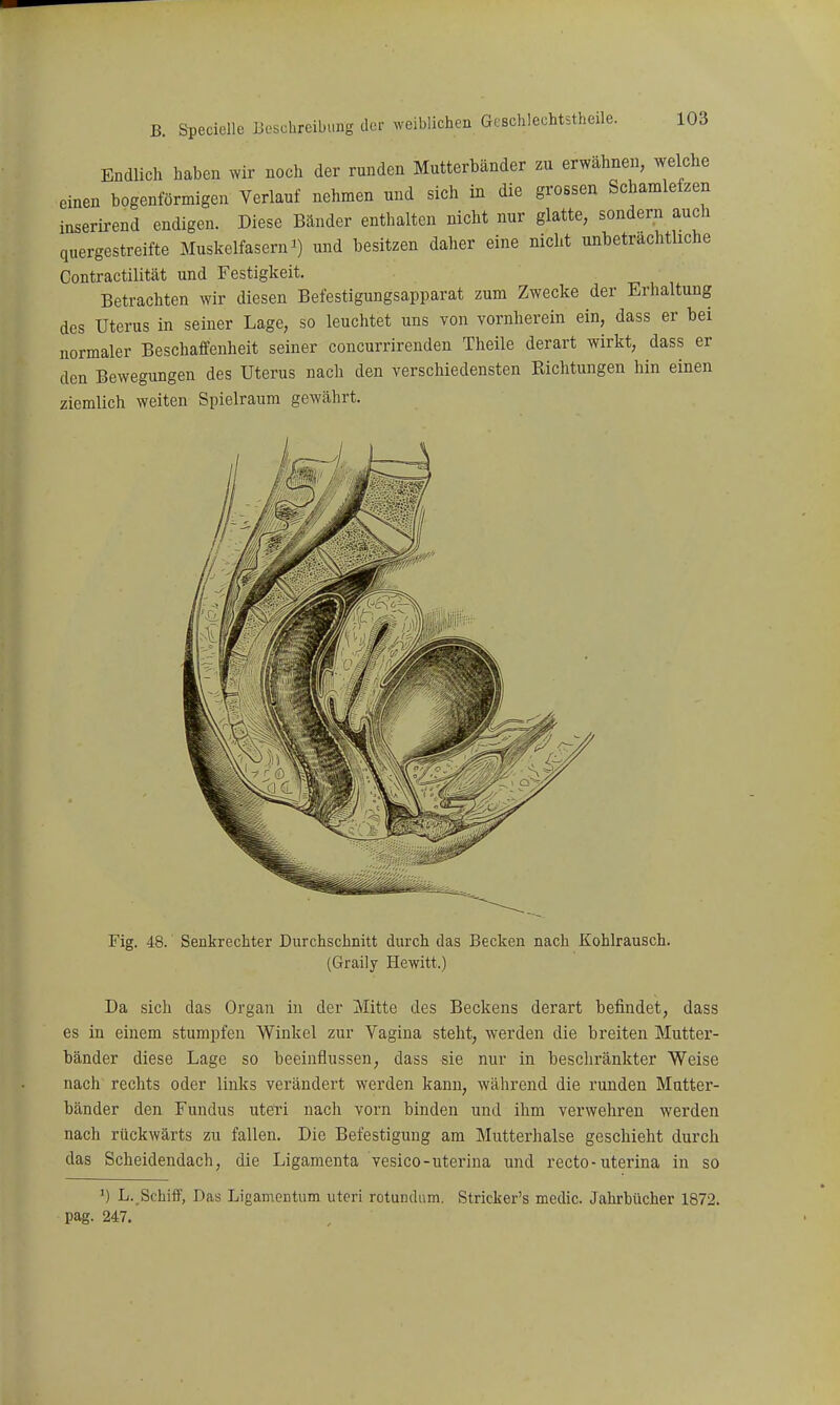 Endlich Laben wir noch der runden Mutterbänder zu erwähnen, welche einen bogenförmigen Verlauf nehmen und sich in die grossen Schamlefzen inserirend endigen. Diese Bänder enthalten nicht nur glatte, sondern auch quergestreifte Muskelfasern i) und besitzen daher eine nicht unbeträchtliche Contractilität und Festigkeit. Betrachten wir diesen Befestigungsapparat zum Zwecke der Erhaltung des Uterus in seiner Lage, so leuchtet uns von vornherein ein, dass er bei normaler Beschaffenheit seiner concurrirenden Theile derart wirkt, dass er den Bewegungen des Uterus nach den verschiedensten Richtungen hin einen ziemlich weiten Spielraum gewährt. Fig. 48. Senkrechter Durchschnitt durch das Becken nach Kohlrausch. (Graily Hewitt.) Da sich das Organ in der Mitte des Beckens derart befindet, dass es in einem stumpfen Winkel zur Vagina steht, werden die breiten Mutter- bänder diese Lage so beeinflussen, dass sie nur in bescliränkter Weise nach rechts oder links verändert werden kann, wälirend die runden Mutter- bänder den Fundus utei'i nacli vorn binden und ihm verwehren werden nach rückwärts zu fallen. Die Befestigung am Mutterhalse geschieht durch das Scheidendach, die Ligamenta vesico-uterina und recto- uterina in so ') L. Schiif, Das Ligamentum uteri rotundum. Stricker's medic. Jahrbücher 1872. pag. 247.