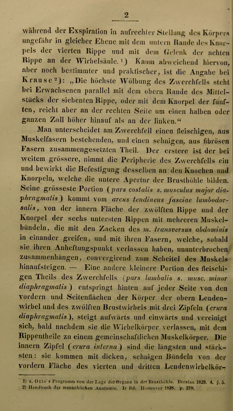 während der Exspiralion in aufrechler Stclliinft- des Körpers nngefiihr in gleicher Ebene mit dem imteni Hände des Knor- pels der vierten Rippe und mit dem (ielenk der achten Rippe an der Wirbelsäule. Kaum abweichend hiervon, aber noch bestimmter und praktischer, ist die Angabe bei Krause 2): „Die höchste Wölbung des Zwerchfells steht bei Erwachsenen parallel mit dem obern Rande des Mittel- stücks der siebenten Rippe, oder mit dem Knorpel der fünf- ten, reicht aber an der rechten Seile um einen halben oder ganzen Zoll höher hinauf als an der linken.“ Man unterscheidet am Zwerchfell einen fleischigen, aus Muskelfasern bestehenden, und einen sehnigen, aus fibrösen Fasern zusammengesetzten Theil. Der erstere ist der bei Aveitem grössere, nimmt die Peripherie des Zwerchfells ein und bewirkt die Befestigung desselben an den Knochen und Knorpeln, welche die untere Apertur der Brusthöhle bilden, feeine grösseste Portion (pars costalis s. viusculiis inajor dia- pkragmatis^ kommt vom arctis tendineiis Jasciae lumbodor- salis, von der innern Fläche der zwölften Ripjie und der Knorpel der sechs untersten Rippen mit mehreren Muskel- bündeln, die mit den Zacken des m, Iransversus ahdominis in einander greifen, und mit ihren Fasern, welche, sobald sie ihren Anheftungspunkt Aderlässen haben, ununterbrochen Zusammenhängen, convergirend zum Scheitel des 3Iuskels hinaufsteigen. — Eine andere kleinere Portion des fleischi- gen Theils des Zwerchfells (pars lumbalis s. inusc. minor diapkrag?natis^ entspringt hinten auf jeder Seite A on den A^ordern und Seitenflächen der Körper der obern Lenden- Avirbel und des zwölften Brustwirbels mit drei Zipfeln (erwra diaphragmalis^, steigt aufwärts und einwärts und Acreinigt sich, bald nachdem sie die Wirbelkörper verlassen, mit dem Rippentheile zu einem gemeinschaftlichen Muskelkörper. Die innern Zipfel (erwra interna') sind die längsten und stärk- sten: sie kommen mit dicken, sehnigen Bündeln A*on der vordem Fläche des Aierten und dritten Leudenwirbelkör- 1) s. O tto’s Progr.imm von der Lage dcrOrganc in der nruslliölilc. ]{re.<lau 1829. 4. f. 5. 2) Handl>uch der menschlichen Anatomie. Ir Hd. Jl.tniioicr I8S8. p. 278.