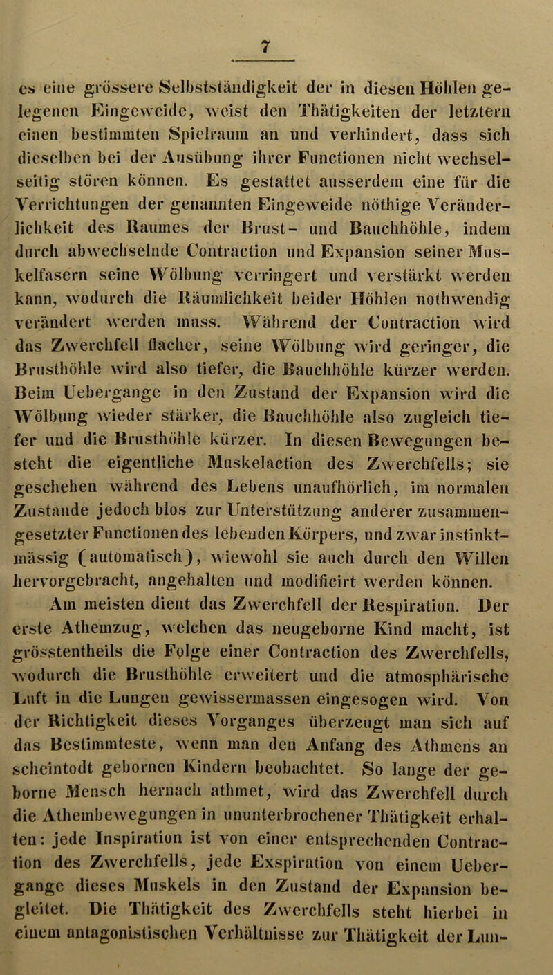 es» eine gröss^ere Selbststämligkeit der in diesen Höhlen ge- legenen Eingeweide, weist den Tliätigkeiten der letztem einen bestimmten Spielraum an und verhindert, dass sich dieselben bei der Ausübung ihrer Functionen nicht wechsel- seitig stören können. Es gestattet ausserdem eine für die Verrichtungen der genannten Eingeweide nöthige Veränder- lichkeit des Uaumes der Brust- und Bauchhöhle, indem durch abwechselnde Contraction und Expansion seiner Mus- kelfasern seine Wölbung verringert und verstärkt werden kann, wodurch die Räumlichkeit beider Höhlen nothwendig verändert werden muss. Während der Contraction wird das Zwerchfell llacher, seine Wölbung wird geringer, die Brusthöhle wird also tiefer, die Bauchhöhle kürzer werden. Beim Uebergange in den Zustand der Expansion wird die Wölbung wieder stärker, die Bauchhöhle also zugleich tie- fer und die Brusthöhle kürzer. In diesen Bew^egungen be- steht die eigentliche Muskelaction des Zw^erchfells; sie geschehen während des Lebens unaufhörlich, im normalen Zustande jedoch blos zur Unterstützung anderer zusammen- gesetzter Functionen des lebenden Körpers, und zw^ariiistinkt- inässig (automatisch), wiewohl sie auch durch den Willen hervorgebracht, angehalten und modificirt werden können. Am meisten dient das Zwerchfell der Respiration. Der erste Athemzug, wxdchen das neugeborne Kind macht, ist grösstentheils die Folge einer Contraction des Zwerchfells, Avodurch die Brusthöhle erw^eitert und die atmosphärische Imft in die Lungen gewnssermassen eingesogen wird. Von der Richtigkeit dieses A^organges überzeugt man sich auf das Bestimmteste, wenn man den Anfang des Athmens an scheintodt gebornen Kindern beobachtet. So lange der ge- borne Mensch hernach athinet, wird das Zwerchfell durch die Athembewegungen in ununterbrochener Thätigkeit erhal- ten : jede Inspiration ist von einer entsprechenden Contrac- tion des Zwerchfells, jede Exspiration von einem Ueber- gange dieses Muskels in den Zustand der Expansion be- gleitet. Die Thätigkeit des Zwerchfells steht hierbei in einem antagonistischen Verhältnisse zur Thätigkeit der Lun-