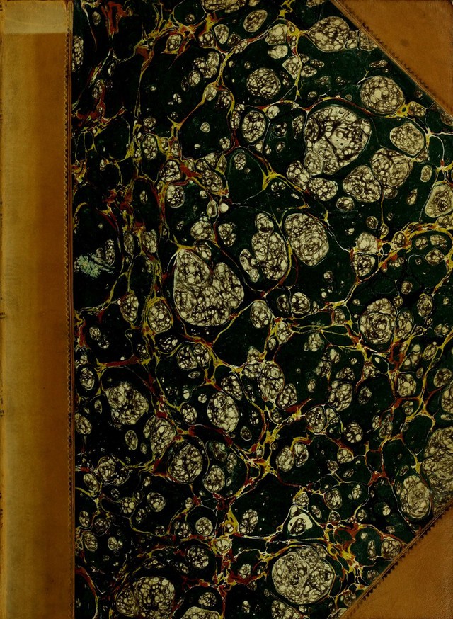 No text description is available for this image