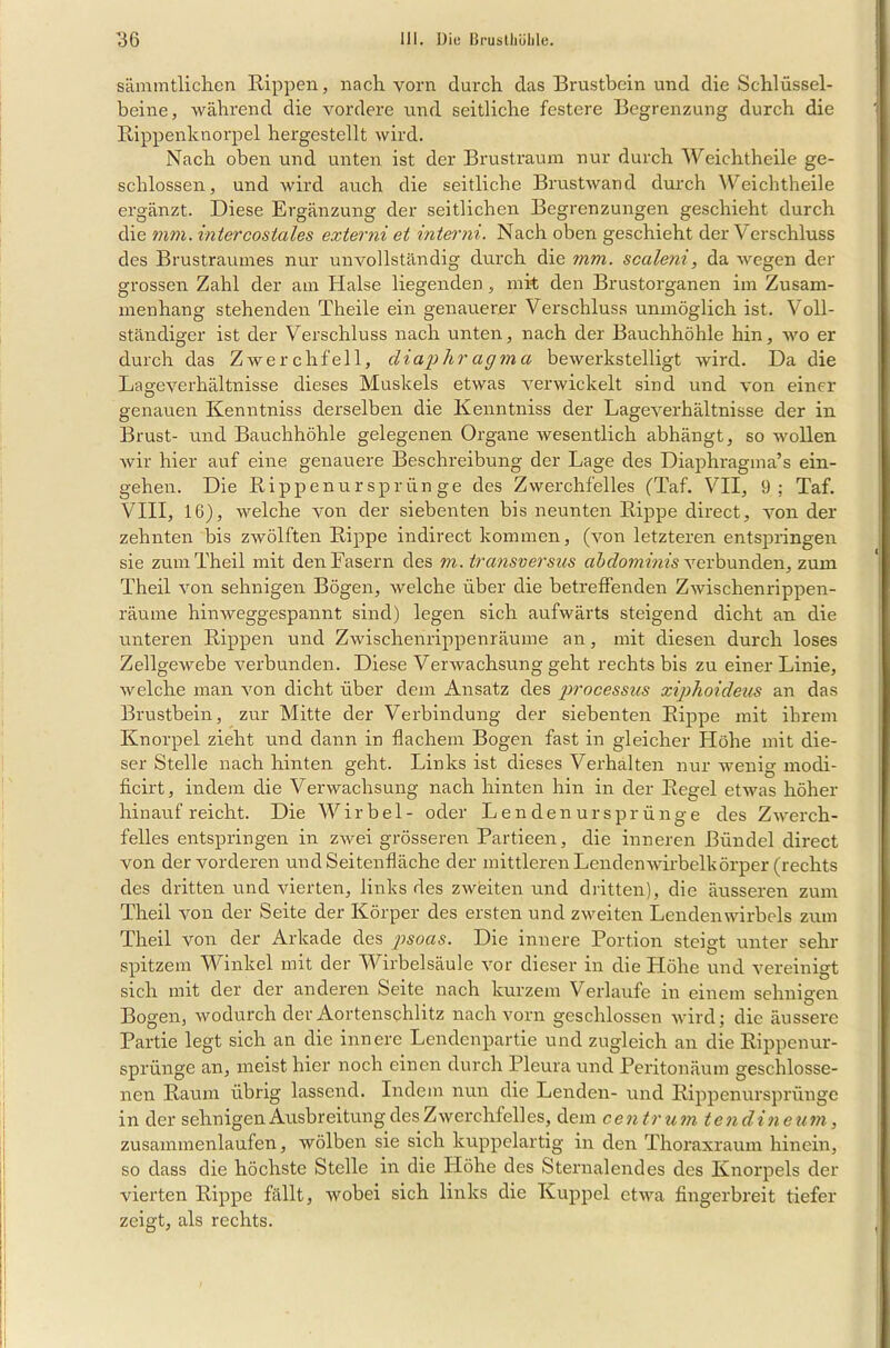 sämmtlichen Rippen, nach vorn durch das Brustbein und die Schlüssel- beine, während die vordere und seitliche festere Begrenzung durch die Rippenknorpel hergestellt wird. Nach oben und unten ist der Brustraum nur durch Weiehtheile ge- schlossen, und wird auch die seitliche Brustwancl durch Weiehtheile ergänzt. Diese Ergänzung der seitlichen Begrenzungen geschieht durch die mm. intercostales externi et interni. Nach oben geschieht der Verschluss des Brustraumes nur unvollständig durch die mm. scaleni, da wegen der grossen Zahl der am Halse liegenden, mit den Brustorganen im Zusam- menhang stehenden Theile ein genauerer Verschluss unmöglich ist. Voll- ständiger ist der Verschluss nach unten, nach der Bauchhöhle hin, wo er durch das Zwerchfell, diaphr agma bewerkstelligt wird. Da die La ge Verhältnisse dieses Muskels etwas verwickelt sind und von einer genauen Kenntniss derselben die Kenntniss der Lageverhältnisse der in Brust- und Bauchhöhle gelegenen Organe wesentlich abhängt, so wollen Avir hier auf eine genauere Beschreibung der Lage des Diaphragma’s ein- gehen. Die Rippenursprünge des Zwerchfelles (Taf. VII, 9; Taf. VIII, 16), welche von der siebenten bis neunten Rippe direct, A7on der zehnten bis zwölften Rippe indirect kommen, (a7oii letzteren entspringen sie zumTheil mit den Fasern des rn. transversus abdominis verbunden, zum Theil A'on sehnigen Bögen, Avelche über die betreffenden ZAvischenrippen- räume hinweggespannt sind) legen sich aufwärts steigend dicht an die unteren Rippen und Zwischenrippenräume an, mit diesen durch loses ZellgeAvebe verbunden. Diese Verwachsung geht rechts bis zu einer Linie, welche man A7on dicht über dem Ansatz des processus xiphoideus an das Brustbein, zur Mitte der Verbindung der siebenten Rippe mit ihrem Knorpel zieht und dann in flachem Bogen fast in gleicher Höhe mit die- ser Stelle nach hinten geht. Links ist dieses Verhalten nur wenig modi- ficirt, indem die Verwachsung nach hinten hin in der Regel etAvas höher hinauf reicht. Die Wirbel- oder Len den Ursprünge des ZAverch- felles entspringen in ZAvei grösseren Partieen, die inneren Bündel direct von der Amrderen und Seitenfläche der mittleren LendenAvirbelkörper (rechts des dritten und vierten, links des ZAveiten u.nd dritten), die äusseren zum Theil von der Seite der Körper des ersten und zweiten Lendenwirbels zum Theil von der Arkade des psoas. Die innere Portion steigt unter sehr spitzem Winkel mit der Wirbelsäule vor dieser in die Höhe und vereinigt sich mit der der anderen Seite nach kurzem Verlaufe in einem sehnigen Bogen, wodurch der Aortenschlitz nach A’orn geschlossen wird; die äussere Partie legt sich an die innere Lendenpartie und zugleich an die Rippenur- sprünge an, meist hier noch einen durch Pleura und Peritonäum geschlosse- nen Raum übrig lassend. Indem nun die Lenden- und Rippenursprünge in der sehnigen Ausbreitung des Zwerchfelles, dem centrum tendineum, zusammenlaufen, Avölben sie sich kuppelartig in den Thoraxraum hinein, so dass die höchste Stelle in die Flöhe des Sternalendes des Knorpels der vierten Rippe fällt, Avobei sich links die Kuppel etAva fingerbreit tiefer zeigt, als rechts.