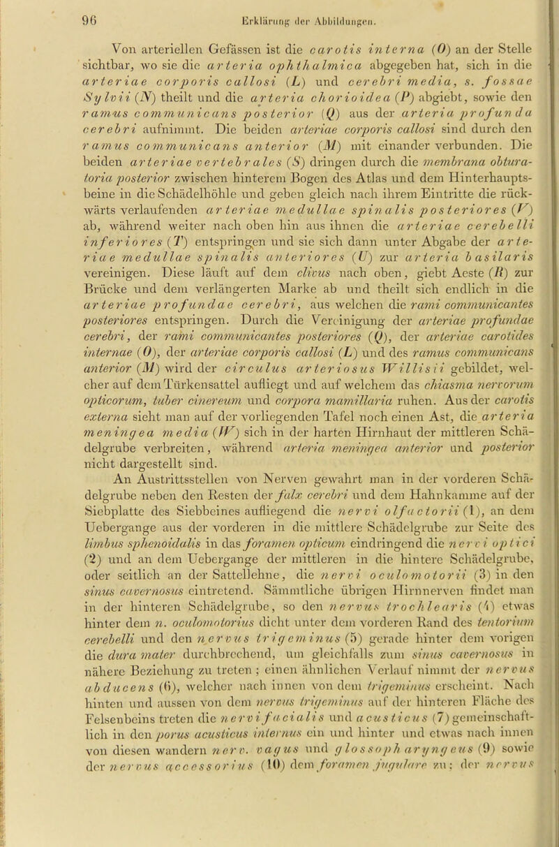 Von arteriellen Gefässcn ist die carotis interna (0) an der Stelle sichtbar, wo sie die arteria ophthalmica abgegeben hat, sich in die arteriae corporis callosi (L) und cerebri media, s. fossae Sylvii (ZV) theilt und die arteria cliorioidea (P) abgiebt, sowie den ramus communicans posterior (Q) aus der arteria profun da cerebri aufninnnt. Die beiden arteriae corporis callosi sind durch den ramus communicans anterior (M) mit einander verbunden. Die beiden arteriae vertebrales (S) dringen durch die membrana obtura- toria posterior zwischen hinterem Bogen des Atlas und dem Hinterhaupts- beine in die Schädelhöhle und geben gleich nach ihrem Eintritte die rück- wärts verlaufen den arteriae m e (lull a e sp i n a l i s posteriores (V) ab, während weiter nach oben hin aus ihnen die arteriae cerebelli inferiores (T) entspringen und sie sich dann unter Abgabe der arte- riae medullae spinalis anterior es (U) zur arteria basilaris vereinigen. Diese läuft auf dem clivus nach oben, giebt Aeste (R) zur Brücke und dem verlängerten Marke ab und theilt sich endlich in die arteriae prof andae cerebri, aus welchen die rami comrnunicantes posteriores entspringen. Durch die Vereinigung der arteriae profundae cerebri, der rami comrnunicantes posteriores (Q), der arteriae carotides internae (0), der arteriae corporis callosi (L) und des ramus communicans anterior (M) wird der circulus arteriosus Willi sii gebildet, wel- cher auf dem Türkensattel aufliegt und auf welchem das chiasma nervorum opticorum, tuber cinereum und corpora mamillaria ruhen. Aus der carotis externa sieht man auf der vorliegenden Tafel noch einen Ast, die arteria meningea media (IV) sich in der harten Hirnhaut der mittleren Schä- delgrube verbreiten, während arteria meningea anterior und posterior nicht dargestellt sind. An Austrittsstellen von Nerven gewahrt man in der vorderen Schä- delgrube neben den Resten der falx cerebri und dem Hahnkamme auf der Sicbplatte des Siebbeines aufliegend die nervi olfa ctorii (l), an dem Uebergange aus der vorderen in die mittlere Schädelgrube zur Seite des limbus sphenoidalis in das foramen opticum eindringend die nervi optici (2) und an dem Uebergange der mittleren in die hintere Schädelgrube, oder seitlich an der Sattellehne, die nervi oculomotorii (3) in den sinus cavernosus eintretend. Sämmtliche übrigen Hirnnerven findet man in der hinteren Schädelgrube, so den nervus trochlearis (i) etwas hinter dem n. oculomotorius dicht unter dein vorderen Rand des tentorium cerebelli und den nervus trig eminus (5) gerade hinter dem vorigen die dura maier durchbrechend, um gleichfalls zum sinus cavernosus in nähere Beziehung zu treten; einen ähnlichen Verlauf nimmt der nervus ab da eens (6), welcher nach innen von dem trig eminus erscheint. Nach hinten und aussen von dem nervus trig eminus auf der hinteren Fläche des Felsenbeins treten die nervifacialis und acusticus (7)gemeinschaft- lich in den porus acusticus internus ein und hinter und etwas nach innen von diesen wandern ner v, vagus und glossoph aryngeus (9) sowie der nervus aceess orius (!0) dem foramenjugularo zu: der nervus J