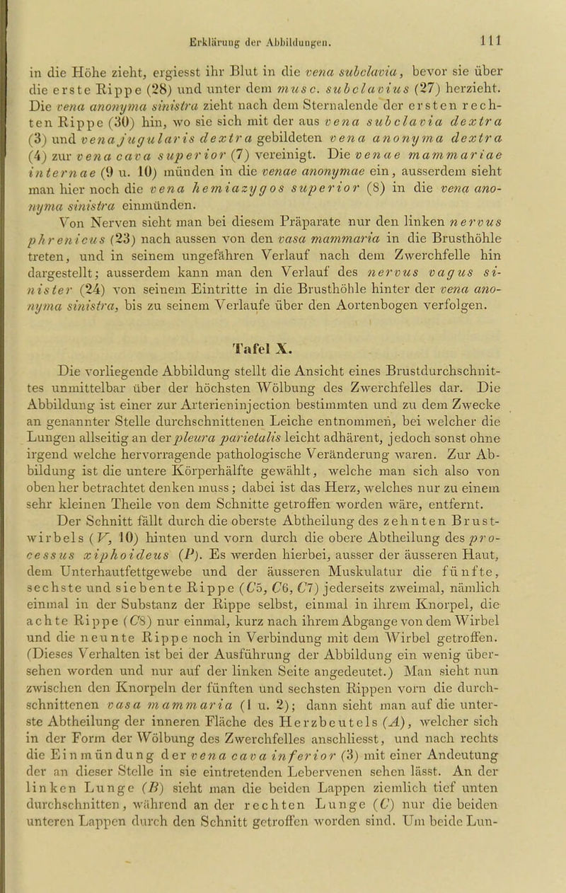 in die Höhe zieht, ergiesst ihr Blut in die vena subclavia, bevor sie über die erste Rippe (28) und unter dem musc. subclavius (27) herzieht. Die vena anonyma sinistra zieht nach dem Sternalende der ersten rech- ten Rippe (30) hin, wo sie sich mit der aus vena subclavia dextra (3) und vena jugularis dextra gebildeten vena anonyma dextra (4) zur vena cava s up er io r (7) vereinigt. Die venae m a m mar iae intern ae (9 u. 10) münden in die venae anonymae ein, ausserdem sieht man hier noch die vena hemiazy g os superior (8) in die vena ano- nyma sinistra einmünden. Von Nerven sieht man bei diesem Präparate nur den linken nervus phrenicus (23) nach aussen von den vasa mammaria in die Brusthöhle treten, und in seinem ungefähren Verlauf nach dem Zwerchfelle hin dargestellt; ausserdem kann man den Verlauf des nervus vagus si- nister (24) von seinem Eintritte in die Brusthöhle hinter der vena ano- nyma sinistra, bis zu seinem Verlaufe über den Aortenbogen verfolgen. Tafel X. Die vorliegende Abbildung stellt die Ansicht eines Brustdurchschnit- tes unmittelbar über der höchsten Wölbung des Zwerchfelles dar. Die Abbildung ist einer zur Arterieninjection bestimmten und zu dem Zwecke an genannter Stelle durchschnittenen Leiche entnommen, bei welcher die Lungen allseitig an derpleura parietalis leicht adhärent, jedoch sonst ohne irgend welche hervorragende pathologische Veränderung waren. Zur Ab- bildung ist die untere Körperhälfte gewählt , welche man sich also von oben her betrachtet denken muss; dabei ist das Herz, welches nur zu einem sehr kleinen Theile von dem Schnitte getroffen worden wäre, entfernt. Der Schnitt fällt durch die oberste Abtheilung des zehnten Brust- wirbels (V, 10) hinten und vorn durch die obere Abtheilung des pro- cessics xiphoideus (P). Es werden hierbei, ausser der äusseren Haut, dem Unterhautfettgewebe und der äusseren Muskulatur die fünfte, sechste und siebente Rippe (6’5, Cö, 6T7) jederseits zweimal, nämlich einmal in der Substanz der Rippe selbst, einmal in ihrem Knorpel, die achte Rippe (CS) nur einmal, kurz nach ihrem Abgänge von dem Wirbel und die neunte Rippe noch in Verbindung mit dem Wirbel getroffen. (Dieses Verhalten ist bei der Ausführung der Abbildung ein wenig über- sehen worden und nur auf der linken Seite angedeutet.) Man sieht nun zwischen den Knorpeln der fünften und sechsten Rippen vorn die durch- schnittenen vasa mammaria (I u. 2); dann sieht man auf die unter- ste Abtheilung der inneren Fläche des Herzbeutels (A), welcher sich in der Form der Wölbung des Zwerchfelles anschliesst, und nach rechts die Einmündung der vena cava inferior (3) mit einer Andeutung der an dieser Stelle in sie eintretenden Lebervenen sehen lässt. An der linken Lunge (B) sicht man die beiden Lappen ziemlich tief unten durchschnitten, während ander rechten Lunge (C) nur die beiden unteren Lappen durch den Schnitt getroffen worden sind. Um beide Lun-