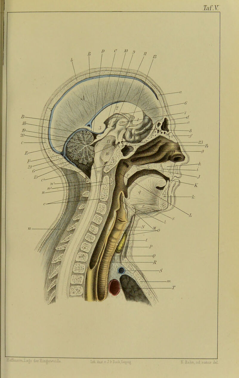 V >/* / L ———*•« r a i'L‘ jj —/' a£a d«r £ir\6 e weide LüK Aits* v J & BacR 1«!)?^ H Rahn.^d 7‘Atv.r clel