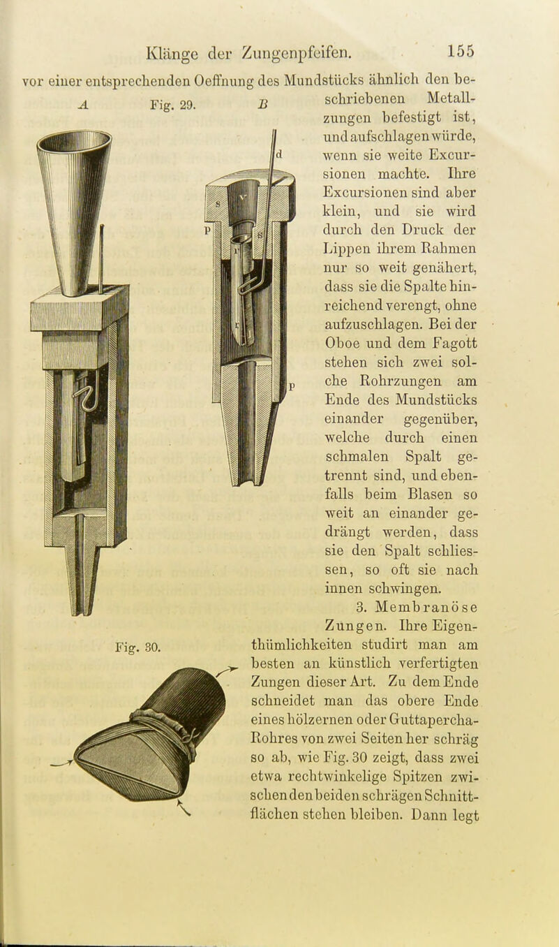 vor einer entsprechenden Oeffnung des Mundstücks ähnlich den be- schriebenen Metall- Fig. 29. Fig. 30. B Zungen befestigt ist, und aufschlagen würde, wenn sie weite Excur- sionen machte. Ihre Excursionen sind aber klein, und sie wird durch den Druck der Lippen ihrem Rahmen nur so weit genähert, dass sie die Spalte hin- reichend verengt, ohne aufzuschlagen. Bei der Oboe und dem Fagott stehen sich zwei sol- che Rohrzungen am Ende des Mundstücks einander gegenüber, welche durch einen schmalen Spalt ge- trennt sind, und eben- falls beim Blasen so weit an einander ge- drängt werden, dass sie den Spalt schlies- sen, so oft sie nach innen schwingen. 3. Membranöse Zungen. Ihre Eigen- thümlichkeiten studirt man am besten an künstlich verfertigten Zungen dieser Ai't. Zu dem Ende schneidet man das obere Ende eines hölzernen oder Guttapercha- Rohres von zwei Seiten her schräg so ab, wie Fig. 30 zeigt, dass zwei etwa rechtwinkelige Spitzen zwi- schen denbeiden schrägen Schnitt- flächen stehen bleiben. Dann legt