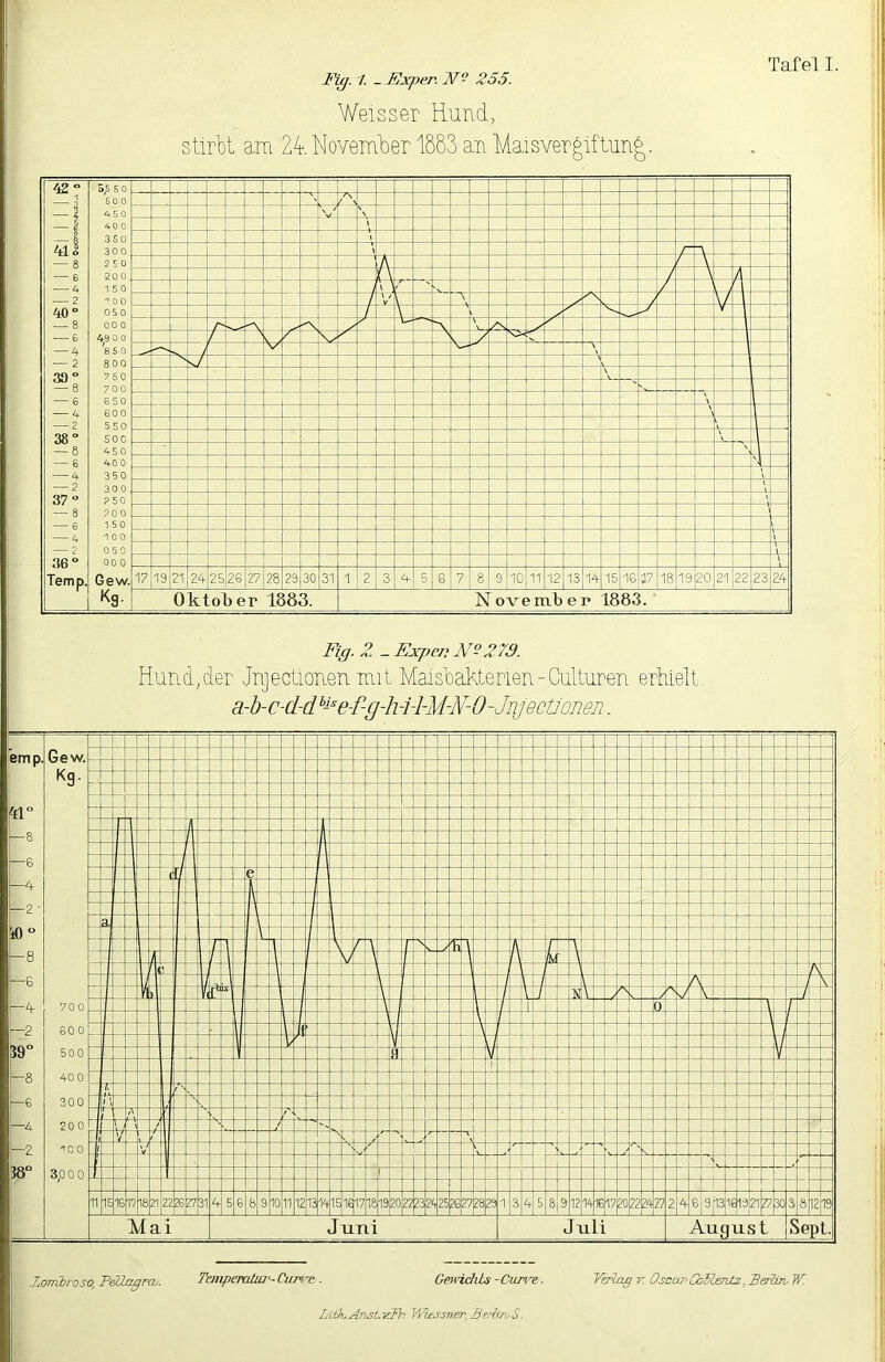 Fi^. 1. -JSxper. W- 255. Weisser Hund, stirbt am 24. Novemiaer 1883 an Maisvergiftun^, a-b-c-d-d^^^e-f-g-h44-M-F-0-Jnjecti'oiieii. JomJbroso, PäZcigmi. Temperatui-Cun-e. Gmi.chLs-Cim'e. V&ioßv: Osc(xr'CbRmtz,Be5i7hW. Lith.AnjSLvFh Wiessnsr,Be5iJvS.