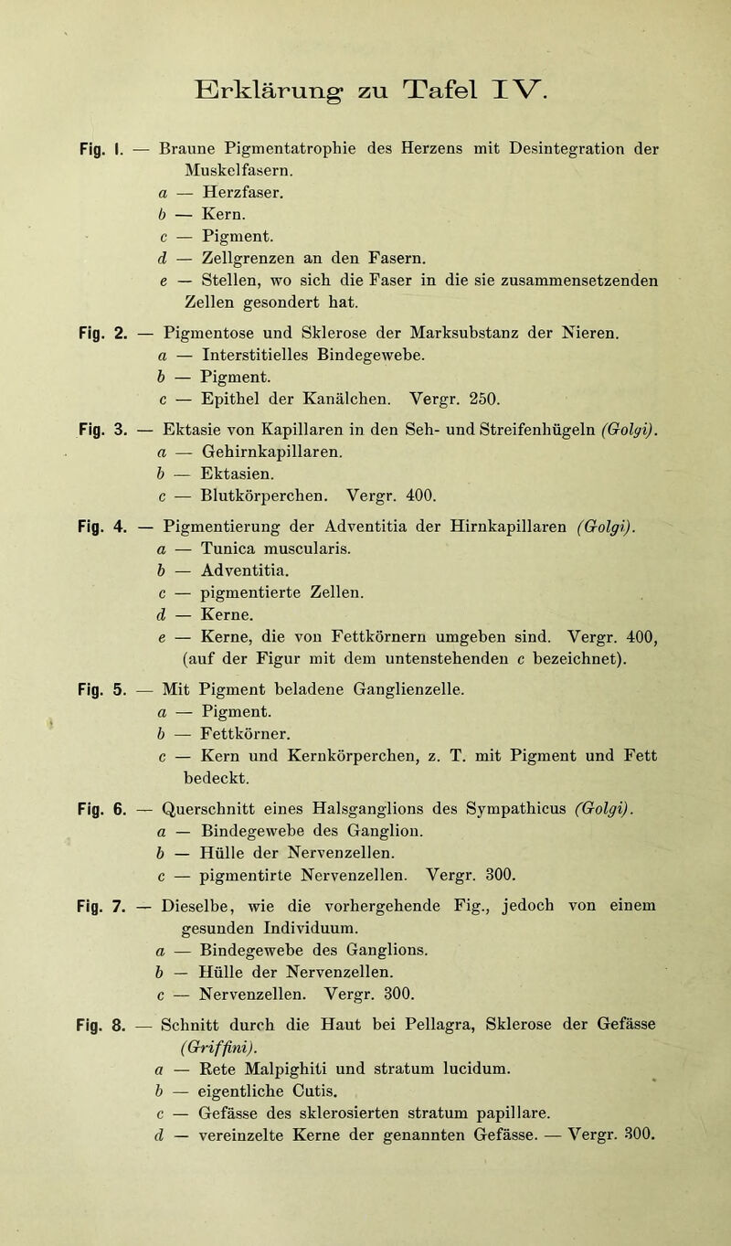 Fig. I. — Braune Pigmentatrophie des Herzens mit Desintegration der Muskelfasern. a — Herzfaser. b — Kern, c — Pigment. d — Zellgrenzen an den Fasern. e — Stellen, wo sich die Faser in die sie zusammensetzenden Zellen gesondert hat. Fig. 2. — Pigmentose und Sklerose der Marksubstanz der Nieren. a — Interstitielles Bindegewebe. b — Pigment. c — Epithel der Kanälchen. Vergr. 250. Fig. 3. — Ektasie von Kapillaren in den Seh- und Streifenhügeln (Golgi). a — Gehirnkapillaren. h — Ektasien. c — Blutkörperchen. Vergr. 400. Fig. 4. — Pigmentierung der Adventitia der Hirnkapillaren (Golgi). a — Tunica muscularis. h — Adventitia. c — pigmentierte Zellen. d — Kerne. e — Kerne, die von Fettkörnern umgeben sind. Vergr. 400, (auf der Figur mit dem untenstehenden c bezeichnet). Fig. 5. — Mit Pigment beladene Ganglienzelle. a — Pigment. b — Fettkörner. c — Kern und Kernkörperchen, z. T. mit Pigment und Fett bedeckt. Fig. 6. — Querschnitt eines Halsganglions des Sympathicus (Golgi). a — Bindegewebe des Ganglion. b — Hülle der Nervenzellen, c — pigmentirte Nervenzellen. Vergr. 300. Fig. 7. — Dieselbe, wie die vorhergehende Fig., jedoch von einem gesunden Individuum. a — Bindegewebe des Ganglions. b — Hülle der Nervenzellen. c — Nervenzellen. Vergr. 300. Fig. 8. — Schnitt durch die Haut bei Pellagra, Sklerose der Gefässe (Griffini). a — Rete Malpighiti und stratum lucidum. b — eigentliche Cutis. c — Gefässe des sklerosierten stratum papillare. d — vereinzelte Kerne der genannten Gefässe. — Vergr. 300.