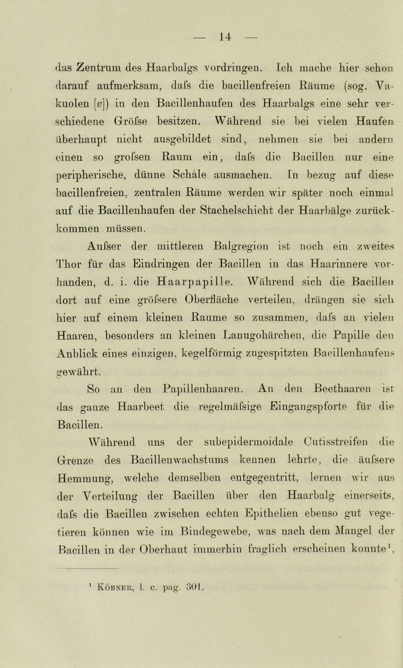 «las ZeiDtmm des Haarbalgs vordringeu. fcli mache hier schon darauf aufmerksam, dals die bacilleufreien Häume (sog. Va- kuolen [y]) in den Bacillenhaufen des Haarbalgs eine sehr ver- schiedene Gr«)fse besitzen. Während sie bei vielen Haufen überhaupt nicht ausgehildet sind, nehmen sie bei aiiderii einen so grofsen Raum ein, dafs die Bacillen nur eine peripherische, dünne Schale ausmachen. ln bezug auf diese bacillenfreien, zentralen Räume werden wir später noch einmal auf die Bacilleuhaufen der Stachelschicht der Haai’bälge zurück- kommen müssen. Aufser der mittleren Balgregion ist noch ein zweite.s ü'hor für das Eindringen der Bacillen in das Haar innere vor- handen, d. i. die Haarpapille. Während sich die Bacilleii dort auf eine gröfsere Oberfläche verteilen, drängen sie sich hier auf einem kleinen Raume so zusammen, dals an vielen Haaren, besonders an kleinen Lanugohärchen, die Papille den Anblick eines einzigen, kegelförmig zugespitzten Bacillenhaufens irewährt. . So an den Papillenhaaren. An den Beethaaren ist das ganze Haarbeet die regelmäfsige Eingangspforte für die Bacillen. Während uns der subepidermoidale Ciitisstreifen die Grenze des Bacillenwachstums kennen lehrte, die äufsere Hemmung, welche demselben entgegentritt, lernen wir au.s der Verteilung der Bacillen über den Haarbalg einerseits, dafs die Bacillen zwischen echten Ejuthelien ebenso gut vege- tieren können wie im Bindegewebe, was nach dem iMangel der Bacillen in der Oberhaut immerhin fraglich erscheinen konnteh ' Köbner, 1. c. p:\o-. ,‘)01.